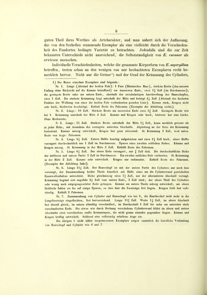 8 guten Tlieil ihres Werthes als Artcharakter, und man nähert sich der Auffassung, das von den Sechellen stammende Exemplar als eine vielleicht durch die Verschieden- heit des Fundortes bedingte Varietät zu betrachten. Jedenfalls sind die zur Zeit bekannten Unterschiede nicht ausreichend, die Selbstständigkeit von E. cucumer als erwiesen anzusehen. Individuelle Verscliiedenheiten, welche die gesammte Körperform von E. aspergillum betreffen, treten schon an den wenigen von mir beobachteten Exemplaren recht be- merklich hervor. Nicht nur die Grösse') und der Grad der Krümmung des Cylinders, 1) Die Maase einzelner Exemplare sind folgende: Nr. 1. Länge (Absland der beiden Pole): 1 Fuss (Rheinisches Maas), slärksle Breite (den äussern Umfang ohne Rücksicht auf die Kumme betreffend) am äussersten Ende, circa 1^ Zoll (im Durchmesser); die geringste Breite nahe am untern Ende, oberhalb der zwiebelarligen Anschwellung des Haarschopfes, circa 1 Zoll. Die stärkste Krümmung liegt unterhalb der Mitte und beträgt 4^ Zoll (Ahsland des höchsten Punktes der Wölbung von einer die beiden Pole verbindenden geraden Linie). Kämme stark, Kragen nicht sehr hoch, Iheilweise beschädigt. Enthält Reste des Palaemon. (Exemplar der Abbildung rechts). Nr. 2. Lange: 10 Zoll. Stärkste Breite am äussersten Ende circa Zoll. Geringste Breite wie bei 1. Krümmung unterhalb der Mitte 4 Zoll. Kämme und Kragen sehr hoch, letzterer hat eine Lücke. Ohne Krebsreste. N. 3. Länge: 11 Zoll. Stärkste Breite unterhalb der Mitte 1;! Zoll, kaum merklich grösser als in jeder Höhe, mit Ausnahme des verengten untersten Abschnitts. Abplattung an der Seite der Krümmung bedeutend. Kämme mässig entwickelt, Kragen fast ganz abwesend. St. Krümmung 3 Zoll, weit unten. Reste von Aega : Palaemon. Nr. 4. Länge 8] Zoll. Untere Hälfte bauchig aufgetrieben und circa 1^ Zoll breit, obere Hälfte verengert durchschnittlich nur 1 Zoll im Durchmesser. Spuren eines zweiten seillichen Siebes. Kämme und Kragen mässig. St. Krümmung in der Mitte 3 Zoll. Enthält Reste des Palaemon. Nr. 5. Lauge 8| Zoll. Das obere Ende verengert, nur | Zoll dick. Die durchschnittliche Dicke der mittleren und untern Partie 1 Zoll im Durchmesser. Ein zweites seitliches Sieb vorhanden. St. Krümmung in der Mitte 2 Zoll. Kämme sehr entwickelt. Kragen nur rudimentär. Enthält Reste des Palaemon. (Exemplar der Abbildung links). Nr. 6. Länge \\\ Zoll. Der Haarschopf ist mit der untern Partie des Cylinders nur noch lose vereinigt, der Zusammenhang beider Theile künstlich mit Hülfe eines um die Cylinderwand gewickelten Baumwollenfadens unterstützt. Dicke gleichmässig circa 1^ Zoll, nur der allerunterste Abschnitt verengt. Krümmung beginnt erst ungefähr 2j Zoll vom untern Ende, 3 Zoll stark; der obere Theil des Cylinders sehr wenig nach entgegengesetzter Seite gebogen. Kämme am untern Theile mässig entwickelt, am obern Drittheile fehlen sie bis auf einige Spuren, so dass hier die Fdserzüge frei liegen. Kragen fehlt fast voll- ständig. Enthält 2 Palaemon. Nr. 7. Zusammenhang von Cylinder und Haarschopf wie bei 6, die Haarfascikel nicht mehr in die Längsfaserzüge eingeflochten, frei hervorstehend. Lange 114 Zoll. Weite 1| Zoll, im obern Abschnitt fast überall gleich, im untern allmählig verschmälert, im Durchschnitt 1 Zoll bis nahe am untersten stark verschmälerten Ende. Die etwas wie durch Drehung verschobene Cylinderwand bildet im obern und untern Abschnitte zwei verschiedene sanfte Krümmungen, die nicht genau einander gegenüber liegen. Kämme und Kragen kräftig entwickelt. Schliesst eine vollständig erhaltene Aega ein. Die übrigen 5 nicht näher ausgemessenen Exemplare zeigen sämmtlich die künstliche Verbindung von Haarschopf und Cylinder wie 6 und 7.