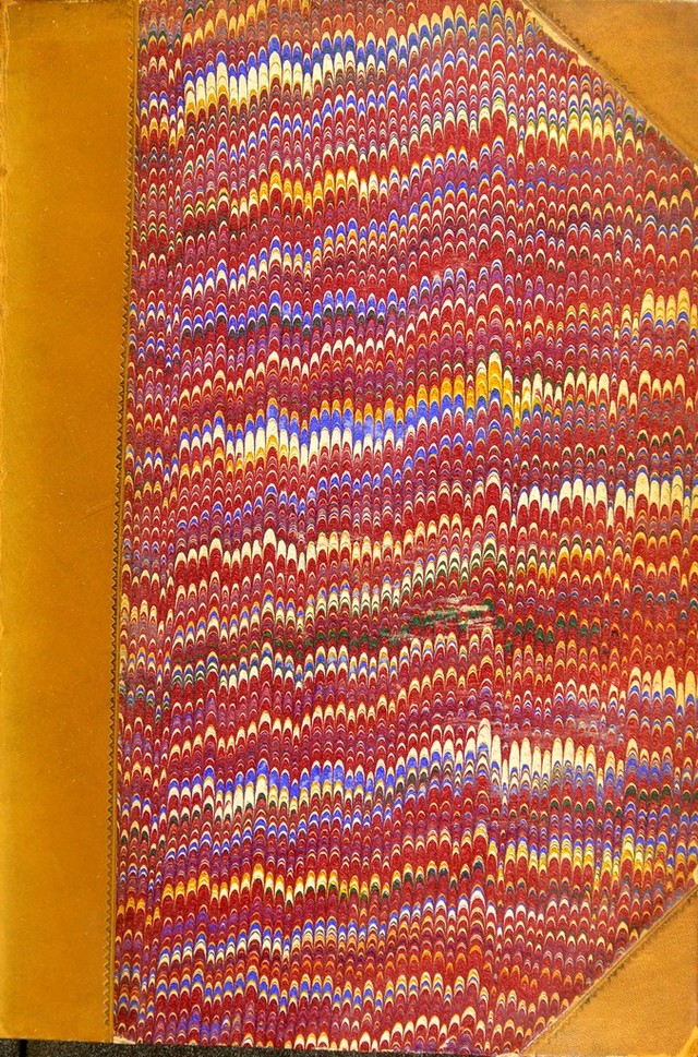 No text description is available for this image