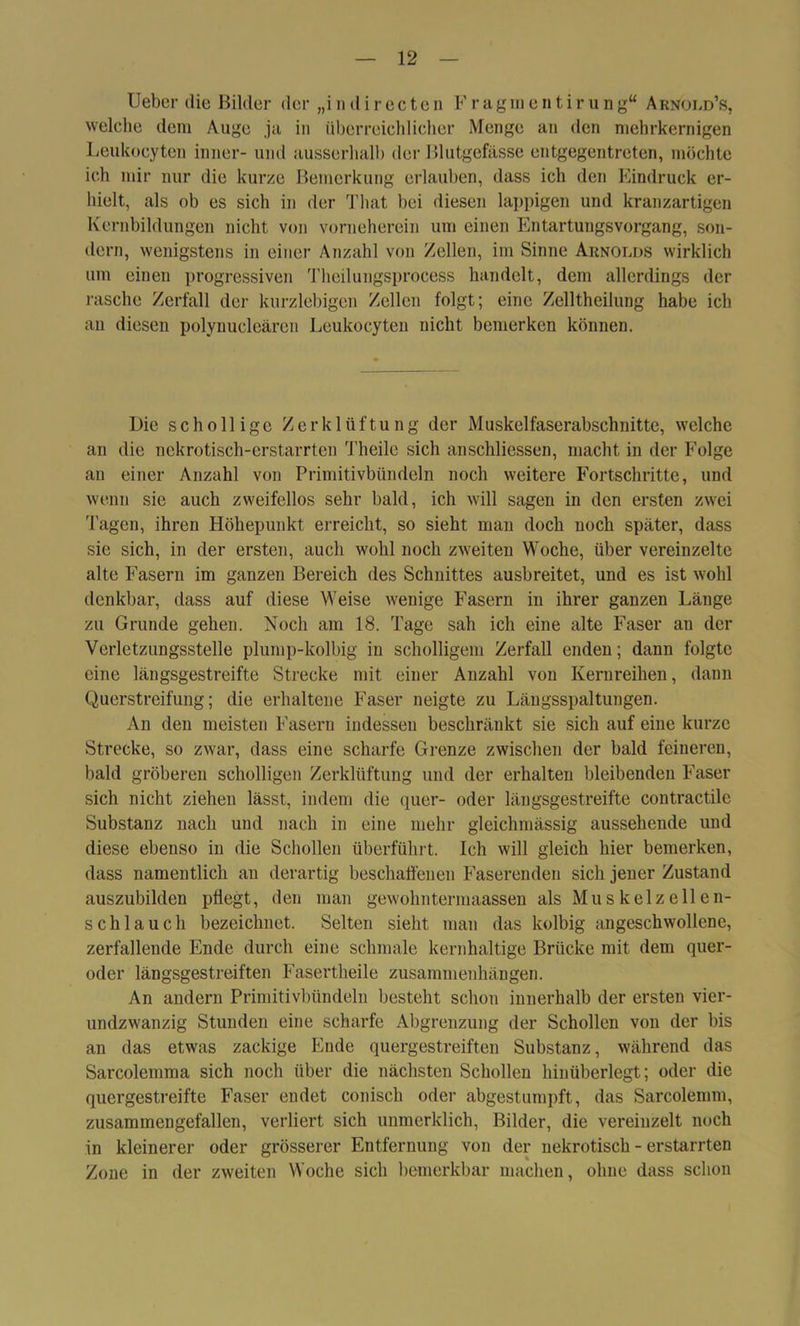 lieber die Bilder der „in dir ec ten Fragmentirung“ Arnold’s, welche dem Auge ja in überreichlicher Menge an den niehrkernigen Leukocyten inner- und ausserhalb der Blutgefässe entgegentreten, möchte ich mir nur die kurze Bemerkung erlauben, dass ich den Eindruck er- hielt, als ob es sich in der That bei diesen lappigen und kranzartigen Kernbildungen nicht von vorneherein um einen Entartungsvorgang, son- dern, wenigstens in einer Anzahl von Zellen, im Sinne Arnolds wirklich um einen progressiven Theilungsprocess handelt, dem allerdings der rasche Zerfall der kurzlebigen Zellen folgt; eine Zelltheilung habe ich an diesen polynucleären Leukocyten nicht bemerken können. Die schollige Zerklüftung der Muskelfaserabschnitte, welche an die nekrotisch-erstarrten Theile sich anschliessen, macht in der Folge an einer Anzahl von Primitivbündeln noch weitere Fortschritte, und wenn sie auch zweifellos sehr bald, ich will sagen in den ersten zwei Tagen, ihren Höhepunkt erreicht, so sieht man doch noch später, dass sie sich, in der ersten, auch wohl noch zweiten Woche, über vereinzelte alte Fasern im ganzen Bereich des Schnittes ausbreitet, und es ist wohl denkbar, dass auf diese Weise wenige Fasern in ihrer ganzen Länge zu Grunde gehen. Noch am 18. Tage sah ich eine alte Faser an der Verlctzungsstelle plump-kolbig in scholligem Zerfall enden; dann folgte eine längsgestreifte Strecke mit einer Anzahl von Kernreihen, daun Querstreifung; die erhaltene Faser neigte zu Längsspaltungen. An den meisten Fasern indessen beschränkt sie sich auf eine kurze Strecke, so zwar, dass eine scharfe Grenze zwischen der bald feineren, bald gröberen scholligen Zerklüftung und der erhalten bleibenden Faser sich nicht ziehen lässt, indem die quer- oder längsgestreifte contractile Substanz nach und nach in eine mehr gleichmässig aussehende und diese ebenso in die Schollen überführt. Ich will gleich hier bemerken, dass namentlich an derartig beschaffenen Faserenden sich jener Zustand auszubilden pflegt, den man gewohntermaassen als Mu s kelz eil eli- sch laucli bezeichnet. Selten sieht man das kolbig angeschwollene, zerfallende Ende durch eine schmale kernhaltige Brücke mit dem quer- oder längsgestreiften Fasertheile Zusammenhängen. An andern Primitivbündeln besteht schon innerhalb der ersten vier- undzwanzig Stunden eine scharfe Abgrenzung der Schollen von der bis an das etwas zackige Ende quergestreiften Substanz, während das Sarcolemma sich noch über die nächsten Schollen hinüberlegt; oder die quergestreifte Faser endet conisch oder abgestumpft, das Sarcolemm, zusammengefallen, verliert sich unmerklich, Bilder, die vereinzelt noch in kleinerer oder grösserer Entfernung von der nekrotisch - erstarrten Zone in der zweiten Woche sich bemerkbar machen, ohne dass schon