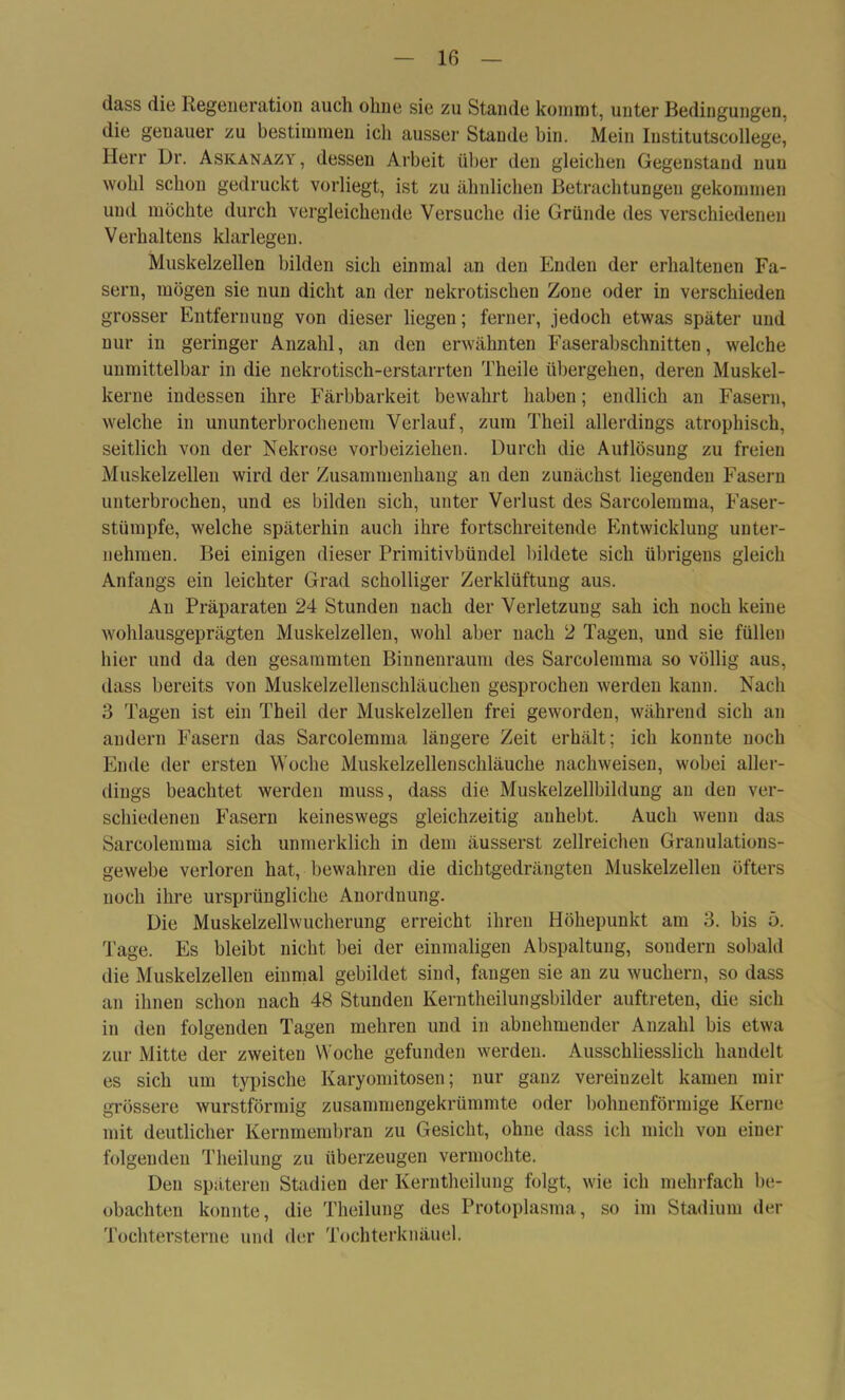 dass die Regeneration auch ohne sie zu Stande kommt, unter Bedingungen, die genauer zu bestimmen ich ausser Stande bin. Mein Institutscollege, Herr Dr. Askanazy , dessen Arbeit über deu gleichen Gegenstand nun wohl schon gedruckt vorliegt, ist zu ähnlichen Betrachtungen gekommen und möchte durch vergleichende Versuche die Gründe des verschiedenen Verhaltens klarlegen. Muskelzellen bilden sich einmal an den Enden der erhaltenen Fa- sern, mögen sie nun dicht an der nekrotischen Zone oder in verschieden grosser Entfernung von dieser liegen; ferner, jedoch etwas später und nur in geringer Anzahl, an den erwähnten Faserabschnitten, welche unmittelbar in die nekrotisch-erstarrten Theile übergehen, deren Muskel- kerne indessen ihre Färbbarkeit bewahrt haben; endlich an Fasern, welche in ununterbrochenem Verlauf, zum Theil allerdings atrophisch, seitlich von der Nekrose vorbeiziehen. Durch die Auflösung zu freien Muskelzellen wird der Zusammenhang an den zunächst liegenden Fasern unterbrochen, und es bilden sich, unter Verlust des Sarcolemma, Faser- stümpfe, welche späterhin auch ihre fortschreitende Entwicklung unter- nehmen. Bei einigen dieser Primitivbündel bildete sich übrigens gleich Anfangs ein leichter Grad scholliger Zerklüftung aus. Au Präparaten 24 Stunden nach der Verletzung sah ich noch keine wohlausgeprägten Muskelzellen, wohl aber nach 2 Tagen, und sie füllen hier und da den gesammten Binnenraum des Sarcolemma so völlig aus, dass bereits von Muskelzellenschläuchen gesprochen werden kann. Nach 3 Tagen ist ein Theil der Muskelzellen frei geworden, während sich an andern Fasern das Sarcolemma längere Zeit erhält; ich konnte noch Ende der ersten Woche Muskelzellenschläuche nachweisen, wobei aller- dings beachtet werden muss, dass die Muskelzellbildung an deu ver- schiedenen Fasern keineswegs gleichzeitig anhebt. Auch wenn das Sarcolemma sich unmerklich in dem äusserst zellreichen Granulations- gewebe verloren hat, bewahren die dichtgedrängten Muskelzellen öfters noch ihre ursprüngliche Anordnung. Die Muskelzellwucherung erreicht ihren Höhepunkt am 3. bis 5. Tage. Es bleibt nicht bei der einmaligen Abspaltung, sondern sobald die Muskelzellen einmal gebildet sind, fangen sie an zu wuchern, so dass an ihnen schon nach 48 Stunden Kerntheilungsbilder auftreten, die sich in den folgenden Tagen mehren und in abnehmender Anzahl bis etwa zur Mitte der zweiten Woche gefunden werden. Ausschliesslich handelt es sich um typische Karyomitosen; nur ganz vereinzelt kamen mir grössere wurstförmig zusammengekrümmte oder bohnenförmige Kerne mit deutlicher Kernmembran zu Gesicht, ohne dass ich mich von einer folgenden Theilung zu überzeugen vermochte. Den späteren Stadien der Kerntheilung folgt, wie ich mehrfach be- obachten konnte, die Theilung des Protoplasma, so im Stadium der Tochtersterne und der Tochterknäuel.