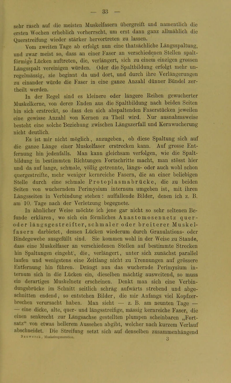 sehr rasch auf die meisten Muskelfasern übergreift und namentlich die ersten Wochen erheblich vorherrscht, um erst dann ganz allmählich die Querstreifung wieder stärker hervortreten zu lassen. Vom zweiten Tage ab erfolgt nun eine thatsächliche Längsspaltung, und zwar meist so, dass an einer Faser an verschiedenen Stellen spalt- förmige Lücken auftreten, die, verlängert, sich zu einem einzigen grossen Längsspalt vereinigen würden. Oder die Spaltbildung erfolgt mehr un- regelmässig, sie beginnt da und dort, und durch ihre Verlängerungen zu einander würde die Faser in eine ganze Anzahl dünner Bündel zer- theilt werden. In der Regel sind es kleinere oder längere Reihen gewucherter Muskelkerne, von dereü Enden aus die Spaltbildung nach beiden Seiten hin sich erstreckt, so dass den sich abspaltenden Faserstücken jeweilen eine gewisse Anzahl von Kernen zu Theil wird. Nur ausnahmsweise besteht eine solche ‘Beziehung zwischen Längszerfall und Kernwucherung nicht deutlich. Es ist mir nicht möglich, anzugeben, ob diese Spaltung sich auf die ganze Länge einer Muskelfaser erstrecken kann. Auf grosse Ent- fernung hin jedenfalls. Man kann gleichsam verfolgen, wie die Spalt- bildung in bestimmten Richtungen Fortschritte macht, man stösst hier und da auf lange, schmale, völlig getrennte, längs- oder auch wohl schon cpiergestreifte, mehr weniger kernreiche Fasern, die an einer beliebigen Stelle durch eine schmale Protoplasmabrücke, die zu beiden Seiten von wucherndem Perimysium internum umgeben ist, mit ihren Längsseiten in Verbindung stehen : auffallende Bilder, denen ich z. B. am 10. Tage nach der Verletzung begegnete. In ähnlicher Weise möchte ich jene gar nicht so sehr seltenen Be- funde erklären, wo sich ein förmliches Anastomosennetz quer- oder längsgestreifter, schmaler oder breiterer Muskel- fasern darbietet, dessen Lücken wiederum durch Granulations- oder Bindegewebe ausgefüllt sind. Sie kommen wohl in der Weise zu Stande, dass eine Muskelfaser an verschiedenen Stellen auf bestimmte Strecken hin Spaltungen eingeht, die, verlängert, unter sich zunächst parallel laufen und wenigstens eine Zeitlang nicht zu Trennungen auf grössere Entfernung hin führen. Drängt nun das wuchernde Perimysium in- ternum sich in die Lücken ein, dieselben mächtig ausweitend, so muss ein derartiges Muskelnetz erscheinen. Denkt man sich eine Verbin- dungsbrücke im Schnitt seitlich schräg aufwärts strebend und abge- schnitten endend, so entstehen Bilder, die mir Anfangs viel Kopfzer- brechen verursacht haben. Man sieht — z. B. am neunten Tage — — eine dicke, alte, quer- und längsstreifige, mässig kernreiche Faser, die einen senkrecht zur Längsachse gestellten plumpen scheinbaren „Fort- satz“ von etwas hellerem Aussehen abgibt, welcher nach kurzem Verlauf abschneidet. Die Streifung setzt sich auf denselben zusammenhängend Nau»e rck , Muskelregeneratioo. o