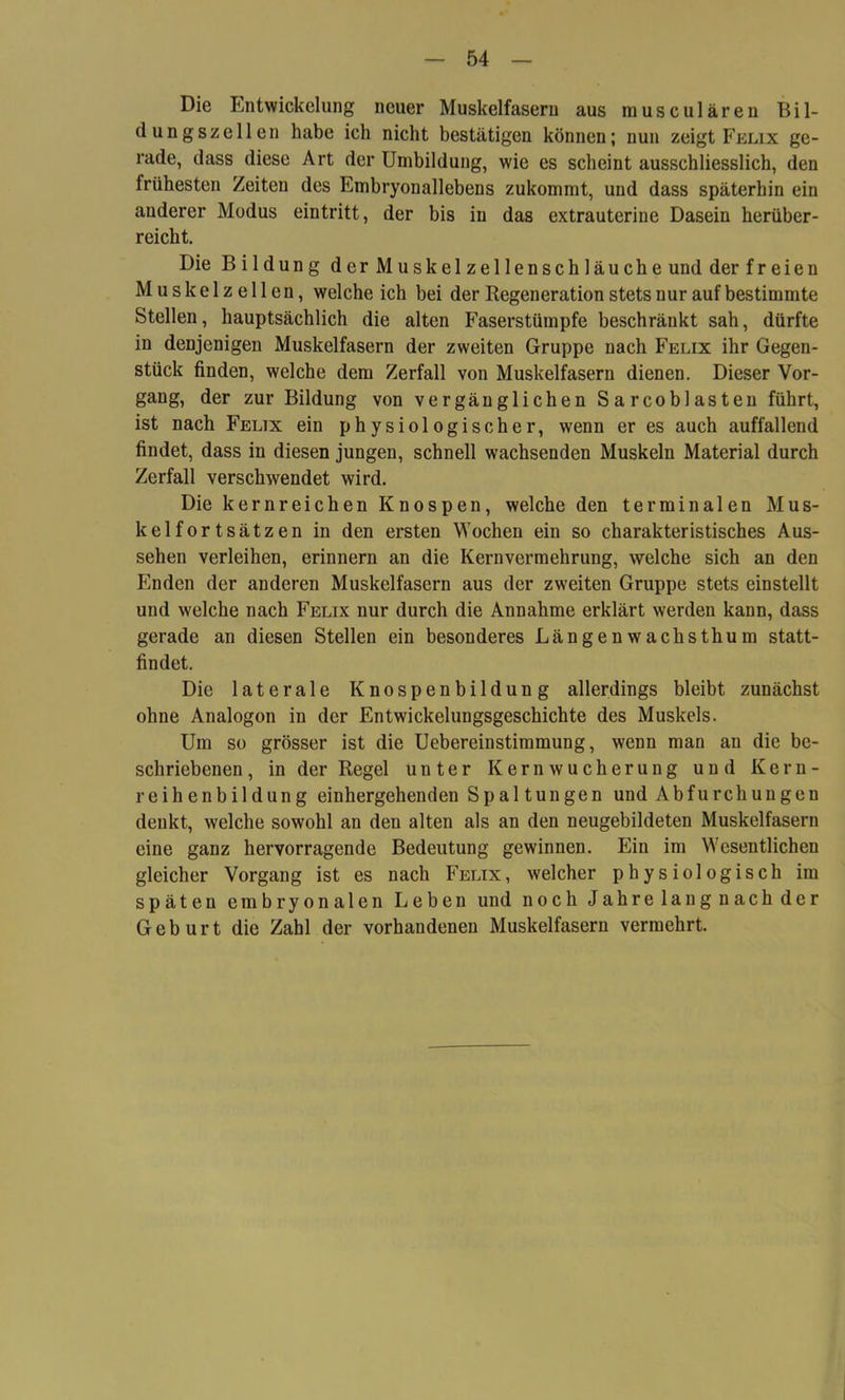 Die Entwickelung neuer Muskelfasern aus musculären Bil- dungszellen habe ich nicht bestätigen können; nun zeigt Felix ge- rade, dass diese Art der Umbildung, wie es scheint ausschliesslich, den frühesten Zeiteu des Embryonallebens zukommt, und dass späterhin ein anderer Modus eintritt, der bis in das extrauterine Dasein herüber- reicht. Die Bildung der Muskelzellenschläuche und der freien Muskelzellen, welche ich bei der Regeneration stets nur auf bestimmte Stellen, hauptsächlich die alten Faserstümpfe beschränkt sah, dürfte in denjenigen Muskelfasern der zweiten Gruppe nach Felix ihr Gegen- stück finden, welche dem Zerfall von Muskelfasern dienen. Dieser Vor- gang, der zur Bildung von vergänglichen Sarcoblasten führt, ist nach Felix ein physiologischer, wenn er es auch auffallend findet, dass in diesen jungen, schnell wachsenden Muskeln Material durch Zerfall verschwendet wird. Die kernreichen Knospen, welche den terminalen Mus- kelfortsätzen in den ersten Wochen ein so charakteristisches Aus- sehen verleihen, erinnern an die Kernvermehrung, welche sich an den Enden der anderen Muskelfasern aus der zweiten Gruppe stets einstellt und welche nach Felix nur durch die Annahme erklärt werden kann, dass gerade an diesen Stellen ein besonderes Längenwachsthum statt- findet. Die laterale Knospenbildung allerdings bleibt zunächst ohne Analogon in der Entwickelungsgeschichte des Muskels. Um so grösser ist die Uebereinstimmung, wenn man an die be- schriebenen, in der Regel unter Kern Wucherung und Kern- reihenbildung einhergehenden S pal tun gen und Ab furch un gen denkt, welche sowohl an den alten als an den neugebildeten Muskelfasern eine ganz hervorragende Bedeutung gewinnen. Ein im Wesentlichen gleicher Vorgang ist es nach Felix, welcher physiologisch im späten embryonalen Leben und noch Jahre lang nach der Geburt die Zahl der vorhandenen Muskelfasern vermehrt.