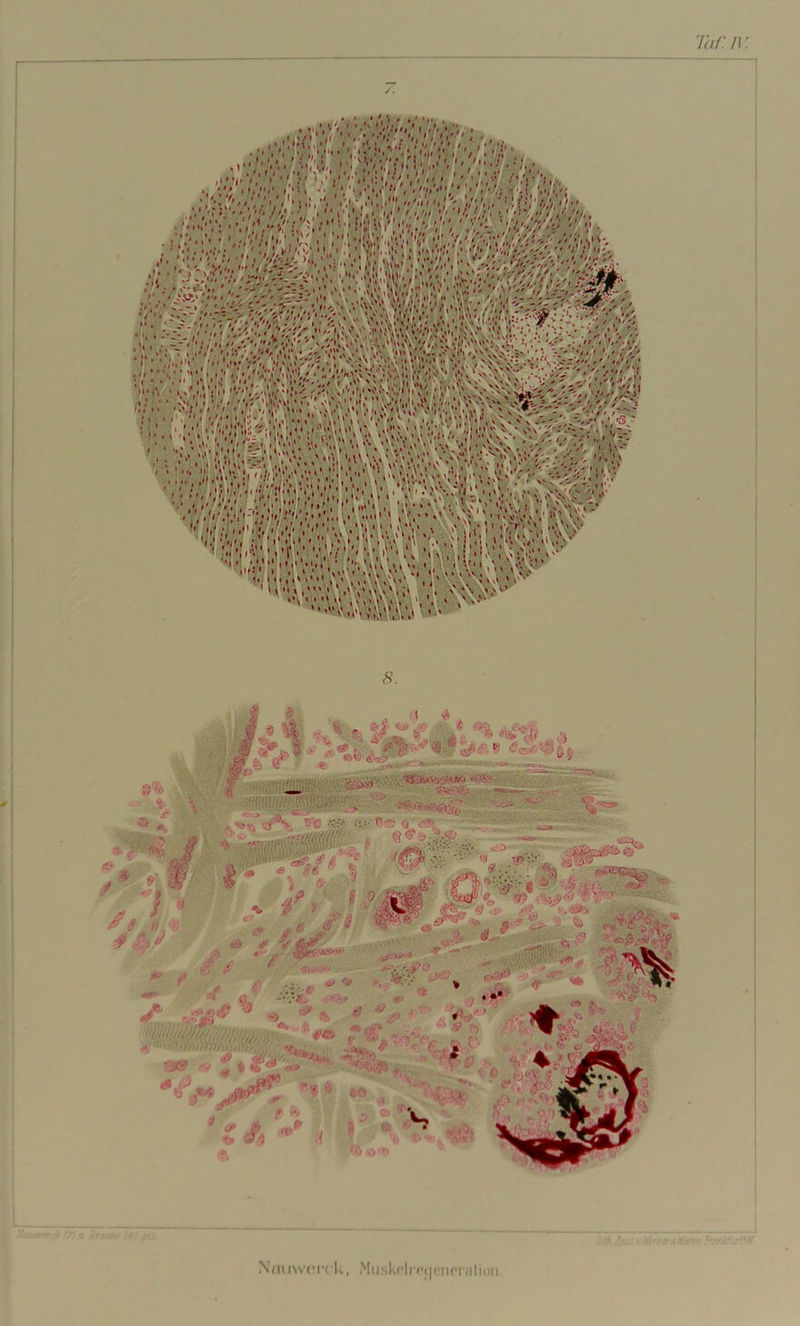 v j •»*' je« < ; jjk ' *V* ( .) • , l 'V- :• GF(- J * * ■ -T= _ ■ & (f> ... ' ' ' : %i!?X Sjsäf :lj  * ■«/ -■» ■>' V £**■-' d) f1> C ^ * • * *. Ä - - '• 77Y • ';///. ^ y '•*. V*-***i- 6X2 *%**'•- rjw jpdfi* r®4 t«» k ^ V f0 <•> N/u iwcrck, Mijsk(‘lrf■<jciir*ivili«iii