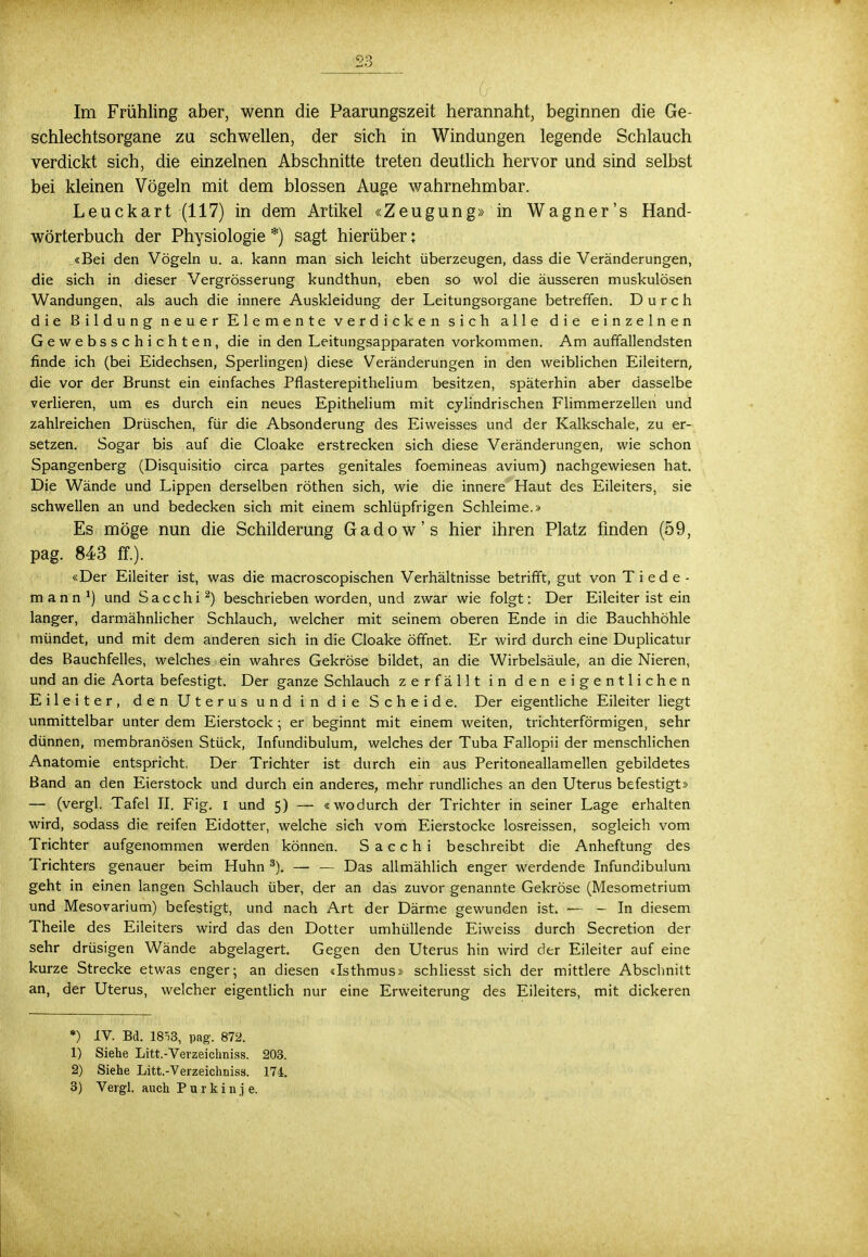 schlechtsorgane zu schwellen, der sich in Windungen legende Schlauch verdickt sich, die einzelnen Abschnitte treten deutlich hervor und sind selbst bei kleinen Vögeln mit dem blossen Auge wahrnehmbar. Leuckart (117) in dem Artikel «Zeugung» in Wagner's Hand- wörterbuch der Physiologie *) sagt hierüber: «Bei den Vögeln u. a. kann man sich leicht überzeugen, dass die Veränderungen, die sich in dieser Vergrösserung kundthun, eben so wol die äusseren muskulösen Wandungen, als auch die innere Auskleidung der Leitungsorgane betreffen. Durch die Bildung neuer Elemente verdicken sich alle die einzelnen Gewebsschichten, die in den Leitungsapparaten vorkommen. Am auffallendsten finde ich (bei Eidechsen, Sperlingen) diese Veränderungen in den weiblichen Eileitern, die vor der Brunst ein einfaches Pflasterepithelium besitzen, späterhin aber dasselbe verlieren, um es durch ein neues Epithelium mit cylindrischen Flimmerzellen und zahlreichen Drüschen, für die Absonderung des Eiweisses und der Kalkschale, zu er- setzen. Sogar bis auf die Cloake erstrecken sich diese Veränderungen, wie schon Spangenberg (Disquisitio circa partes genitales foemineas avium) nachgewiesen hat. Die Wände und Lippen derselben röthen sich, wie die innere Haut des Eileiters, sie schwellen an und bedecken sich mit einem schlüpfrigen Schleime.» Es möge nun die Schilderung Gadow's hier ihren Platz rinden (59, pag. 843 ff.). «Der Eileiter ist, was die macroscopischen Verhältnisse betrifft, gut von Tiede- mann1) und Sacchi2) beschrieben worden, und zwar wie folgt: Der Eileiter ist ein langer, darmähnlicher Schlauch, welcher mit seinem oberen Ende in die Bauchhöhle mündet, und mit dem anderen sich in die Cloake öffnet. Er wird durch eine Duplicatur des Bauchfelles, welches ein wahres Gekröse bildet, an die Wirbelsäule, an die Nieren, und an die Aorta befestigt. Der ganze Schlauch zerfällt in den eigentlichen Eileiter, den Uterus und in die Scheide. Der eigentliche Eileiter liegt unmittelbar unter dem Eierstock ; er beginnt mit einem weiten, trichterförmigen, sehr dünnen, membranösen Stück, Infundibulum, welches der Tuba Fallopii der menschlichen Anatomie entspricht. Der Trichter ist durch ein aus Peritoneallamellen gebildetes Band an den Eierstock und durch ein anderes, mehr rundliches an den Uterus befestigt» — (vergl. Tafel II. Fig. i und 5) — «wodurch der Trichter in seiner Lage erhalten wird, sodass die reifen Eidotter, welche sich vom Eierstocke losreissen, sogleich vom Trichter aufgenommen werden können. Sacchi beschreibt die Anheftung des Trichters genauer beim Huhn 3). — — Das allmählich enger werdende Infundibulum geht in einen langen Schlauch über, der an das zuvor genannte Gekröse (Mesometrium und Mesovarium) befestigt, und nach Art der Därme gewunden ist. — - In diesem Theile des Eileiters wird das den Dotter umhüllende Eiweiss durch Secretion der sehr drüsigen Wände abgelagert. Gegen den Uterus hin wird der Eileiter auf eine kurze Strecke etwas enger; an diesen «Isthmus» schliesst sich der mittlere Abschnitt an, der Uterus, welcher eigentlich nur eine Erweiterung des Eileiters, mit dickeren *) IV. Bd. 18n3, pag. 872. 1) Siehe Litt.-Vevzeichniss. 203. 2) Siehe Litt.-Verzeichniss. 174. 3) Vergl. auch Purkinje.