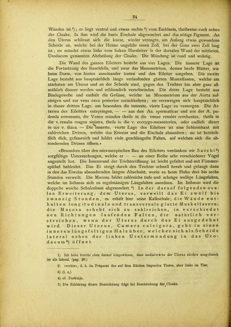 Wänden ist!) ; er liegt ventral und etwas rechts 2) vom Enddarm, theilweise auch neben der Cloake. In ihm wird die harte Eischale abgesondert und das nötige Pigment. An den Uterus schliesst sich die kurze, wieder verengte, am Anfang etwas gewundene Scheide an, welche bei der Henne ungefähr einen Zoll, bei der Gans zwei Zoll lang ist; sie mündet etwas links vom linken Harnleiter in der dorsalen Wand der mittleren, Urodaeum genannten Abtheilung der Cloake. Die Mündung ist rund und wulstig. Die Wand des ganzen Eileiters besteht aus vier Lagen. Die äussere Lage ist die Fortsetzung des Bauchfells, und zwar das Mesometrium, dessen beide Blätter, wie beim Darm, von hinten auseinander treten und den Eileiter umgeben. Die zweite Lage besteht aus hauptsächlich längs verlaufenden glatten Muscelfasern, welche am stärksten am Uterus und an der Scheide sind, gegen den Trichter hin aber ganz all- mählich dünner werden und schliesslich verschwinden. Die dritte Lage besteht aus Bindegewebe und enthält die Gefässe, welche im Mesometrium aus der Aorta auf- steigen und zur vena cava posterior zurückkehren; sie verzweigen sich hauptsächlich in dieser dritten Lage, um besonders die innerste, vierte Lage zu versorgen. Die Ar- terien des Eileiters entspringen, — — aus den Aa. spermaticae und aus der A. pu- denda communis, die Venen münden theils in die venae renales revehentes, theils in die v. renalis magna sinistra, theils in die v. coccygo-mesenterica, oder endlich direct in die v. iliaca. — Die innerste, vierte Lage des Eileiters ist eine Schleimhaut mit zahlreichen Drüsen, welche das Eiweiss und die Eischale absondern; sie ist beträch- tlich dick, gefässreich und bildet viele geschlängelte Falten, auf welchen sich die ab- sondernden Drüsen öffnen. > «Besonders über den microscopischen Bau des Eileiters verdanken wir Sacchi3) sorgfältige Untersuchungen, welche er — — an einer Reihe sehr verschiedener Vögel angestellt hat. Die Innenwand der Trichteröffnung ist leicht gefaltet und mit Flimmer- epithel bekleidet. Das Ei steigt durch den Trichter schnell herab und gelangt dann in den das Eiweiss absondernden langen Abschnitt, worin es beim Huhn drei bis sechs Stunden verweilt. Die Mucosa bildet zahlreiche tiefe und schräge wellige Längsfalten, welche im Isthmus sich zu regelmässigen Längsfalten anordnen. Im Isthmus wird die doppelte weiche Schalenhaut abgesondert.4) Inder darauf folgenden ova- len Erweiterung, dem Uterus, verweilt das Ei zwölf bis zwanzig Stunden, es erhält hier seine Kalkschale; d i e W ä n d e ent- halten 1 o n g i t u d i n a 1 e u n d transversale glatte Muskelfasern, die Mucosa erhebt sich zu zahlreichen, in verschiedet nen Richtungen laufenden Falten, die natürlich ver- streichen, wenn der Uterus durch das Ei ausgedehnt wird. Dieser Uterus, Camera calcigera, geht in einen inneren längs faltigen Hals über, welcher sich als Scheide lateral neben der linken Uretermündung in das Uro- daeum5) öffnet. 1) Ich habe bereits oben darauf hingewiesen, dass niedialwävts der Uterus stärker ausgebauch ist als lateral, (pag. 20.) 2) «rechts», d. h. im Präparat des auf dem Rücken liegenden Tieres, aber links im Tier. 3) (1. c) 4) cf. Purkinje. 5) Die Erklärung dieser Bezeichnung folgt bei Beschreibung der^ Cloake.