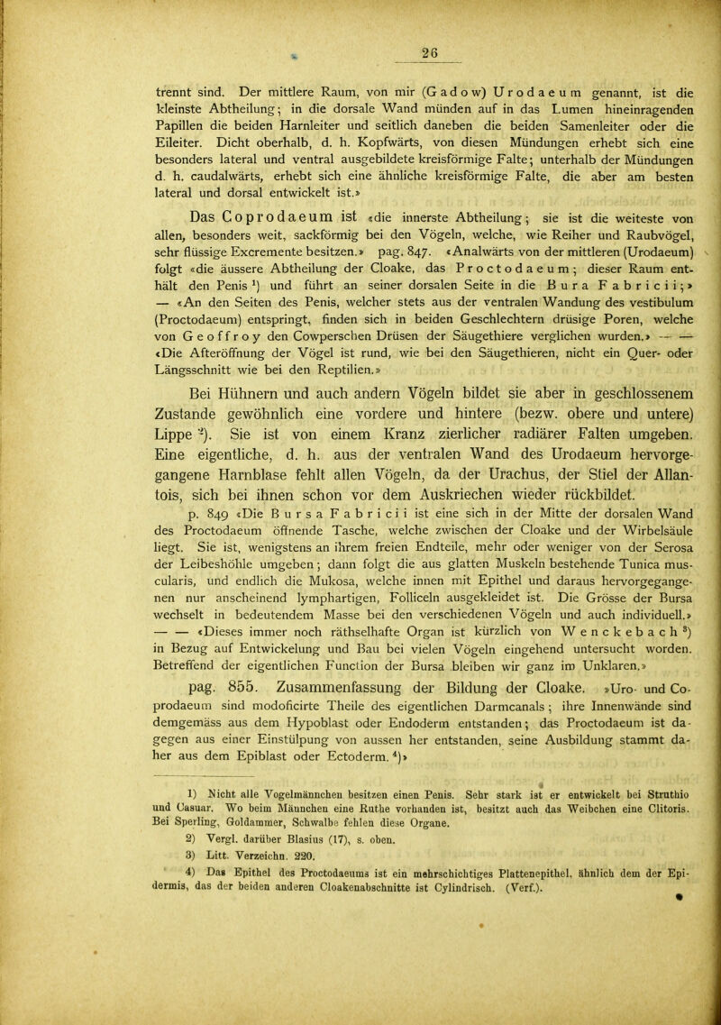 trennt sind. Der mittlere Raum, von mir (Gadow) Urodaeum genannt, ist die kleinste Abtheilung; in die dorsale Wand münden auf in das Lumen hineinragenden Papillen die beiden Harnleiter und seitlich daneben die beiden Samenleiter oder die Eileiter. Dicht oberhalb, d. h. Kopfwärts, von diesen Mündungen erhebt sich eine besonders lateral und ventral ausgebildete kreisförmige Falte; unterhalb der Mündungen d. h. caudalwärts, erhebt sich eine ähnliche kreisförmige Falte, die aber am besten lateral und dorsal entwickelt ist.» Das Coprodaeum ist «die innerste Abtheilung; sie ist die weiteste von allen, besonders weit, sackförmig bei den Vögeln, welche, wie Reiher und Raubvögel, sehr flüssige Excremente besitzen.» pag. 847. «Analwärts von der mittleren (Urodaeum) folgt «die äussere Abtheilung der Cloake, das Proctodaeum; dieser Raum ent- hält den Penis *) und führt an seiner dorsalen Seite in die ßura Fabricii;> — «An den Seiten des Penis, welcher stets aus der ventralen Wandung des vestibulum (Proctodaeum) entspringt, finden sich in beiden Geschlechtern drüsige Poren, welche von Geoffroy den Cowperschen Drüsen der Säugethiere verglichen wurden.> — — «Die Afteröffnung der Vögel ist rund, wie bei den Säugethieren, nicht ein Quer- oder Längsschnitt wie bei den Reptilien.» Bei Hühnern und auch andern Vögeln bildet sie aber in geschlossenem Zustande gewöhnlich eine vordere und hintere (bezw. obere und untere) Lippe Sie ist von einem Kranz zierlicher radiärer Falten umgeben. Eine eigentliche, d. h. aus der ventralen Wand des Urodaeum hervorge- gangene Harnblase fehlt allen Vögeln, da der Urachus, der Stiel der Allan- tois, sich bei ihnen schon vor dem Auskriechen wieder rückbildet. p. 849 «Die Bursa F a b r i c i i ist eine sich in der Mitte der dorsalen Wand des Proctodaeum öffnende Tasche, welche zwischen der Cloake und der Wirbelsäule liegt. Sie ist, wenigstens an ihrem freien Endteile, mehr oder weniger von der Serosa der Leibeshöhle umgeben; dann folgt die aus glatten Muskeln bestehende Tunica mus- cularis, und endlich die Mukosa, welche innen mit Epithel und daraus hervorgegange- nen nur anscheinend lymphartigen, Folliceln ausgekleidet ist. Die Grösse der Bursa wechselt in bedeutendem Masse bei den verschiedenen Vögeln und auch individuell.» — — «Dieses immer noch räthselhafte Organ ist kürzlich von Wenckebach8) in Bezug auf Entwickelung und Bau bei vielen Vögeln eingehend untersucht worden. Betreffend der eigentlichen Function der Bursa bleiben wir ganz im Unklaren.» pag. 855. Zusammenfassung der Bildung der Cloake. »Uro- und Co- prodaeum sind modoficirte Theile des eigentlichen Darmcanals ; ihre Innenwände sind demgemäss aus dem Hypoblast oder Endoderm entstanden; das Proctodaeum ist da- gegen aus einer Einstülpung von aussen her entstanden, seine Ausbildung stammt da- her aus dem Epiblast oder Ectoderm. 4)> 1) Nicht alle Vogelmännchen besitzen einen Penis. Sehr stark ist er entwickelt bei Struthio und (Jasuar. Wo beim Männchen eine Ruthe vorhanden ist, besitzt auch das Weibchen eine Clitoris. Bei Sperling, Goldammer, Schwalbe fehlen diese Organe. 2) Vergl. darüber Blasius (17), s. oben. 3) Litt. Verzeichn. 220. 4) Das Epithel des Proctodaeums ist ein mehrschichtiges Plattenepithel, ähnlich dem der Epi- dermis, das der beiden anderen Cloakenabschnitte ist Cylindrisch. (Verf.).