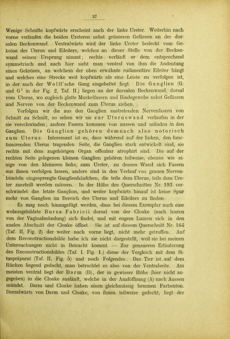 Wenige Schnitte kopfwärts erscheint auch der linke Ureter. Weiterhin nach vorne verlaufen die beiden Ureteren nebst grösseren Gefässen an der dor- salen Beckenwand. Ventralwärts wird der linke Ureter bedeckt vom Ge- kröse des Uterus und Eileiters, welches an dieser Stelle von der Becken- wand seinen Ursprung nimmt; rechts verläuft er dem entsprechend symmetrisch und auch hier sieht man ventral von ihm die Andeutung eines Gekröses, an welchem der oben erwähnte rudimentäre Eileiter hängt und welches eine Strecke weit kopfwärts als eine Leiste zu verfolgen ist, in der auch der Wo 1 ff'sehe Gang eingebettet liegt. Die Ganglien (G. und G1 in der Fig. 2, Taf. II.) liegen an der dorsalen Beckenwand, dorsal vom Uterus, wo zugleich glatte Muskelfasern und Bindegewebe nebst Gefässen und Nerven von der Beckenwand zum Uterus ziehen. Verfolgen wir die aus den Ganglien austretenden Nervenfasern von Schnitt zu Schnitt, so sehen wir sie zur Uteruswand verlaufen in der sie verschwinden; andere Fasern kommen von aussen und münden in den Ganglien. Die Ganglien gehören demnach also notorisch zum Uterus. Interessant ist es, dass während auf der linken, den func- tionirenden Uterus tragenden Seite, die Ganglien stark entwickelt sind, sie rechts mit dem zugehörigen Organ offenbar atrophirt sind. Die auf der rechten Seite gelegenen kleinen Ganglien gehören teilweise, ebenso wie ei- nige von den kleineren links, zum Ureter, zu dessen Wand sich Fasern aus ihnen verfolgen lassen, andere sind in den Verlauf von grauen Nerven- bündeln eingesprengte Ganglienhäufchen, die teils dem Uterus, teils dem Ure- ter zuerteilt werden müssen. In der Höhe des Querschnittes Nr. 193 ver- schwindet das letzte Ganglion, und weiter kopfwärts hinauf ist keine Spur mehr von Ganglien im Bereich des Uterus und Eileiters zu finden. Es mag noch hinzugefügt werden, dass bei diesem Exemplar auch eine wolausgebildete Bursa Fabricii dorsal von der Cloake (nach hinten von der Vaginalmündung) sich findet, und mit engem Lumen sich in den analen Abschnitt der Cloake öffnet. Sie ist auf diesem Querschnitt Nr. 164 (Taf. II, Fig. 2) der weiter nach vorne liegt, nicht mehr getroffen. Auf dem Reconstructionsbilde habe ich sie nicht dargestellt, weil sie bei meinen Untersuchungen nicht in Betracht kommt. — Zur genaueren Erläuterung des Reconstructionsbildes (Taf. I. Fig. 1.) diene der Vergleich mit dem Si- tuspräparat (Taf. II, Fig. 5) und noch Folgendes: Das Tier ist auf dem Rücken liegend gedacht, man betrachtet es also von der Ventralseite. Am meisten ventral liegt der Darm (D), der in gewisser Höhe (hier nicht an- gegeben) in die Cloake ausläuft, welche in der Analöffnung (A) nach Aussen mündet. Darm und Cloake haben einen gleichmässig braunen Farbenton. Dorsalwärts von Darm und Cloake, von ihnen teilweise gedeckt, liegt der