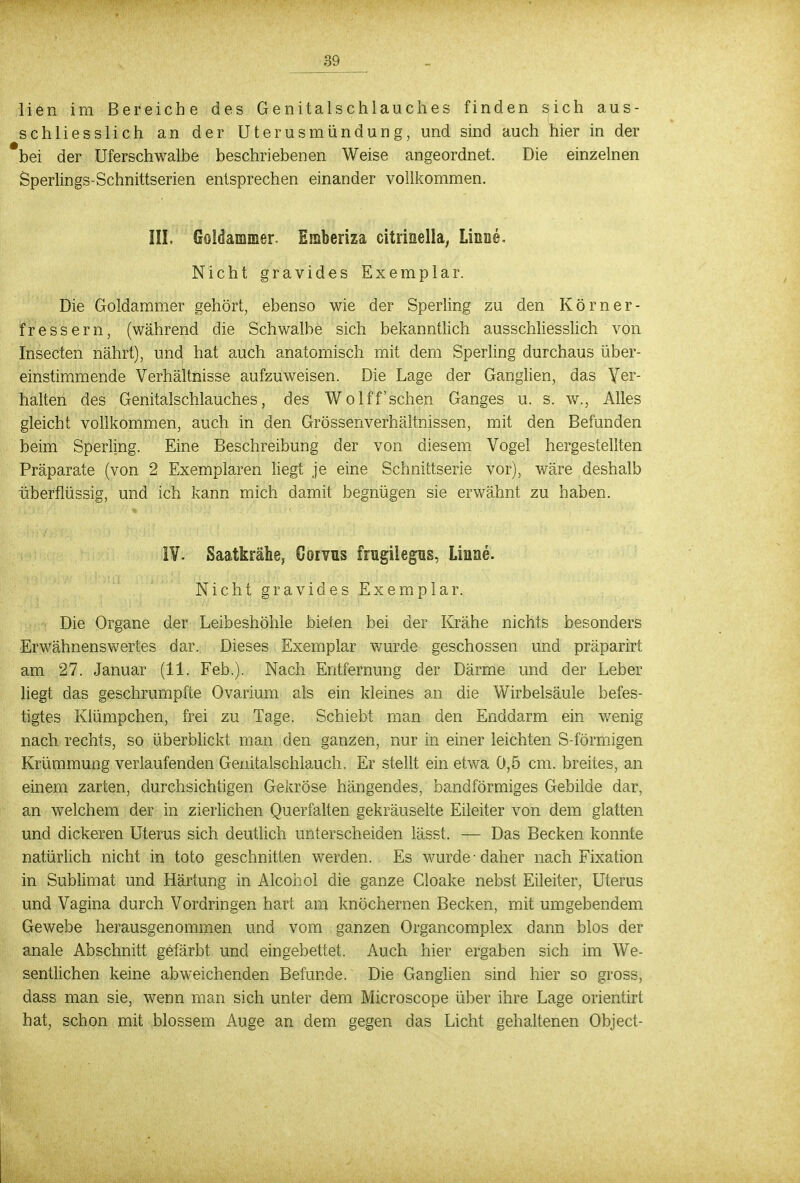 J59 lien im Bereiche des Genitalschlauches finden sich aus- schliesslich an der Uterusmündung, und sind auch hier in der bei der Uferschwalbe beschriebenen Weise angeordnet. Die einzelnen Sperlings-Schnittserien entsprechen einander vollkommen. III, Goldammer. Eraberiza citrinella, Linne. Nicht gravides Exemplar. Die Goldammer gehört, ebenso wie der Sperling zu den Körner- fressern, (während die Schwalbe sich bekanntlich ausschliesslich von Insecten nährt), und hat auch anatomisch mit dem Sperling durchaus über- einstimmende Verhältnisse aufzuweisen. Die Lage der Ganglien, das Ver- halten des Genitalschlauches, des Wolff'sehen Ganges u. s. w., Alles gleicht vollkommen, auch in den Grössen Verhältnissen, mit den Befunden beim Sperling. Eine Beschreibung der von diesem Vogel hergestellten Präparate (von 2 Exemplaren liegt je eine Schnittserie vor), wäre deshalb überflüssig, und ich kann mich damit begnügen sie erwähnt zu haben. IV. Saatkrähe, Corvns frugilegns, Linne. Nicht gravides Exemplar. Die Organe der Leibeshöhle bieten bei der Krähe nichts besonders Erwähnenswertes dar. Dieses Exemplar wurde geschossen und präparirt am 27. Januar (11. Feb.). Nach Entfernung der Därme und der Leber liegt das geschrumpfte Ovarium als ein kleines an die Wirbelsäule befes- tigtes Klümpchen, frei zu Tage. Schiebt man den Enddarm ein wenig nach rechts, so überblickt man den ganzen, nur in einer leichten S-förmigen Krümmung verlaufenden Genitalschlauch. Er stellt ein etwa 0,5 cm. breites, an einem zarten, durchsichtigen Gekröse hängendes, bandförmiges Gebilde dar, an welchem der in zierlichen Querfalten gekräuselte Eileiter von dem glatten und dickeren Uterus sich deutlich unterscheiden lässt. — Das Becken konnte natürlich nicht in toto geschnitten werden. Es wurde-daher nach Fixation in Sublimat und Härtung in Alcohol die ganze Cloake nebst Eileiter, Uterus und Vagina durch Vordringen hart am knöchernen Becken, mit umgebendem Gewebe herausgenommen und vom ganzen Organcomplex dann blos der anale Abschnitt gefärbt und eingebettet. Auch hier ergaben sich im We- sentlichen keine abweichenden Befunde. Die Ganglien sind hier so gross, dass man sie, wenn man sich unter dem Microscope über ihre Lage orientirt bat, schon mit blossem Auge an dem gegen das Licht gehaltenen Object-