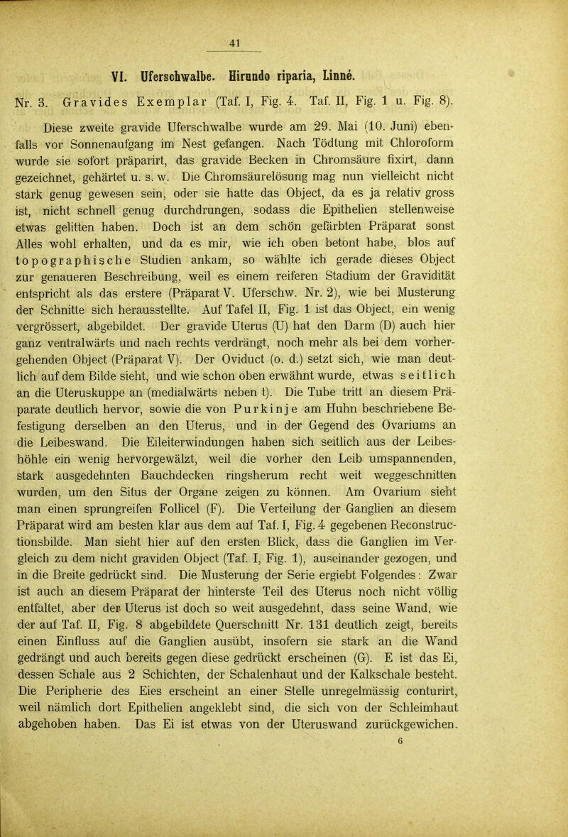 VI. Uferschwalbe. Hirnndo riparia, Linne. Nr. 3. Gravides Exemplar (Taf. I, Fig. 4. Taf. II, Fig. 1 u. Fig. 8). Diese zweite gravide Uferschwalbe wurde am 29. Mai (10. Juni) eben- falls vor Sonnenaufgang im Nest gefangen. Nach Tödtung mit Chloroform wurde sie sofort präparirt, das gravide Becken in Ghromsäure fixirt, dann gezeichnet, gehärtet u. s. w. Die Chromsäurelösung mag nun vielleicht nicht stark genug gewesen sein, oder sie hatte das Object, da es ja relativ gross ist, nicht schnell genug durchdrungen, sodass die Epithelien stellenweise etwas gelitten haben. Doch ist an dem schön gefärbten Präparat sonst Alles wohl erhalten, und da es mir, wie ich oben betont habe, blos auf topographische Studien ankam, so wählte ich gerade dieses Object zur genaueren Beschreibung, weil es einem reiferen Stadium der Gravidität entspricht als das erstere (Präparat V. Uferschw. Nr. 2), wie bei Musterung der Schnitte sich herausstellte. Auf Tafel II, Fig. 1 ist das Object, ein wenig vergrössert, abgebildet. Der gravide Uterus (U) hat den Darm (D) auch hier ganz ventralwärts und nach rechts verdrängt, noch mehr als bei dem vorher- gehenden Object (Präparat V). Der Oviduct (o. d.) setzt sich, wie man deut- lich auf dem Bilde sieht, und wie schon oben erwähnt wurde, etwas seitlich an die Uteruskuppe an (medialwärts neben t). Die Tube tritt an diesem Prä- parate deutlich hervor, sowie die von Purkinje am Huhn beschriebene Be- festigung derselben an den Uterus, und in der Gegend des Ovariums an die Leibeswand. Die Eileiterwindungen haben sich seitlich aus der Leibes- höhle ein wenig hervorgewälzt, weil die vorher den Leib umspannenden, stark ausgedehnten Bauchdecken ringsherum recht weit weggeschnitten wurden, um den Situs der Organe zeigen zu können. Am Ovarium sieht man einen sprungreifen Follicel (F). Die Verteilung der Ganglien an diesem Präparat wird am besten klar aus dem auf Taf. I, Fig. 4 gegebenen Reconstruc- tionsbilde. Man sieht hier auf den ersten Blick, dass die Ganglien im Ver- gleich zu dem nicht graviden Object (Taf. I, Fig. 1), auseinander gezogen, und in die Breite gedrückt sind. Die Musterung der Serie ergiebt Folgendes : Zwar ist auch an diesem Präparat der hinterste Teil des Uterus noch nicht völlig entfaltet, aber der Uterus ist doch so weit ausgedehnt, dass seine Wand, wie der auf Taf. II, Fig. 8 abgebildete Querschnitt Nr. 131 deutlich zeigt, bereits einen Einfluss auf die Ganglien ausübt, insofern sie stark an die Wand gedrängt und auch bereits gegen diese gedrückt erscheinen (G). E ist das Ei, dessen Schale aus 2 Schichten, der Schalenhaut und der Kalkschale besteht. Die Peripherie des Eies erscheint an einer Stelle unregelmässig conturirt, weil nämlich dort Epithelien angeklebt sind, die sich von der Schleimhaut abgehoben haben. Das Ei ist etwas von der Uteruswand zurückgewichen. 6