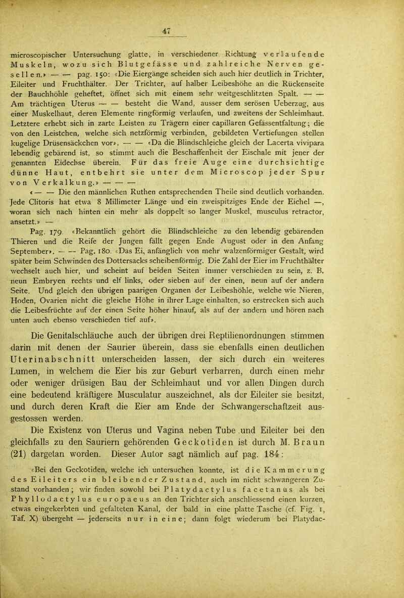 microscopischer Untersuchung glatte, in verschiedener Richtung verlaufende Muskeln, wozu sich Blutgefässe und zahlreiche Nerven ge- sellen.» pag. 150: «Die Eiergänge scheiden sich auch hier deutlich in Trichter, Eileiter und Fruchthälter. Der Trichter, auf halber Leibeshöhe an die Rückenseite der Bauchhöhle geheftet, öffnet sich mit einem sehr weitgeschlitzten Spalt. Am trächtigen Uterus — — besteht die Wand, ausser dem serösen Ueberzug, aus einer Muskelhaut, deren Elemente ringförmig verlaufen, und zweitens der Schleimhaut. Letztere erhebt sich in zarte Leisten zu Trägern einer capillaren Gefässentfaltung 5 die von den Leistchen, welche sich netzförmig verbinden, gebildeten Vertiefungen stellen kugelige Drüsensäckchen vor». — — «Da die Blindschleiche gleich der Lacerta vivipara lebendig gebärend ist, so stimmt auch die Beschaffenheit der Eischale mit jener der genannten Eidechse überein. Für das freie Auge eine durchsichtige dünne Haut, entbehrt sie unter dem Microscop jeder Spur von Verkalkung.» — — — <— — Die den männlichen Ruthen entsprechenden Theile sind deutlich vorhanden. Jede Clitoris hat etwa 8 Millimeter Länge und ein zweispitziges Ende der Eichel —, woran sich nach hinten ein mehr als doppelt so langer Muskel, musculus retractor, ansetzt.» — Pag. 179. «Bekanntlich gehört die Blindschleiche zu den lebendig gebärenden Thieren und die Reife der Jungen fällt gegen Ende August oder in den Anfang September». Pag. 180. «Das Ei, anfänglich von mehr walzenförmiger Gestalt, wird später beim Schwinden des Dottersacks scheibenförmig. Die Zahl der Eier im Fruchthälter wechselt auch hier, und scheint auf beiden Seiten immer verschieden zu sein, z. B. neun Embryen rechts und elf links, oder sieben auf der einen, neun auf der andern Seite. Und gleich den übrigen paarigen Organen der Leibeshöhle, welche wie Nieren, Hoden, Ovarien nicht die gleiche Höhe in ihrer Lage einhalten, so erstrecken sich auch die Leibesfrüchte auf der einen Seite höher hinauf, als auf der andern und hören nach unten auch ebenso verschieden tief auf». Die Genitalschläuche auch der übrigen drei Reptilienordnungen stimmen darin mit denen der Saurier überein, dass sie ebenfalls einen deutlichen Uterinabschnitt unterscheiden lassen, der sich durch ein weiteres Lumen, in welchem die Eier bis zur Geburt verharren, durch einen mehr oder weniger drüsigen Bau der Schleimhaut und vor allen Dingen durch eine bedeutend kräftigere Musculatur auszeichnet, als der Eileiter sie besitzt, und durch deren Kraft die Eier am Ende der Schwangerschaftzeit aus- gestossen werden. Die Existenz von Uterus und Vagina neben Tube .und Eileiter bei den gleichfalls zu den Sauriern gehörenden Geckotiden ist durch M. Braun (21) dargetan worden. Dieser Autor sagt nämlich auf pag. 184: «Bei den Geckotiden, welche ich untersuchen konnte, ist die Kammerung des Eileiters ein bleibender Zustand, auch im nicht schwangeren Zu- stand vorhanden; wir finden sowohl bei Platydactylus facetanus als bei Phyllodactylus europaeus an den Trichter sich anschliessend einen kurzen, etwas eingekerbten und gefalteten Kanal, der bald in eine platte Tasche (cf. Fig. I, Taf. X) übergeht — jederseits nur i n e i n e; dann folgt wiederum bei Platydac-