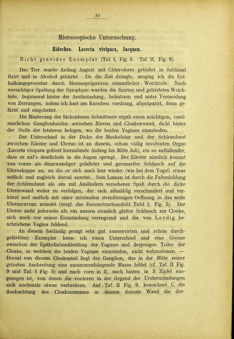 Ol Microscopische Untersuchung. Eidechse. Lacerta vivipara, Jacquen. Nicht gravides Exemplar (Taf. I, Fig. 5. Taf. II, Fig. 9). Das Tier wurde Anfang August mit Chloroform getödtet in Sublimat fixirt und in Alcohol gehärtet. Da die Zeit drängte, umging ich die Ent- kalkungsprocedur durch Herauspräpariren sämmtlicher Weich teile: Nach vorsichtiger Spaltung der Symphyse wurden die fixirten und gehärteten Weich- teile, beginnend hinter der Analmündung, behutsam und unter Vermeidung von Zerrungen, indem ich hart am Knochen vordrang, abpräparirt, dann ge- färbt und eingebettet. Die Musterung der lückenlosen Schnittserie ergab einen mächtigen, conti- nuirlichen Ganglienhaufen zwischen Nieren und Cloakenwand, dicht hinter der Stelle der letzteren belegen, wo die beiden Vaginae einmünden. Der Unterschied in der Dicke der Muskulatur und der Schleimhaut zwischen Eileiter und Uterus ist an diesem, schon völlig involvirten Organ (Lacerta vivipara gebiert hierzulande Anfang bis Mitte Juli), ein so auffallender, dass er aufs deutlichste in die Augen springt. Der Eileiter nämlich kommt von vorne als dünnwandiger gefalteter und gerunzelter Schlauch auf die Uteruskuppe zu, an die er sich auch hier wieder (wie bei dem Vogel) etwas seitlich und zugleich dorsal ansetzt. Sein Lumen ist durch die Faltenbildung der Schleimhaut als ein mit Ausläufern versehener Spalt durch die dicke Uteruswand weiter zu verfolgen, der sich allmählig verschmälert und ver- kürzt und endlich mit einer minimalen sternförmigen Oeffnung in das weite Uteruscavum mündet (vergl. das Reconstructionsbild Tafel I, Fig. 5). Der Uterus zieht jederseits als ein aussen ziemlich glatter Schlauch zur Cloake, sich noch vor seiner Einmündung verengernd und die von Leydig be- schriebene Vagina bildend. An diesem (beiläufig gesagt sehr gut conservirten und schön durch- gefärbten) Exemplar kann ich einen Unterschied und eine Grenze zwischen der Epithelialauskleidung der Vaginae und desjenigen Teiles der Cloake, in welchen die beiden Vaginae einmünden, nicht wahrnehmen. — Dorsal von diesem Cloakenteil liegt das Ganglion, das in der Mitte seiner grössten Ausbreitung eine zusammenhängende Masse bildet (cf. Taf. II Fig. 9 und Taf. I Fig. 5) und nach vorn in 2, nach hinten in 3 Zipfel aus- gezogen ist, von denen die vorderen in der Gegend der Uretermündungen sich nochmals etwas verbreitern. Auf Taf. II Fig. 9, bezeichnet C die Ausbuchtung des Cloakenraumes in dessen dorsale Wand die dor-