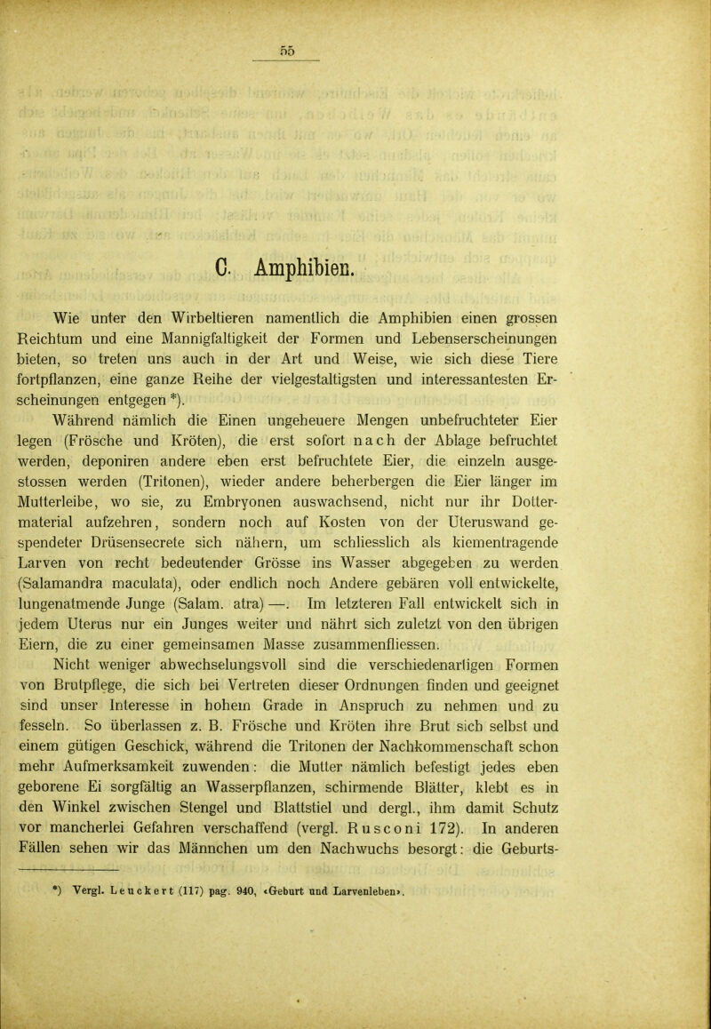 0. Amphibien. Wie unter den Wirbeltieren namentlich die Amphibien einen grossen Reichturn und eine Mannigfaltigkeit der Formen und Lebenserscheinungen bieten, so treten uns auch in der Art und Weise, wie sich diese Tiere fortpflanzen, eine ganze Reihe der vielgestaltigsten und interessantesten Er- scheinungen entgegen *). Während nämlich die Einen ungeheuere Mengen unbefruchteter Eier legen (Frösche und Kröten), die erst sofort nach der Ablage befruchtet werden, deponiren andere eben erst befruchtete Eier, die einzeln ausge- stossen werden (Tritonen), wieder andere beherbergen die Eier länger im Mutterleibe, wo sie, zu Embryonen auswachsend, nicht nur ihr Dotter- material aufzehren, sondern noch auf Kosten von der Uteruswand ge- spendeter Drüsensecrete sich nähern, um schliesslich als kiementragende Larven von recht bedeutender Grösse ins Wasser abgegeben zu werden (Salamandra maculata), oder endlich noch Andere gebären voll entwickelte, lungenatmende Junge (Salam. atra) —. Im letzteren Fall entwickelt sich in jedem Uterus nur ein Junges weiter und nährt sich zuletzt von den übrigen Eiern, die zu einer gemeinsamen Masse zusammenfliessen. Nicht weniger abwechselungsvoll sind die verschiedenarligen Formen von Rrutpflege, die sich bei Vertreten dieser Ordnungen finden und geeignet sind unser Interesse in hohem Grade in Anspruch zu nehmen und zu fesseln. So überlassen z. B. Frösche und Kröten ihre Brut sich selbst und einem gütigen Geschick, während die Tritonen der Nachkommenschaft schon mehr Aufmerksamkeit zuwenden: die Mutter nämlich befestigt jedes eben geborene Ei sorgfältig an Wasserpflanzen, schirmende Blätter, klebt es in den Winkel zwischen Stengel und Blattstiel und dergl., ihm damit Schutz vor mancherlei Gefahren verschaffend (vergl. Rusconi 172). In anderen Fällen sehen wir das Männchen um den Nachwuchs besorgt: die Geburts- *) Vergl. Leuckert (117) pag. 940, «Geburt und Larvenleben».