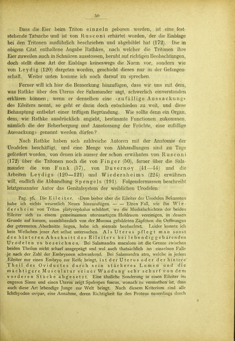 Dass die Eier beim Triton einzeln geboren werden, ist eine fest- stehende Tatsache und ist von R u s c o n i erhärtet worden, der die Eiablage bei den Tritonen ausführlich beschrieben und abgebildet hat (172). Die in obigem Citat enthaltene Angabe Rathkes, nach welcher die Tritonen ihre Eier zuweilen auch in Schnüren ausstossen, beruht auf richtigen Beobachtungen, doch stellt diese Art der Eiablage keineswegs die Norm vor, sondern wie von Leydig (120) dargetan worden, geschieht dieses nur in der Gefangen- schaft. Weiter unten komme ich noch darauf zu sprechen. Ferner will ich hier die Bemerkung hinzufügen, dass wir uns mit dem, was Rathke über den Uterus der Salamander sagt, schwerlich einverstanden erklären können; wenn er denselben eine «zufällige Aussackung» des Eileiters nennt, so geht er darin doch entschieden zu weit, und diese Behauptung entbehrt einer triftigen Begründung. Wie sollte denn ein Organ, dem, wie Rathke ausdrücklich angiebt, bestimmte Functionen zukommen, nämlich die der Beherbergung und Ausstossung der Früchte, eine zufällige Aussackung» genannt werden dürfen? Nach Rathke haben sich zahlreiche Autoren mit der Anatomie der Urodelen beschäftigt, und eine Menge von Abhandlungen sind zu Tage gefördert worden, von denen ich ausser der schon erwähnten von Rusconi (172) über die Tritonen noch die von Finger (50), ferner über die Sala- mander die von Funk (57), von Duvernoy (41—44) und die Arbeiten Leydigs (120—121) und Wiedersheims (224) erwähnen will, endlich die Abhandlung Spengels (191). Folgendermassen beschreibt letztgenannter Autor das Genitalsystem der weiblichen Urodelen: Pag. 56. Die Eileiter. «Dem bisher über die Eileiter der Urodelen Bekannten habe ich nichts wesentlich Neues hinzuzufügen. — — Einen Fall, wie ihn Wie- der s h e i m von Triton platycephalus schildert, wo die Muskelschichten der beiden Eileiter sich zu einem gemeinsamen uterusartigen Hohlraum vereinigen, in dessen Grunde auf kurzen, ausschliesslich von der Mucosa gebildeten Zäpfchen die Oeffnungen der getrennten Abschnitte liegen, habe ich niemals beobachtet. Leider konnte ich kein Weibchen jener Art selbst untersuchen. Als Uterus pflegt man sonst den hinteren Abschnitt des Eileiters bei lebendiggebärenden Urodelen zu bezeichnen. Bei Salamandra maculosa ist die Grenze zwischen beiden Theilen nicht scharf ausgeprägt und wol auch thatsächlich im einzelnen Falle je nach der Zahl der Embryonen schwankend. Bei Salamandra atra, welche in jedem Eileiter nur einen Embryo zur Reife bringt, ist der Uterus oder der hintere Theil des Oviductes durch sein stärkeres Lumen und die mächtigere Musculatur seiner Wandung sehr scharf von dem vorderen Stücke abgesetzt. Eine ähnliche Sonderung in einen Eileiter im engeren Sinne und einen Uterus zeigt Spelerpes fuscus, wonach zu vermuthen ist, dass auch diese Art lebendige Junge zur Welt bringt. Nach diesem Kriterium sind alle Ichthyoden ovipar, eine Annahme, deren Richtigkeit für den Proteus neuerdings durch