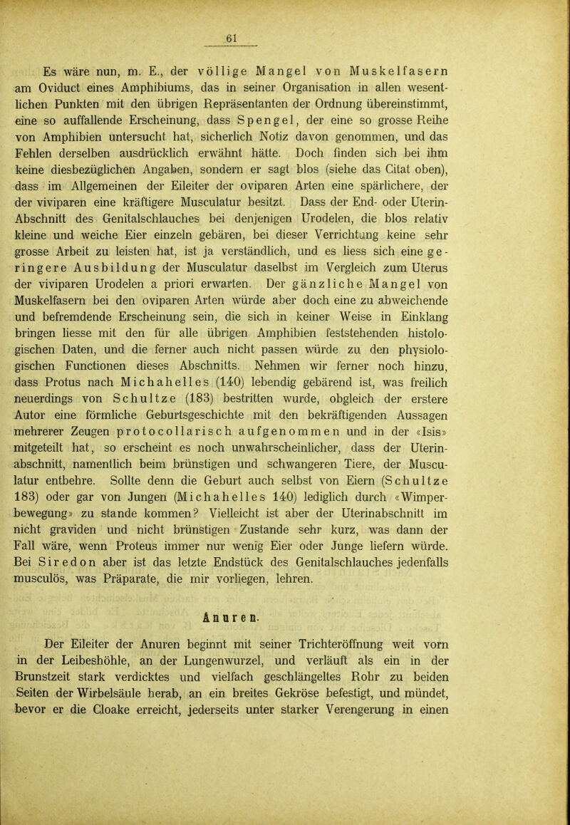 Es wäre nun, m. E., der völlige Mangel von Muskelfasern am Oviduct eines Amphibiums, das in seiner Organisation in allen wesent- lichen Punkten mit den übrigen Repräsentanten der Ordnung übereinstimmt, eine so auffallende Erscheinung, dass S p e n g e 1, der eine so grosse Reihe von Amphibien untersucht hat, sicherlich Notiz davon genommen, und das Fehlen derselben ausdrücklich erwähnt hätte. Doch finden sich bei ihm keine diesbezüglichen Angaben, sondern er sagt blos (siehe das Citat oben), dass im Allgemeinen der Eileiter der oviparen Arten eine spärlichere, der der viviparen eine kräftigere Musculatur besitzt. Dass der End- oder Uterin- Abschnitt des Genitalschlauches bei denjenigen Urodelen, die blos relativ kleine und weiche Eier einzeln gebären, bei dieser Verrichtung keine sehr grosse Arbeit zu leisten hat, ist ja verständlich, und es liess sich eine ge- ringere Ausbildung der Musculatur daselbst im Vergleich zum Uterus der viviparen Urodelen a priori erwarten. Der gänzliche Mangel von Muskelfasern bei den oviparen Arten würde aber doch eine zu abweichende und befremdende Erscheinung sein, die sich in keiner Weise in Einklang bringen liesse mit den für alle übrigen Amphibien feststehenden histolo- gischen Daten, und die ferner auch nicht passen würde zu den physiolo- gischen Functionen dieses Abschnitts. Nehmen wir ferner noch hinzu, dass Protus nach Michahelles (140) lebendig gebärend ist, was freilich neuerdings von Schultze (183) bestritten wurde, obgleich der erstere Autor eine förmliche Geburtsgeschichte mit den bekräftigenden Aussagen mehrerer Zeugen protocollarisch aufgenommen und in der «Isis» mitgeteilt hat, so erscheint es noch unwahrscheinlicher, dass der Uterin- abschnitt, namentlich beim brünstigen und schwangeren Tiere, der Muscu- latur entbehre. Sollte denn die Geburt auch selbst von Eiern (Schultze 183) oder gar von Jungen (Michahelles 140) lediglich durch «Wimper- bewegung» zu stände kommen? Vielleicht ist aber der Uterinabschnitt im nicht graviden und nicht brünstigen Zustande sehr kurz, was dann der Fall wäre, wenn Proteus immer nur wenig Eier oder Junge liefern würde. Bei Siredon aber ist das letzte Endstück des Genitalschlauches jedenfalls musculös, was Präparate, die mir vorliegen, lehren. Änur e n. Der Eileiter der Anuren beginnt mit seiner Trichteröffnung weit vorn in der Leibeshöhle, an der Lungenwurzel, und verläuft als ein in der Brunstzeit stark verdicktes und vielfach geschlängeltes Rohr zu beiden Seiten der Wirbelsäule herab, an ein breites Gekröse befestigt, und mündet, bevor er die Cloake erreicht, jederseits unter starker Verengerung in einen