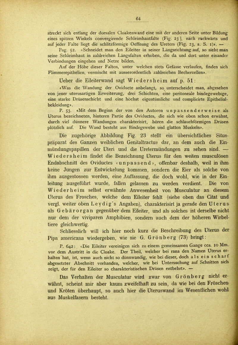 streckt sich entlang der dorsalen Cloakenwand eine mit der anderen Seite unter Bildung eines spitzen Winkels convergirende Schleimhautfalte (Fig. 23 ), nach rückwärts und auf jeder Falte liegt die schlitzförmige Oeffnung des Ureters (Fig. 23, s. S. 1)». — Pag. 52. «Schneidet man den Eileiter in seiner Längsrichtung auf, so sieht man seine Schleimhaut in zahlreichen Längsfalten erhoben, die da und dort unter einander Verbindungen eingehen und Netze bilden. Auf der Höhe dieser Falten, unter welchen stets Gefässe verlaufen, finden sich Flimmerepithelien, vermischt mit ausserordentlich zahlreichen Becherzellen». Ueber die Eileiterwand sagt Wiedersheim auf p. 51: «Was die Wandung der Oviducte anbelangt, so unterscheidet man, abgesehen von jener uterusartigen Erweiterung, drei Schichten, eine peritoneale bindegewebige, eine starke Drüsenschicht und eine höchst eigentümliche und complicirte Epithelial- bekleidung». P. 53. «Mit dem Beginn der von den Autoren unpassenderweise als Uterus bezeichneten, hinteren Partie des Oviductes, die sich wie oben schon erwähnt, durch viel dünnere Wandungen charakterisirt, hören die schlauchförmigen Drüsen plötzlich auf. Die Wand besteht aus Bindegewebe und glatten Muskeln». Die zugehörige Abbildung Fig. 23 stellt ein übersichtliches Situs- präparat des Ganzen weiblichen Genitaltractus dar, an dem auch die Ein- mündungspapillen der Uteri und die Uretermündungen zu sehen sind. — Wiedersheim findet die Bezeichnung Uterus für den weiten musculösen Endabschnitt des Oviductes «unpassend», offenbar deshalb, weil in ihm keine Jungen zur Entwickelung kommen, sondern die Eier als solche von ihm ausgestossen werden, eine Auffassung, die doch wohl, wie in der Ein- leitung ausgeführt wurde, fallen gelassen zu werden verdient. Die von Wiederheim selbst erwähnte Anwesenheit von Musculatur an diesem Uterus des Frosches, welche dem Eileiter fehlt (siehe oben das Citat und vergl. weiter oben Leydig's Angaben), charakterisirt ja gerade den Uterus als Gebärorgan gegenüber dem Eileiter, und als solches ist derselbe nicht nur dem der viviparen Amphibien, sondern auch dem der höheren Wirbel- tiere gleichwertig. Schliesslich will ich hier noch kurz die Beschreibung des Uterus der Pipa americana wiedergeben, wie sie G. Grönberg (73) bringt: P. 642: «Die Eileiter vereinigen sich zu einem gemeinsamen Gange cca. 10 Mm. vor dem Austritt in die Cloake. Der Theil, welcher bei rana den Namen Uterus er- halten hat, ist, wenn auch nicht so dünnwandig, wie bei dieser, doch als ein scharf abgesetzter Abschnitt vorhanden, welcher, wie bei Untersuchung auf Schnitten sich zeigt, der für den Eileiter so charakteristischen Drüsen entbehrt». — Das Verhalten der Musculatur wird zwar von Grönberg nicht er- wähnt, scheint mir aber kaum zweifelhaft zu sein, da wie bei den Fröschen und Kröten überhaupt, so auch hier die Uteruswand im Wesentlichen wohL aus Muskelfasern besteht.