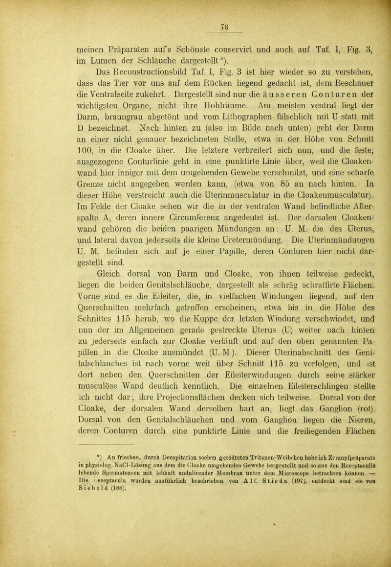 meinen Präparaten aufs Schönste conservirt und auch auf Taf. I, Fig. 3, im Lumen der Schläuche dargestellt*). Das Reconstructionsbild Taf. I, Fig. 3 ist hier wieder so zu verstehen, dass das Tier vor uns auf dem Rücken liegend gedacht ist, dem Beschauer die Ventralseite zukehrt. Dargestellt sind nur die äusseren Conturen der wichtigsten Organe, nicht ihre Hohlräume. Am meisten ventral liegt der Darm, braungrau abgetönt und vom Lithographen fälschlich mit U statt mit D bezeichnet. Nach hinten zu (also im Bilde nach unten) geht der Darm an einer nicht genauer bezeichneten Stelle, etwa in der Höhe von Schnitt 100, in die Cloake über. Die letztere verbreitert sich nun, und die feste, ausgezogene Conturlinie geht in eine punktirte Linie über, weil die Cloaken- wand hier inniger mit dem umgebenden Gewebe verschmilzt, und eine scharfe Grenze nicht angegeben werden kann, (etwa von 85 an nach hinten. In dieser Höhe verstreicht auch die Uterinmusculatur in die Cloakenmusculatur). Im Felde der Cloake sehen wir die in der ventralen Wand befindliche After- spalte A, deren innere Circumferenz angedeutet ist. Der dorsalen Cloaken- wand gehören die beiden paarigen Mündungen an: U. M. die des Uterus, und lateral davon jederseits die kleine Uretermündung. Die Uterinmündungen U. M. befinden sich auf je einer Papille, deren Conturen hier nicht dar- gestellt sind. Gleich dorsal von Darm und Cloake, von ihnen teilweise gedeckt, liegen die beiden Genitalschläuche, dargestellt als schräg schraffirte Flächen. Vorne sind es die Eileiter, die, in vielfachen Windungen liegend, auf den Querschnitten mehrfach getroffen erscheinen, etwa bis in die Höhe des Schnittes 115 herab, wo die Kuppe der letzten Windung verschwindet, und nun der im Allgemeinen gerade gestreckte Uterus (U) weiter nach hinten zu jederseits einfach zur Cloake verläuft und auf den oben genannten Pa- pillen in die Cloake ausmündet (U. M). Dieser Uterinabschnitt des Geni- talschlauches ist nach vorne weit über Schnitt 115 zu verfolgen, und ist dort neben den Querschnitten der Eileiterwindungen durch seine stärker musculöse Wand deutlich kenntlich. Die einzelnen Eileiterschlingen stellte ich nicht dar; ihre Projectionsflächen decken sich teilweise. Dorsal von der Cloake, der dorsalen Wand derselben hart an, liegt das Ganglion (rot). Dorsal von den Genitalschläuchen und vom Ganglion liegen die Nieren, deren Conturen durch eine punktirte Linie und die freiliegenden Flächen *) An frischen, durch Decapitation soeben getödteten Tritonen-Weibchen habeich Zerzupfpräparate in physiolog. NaCl-Lösung aus dem die Cloake umgebendeu Gewebe beigestellt und so aus den Receptaculis lebende Spermatozoen mit lebhaft undulirender Membran unter dem Microscope betrachten können. — Die i.eceptacula wurden ausführlich beschrieben von Alf. Stieda (197j, entdeckt sind sie von Siebold (188).