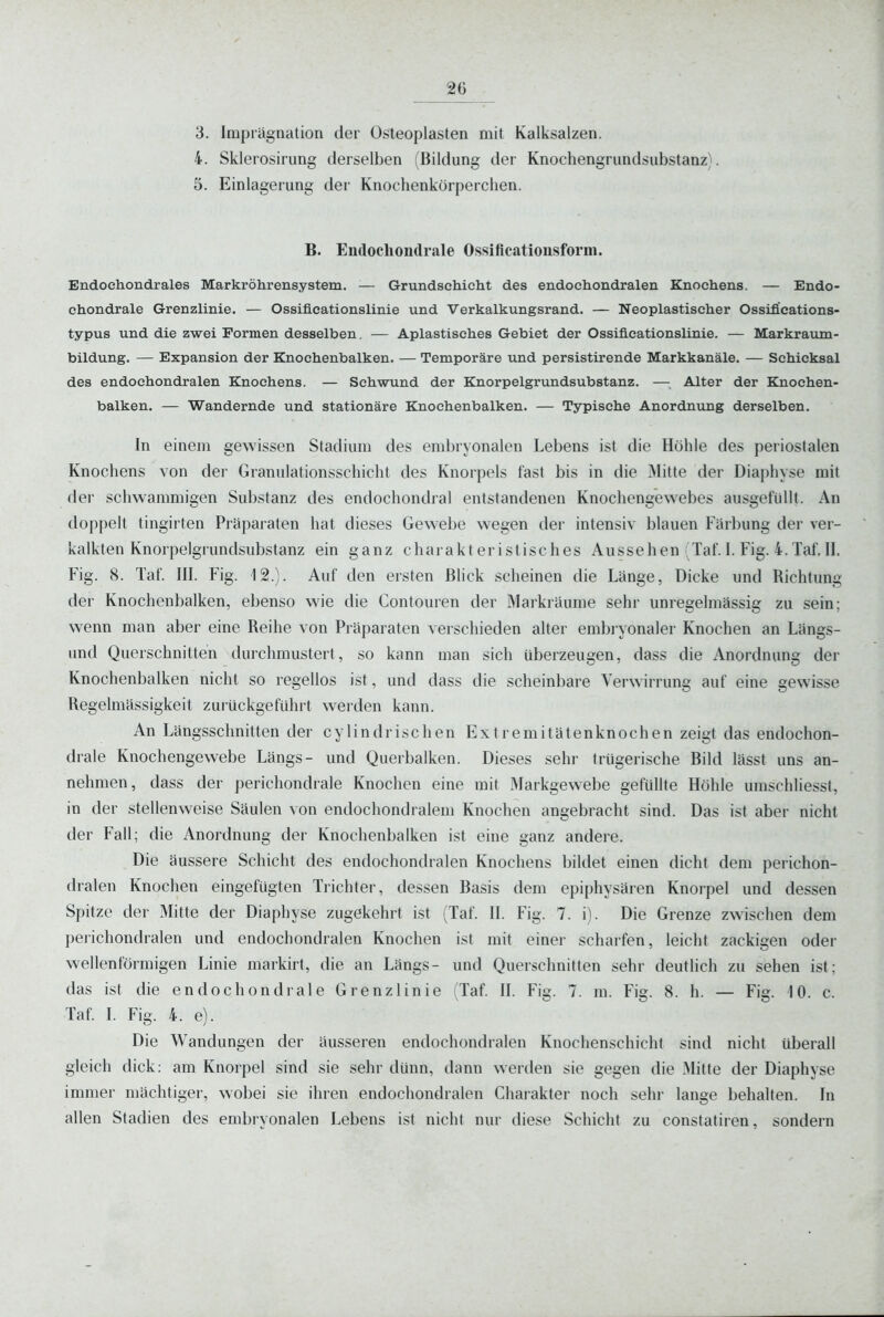 3. Imprägnation der Osleoplasten mit Kalksalzen. 4. Sklerosirung derselben (Bildung der Knochengrundsubstanz). 5. Einlagerung der Knochenkörperchen. B. Endocliondrale Ossificatiousform. Endochondrales Markröhrensystem. — Grundschicht des endochondralen Knochens. — Endo- chondrale Grenzlinie. — Ossifieationslinie und Verkalkungsrand. — Neoplastiseher Ossiflcations- typus und die zwei Formen desselben. — Aplastisches Gebiet der Ossifieationslinie. — Markraum- bildung. — Expansion der Knochenbalken. — Temporäre und persistirende Markkanäle. — Schicksal des endochondralen Knochens. — Schwund der Knorpelgrundsubstanz. — Alter der Knochen- balken. — Wandernde und stationäre Knochenbalken. — Typische Anordnung derselben. In einem gewissen Stadium des embryonalen Lebens ist die Höhle des periostalen Knochens von der Granulationsschicht des Knorpels fast bis in die Mitte der Diaphyse mit der schwammigen Substanz des endochondral entstandenen Knochengewebes ausgefüllt. An doppelt tingirten Präparaten hat dieses Gewebe wegen der intensiv blauen Färbung der ver- kalkten Knorpelgrundsubstanz ein ganz charakteristisches Aussehen Taf. I. Fig. 4. Taf. II. Fig. 8. Taf. III. Fig. 12.). Auf den ersten Blick scheinen die Länge, Dicke und Richtung der Knochenbalken, ebenso wie die Contouren der Markräume sehr unregeimässig zu sein; wenn man aber eine Reihe von Präparaten verschieden alter embryonaler Knochen an Längs- und Querschnitten durchmustert, so kann man sich überzeugen, dass die Anordnung der Knochenbalken nicht so regellos ist, und dass die scheinbare Verwirrung auf eine gewisse Regelmässigkeit zurückgeführt werden kann. An Längsschnitten der cylindrischen Extremitätenknochen zeigt das endoclion- drale Knochengewebe Längs- und Querbalken. Dieses sehr trügerische Bild lässt uns an- nehmen, dass der perichondrale Knochen eine mit Markgewebe gefüllte Höhle umschliesst, in der stellenweise Säulen von endochondralem Knochen angebracht sind. Das ist aber nicht der Fall; die Anordnung der Knochenbalken ist eine ganz andere. Die äussere Schicht des endochondralen Knochens bildet einen dicht dem perichon- dralen Knochen eingefügten Trichter, dessen Basis dem epiphysären Knorpel und dessen Spitze der Mitte der Diaphyse zugekehrt ist (Taf. II. Fig. 7. i). Die Grenze zwischen dem perichondralen und endochondralen Knochen ist mit einer scharfen, leicht zackigen oder wellenförmigen Linie markirt, die an Längs- und Querschnitten sehr deutlich zu sehen ist; das ist die endochondrale Grenzlinie (Taf. II. Fig. 7. m. Fig. 8. h. — Fig. 10. c. Taf. I. Fig. 4. e). Die Wandungen der äusseren endochondralen Knochenschicht sind nicht überall gleich dick: am Knorpel sind sie sehr dünn, dann werilen sie gegen die .Mitte der Diaphyse immer mächtiger, wobei sie ihren endochondralen Chaiakter noch sehr lange behalten. In allen Stadien des embryonalen Lebens ist nicht nur diese Schicht zu constatiren, sondern