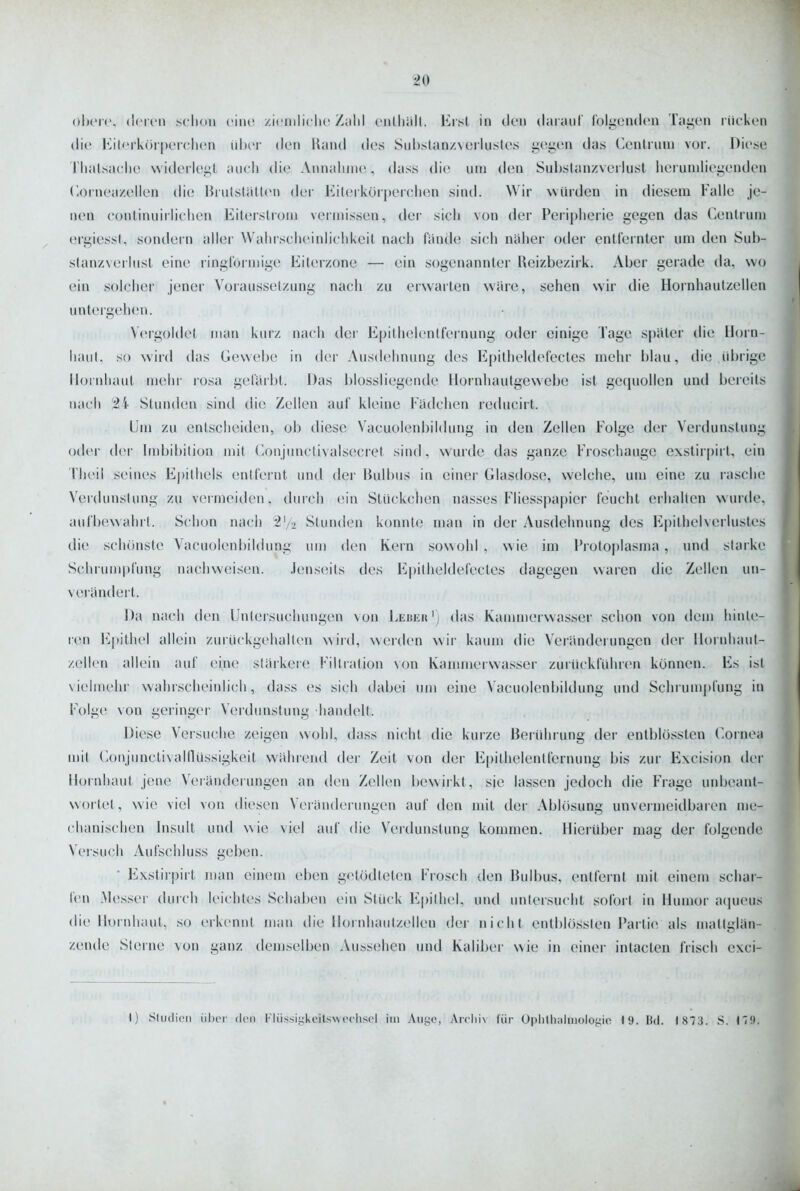 ohcrc, (Icicn schon ciiu^ zicniliclic Zahl ciUliäh. Erst in den (laranl' IblitcMKh'n Taigen rücken (he Kiterkörperchen über den Uand des Sul)!slanzvoilustes gegen das Cenlnnn vor. Diese Thalsache widerlegt auch die Annahnu^, dass die iini den Suhslanzveilusl liei uniliegenden (loiiiea/ellen di(! liiutstallen der KilerkOiperchen sind. Wir würden in diesem Falle je- nen continuirlichen Eiterslrom vermissen, der sich von der Perij)heric gegen das Cenlrum ergiessl, sondern aller Wahrscheinlichkeit nach fand(5 sich näher otler cntlernter um den Suh- slanzNci iust eine ringförmige Eiterzone — ein sogenannter Reizbezirk. Aber gerade da, wo ein solcher jener Voraussetzung nach zu erwarten wäre, sehen wir die Hornhautzellen untergehen. Vergoldel man kurz nach der Epithelentfernung oder einige Tage spater die Horn- luuil. so wird das Gewebe in der Ausdehnung des Ejjitlieldel'ectes mehr blau, die idjrigc lloinhaut mehr i'osa gei'iirl)t. Das blossliegende Hornliaulgewebe ist gequollen und bereits nach ii Stunden sind die Zellen auf kleine Fädchen reducirt. Um zu entscheiden, ob diese Vacuolenbildung in den Zellen Folge th'r Verdunstung oder der Imbibition mit (lonjunctivalsecret sind, wurde das ganze Froschauge exstir[>iit, ein Theil seines Ej)ilhels entfernt und der Bulbus in einer Glasdose, welche, um eine zu rasche Verdunstung zu veimeiden, durch ein Stückchen nasses Fliesspapicr feucht erhalten wmde, aufb(!walirl. Schon nach 2V2 Stunden konnte man in der Ausdehnung des Epitiielverlustes die schönste Vacuolenbildung um den Kern sowohl , wie im Protoplasma, und staike Schrumpfung nachweisen. Jenseits ties Epitlieldefectes dagegen waren die Zellen un- verändert. Da nach den Untersuchungen von Leueu') das Kanunerwasser schon von dem hinte- ren lilpithel allein zurückgehalten wird, werden wir kaum die Veränderungen der llornluuit- zellen allein auf eine stärkere Filtration Non Kammerwasser zurückführen können. Es ist vielmehr wahrscheinlich, dass es sich dabei um eine Vacuolenbildung und Schrumi)fung in Folge von geringei- Verdunstung handelt. Diese Versuche zeigen wohl, dass nicht die kurze Berührung dei- entblössten Coinea mit Conjunctivalflüssigkoit wahrend der Zeit von der E[)ithelentfernung bis zur Excision der Hornhaut jene Veiandcrungen an den Zellen bewirkt, sie lassen jedoch die Frage unbeanl- wortet, wie viel von diesen Veränderungen auf den mit der AbUisung unvermeidbaren luv- chanischen bisult und wie viel auf die Verdunstung kommen. Hierüber mag der folgende Versuch Aufschluss geben. • Exstirpirt man einem eben getödteten Frosch den Bulbus, entfernt mit einem schar- fen .Messer durch leichtes Schaben ein Stück E|)ilhel. und untersucht soforl in Humor a(|ueus die Hornhaut, so erkennt man die llornliautzellen dei nie Iii eiitblösslen i'arli(^ als matlgliin- zende Sieine von ganz demselben Aussehen und Kaliber wie in einer intacten frisch exci- I) Sluclien über den FliissiL;keits\\ cchscl im Aiigo, Ar(lii\ für OpliÜialiiioloi;io 19. Itd. ) 873. S. Iii».