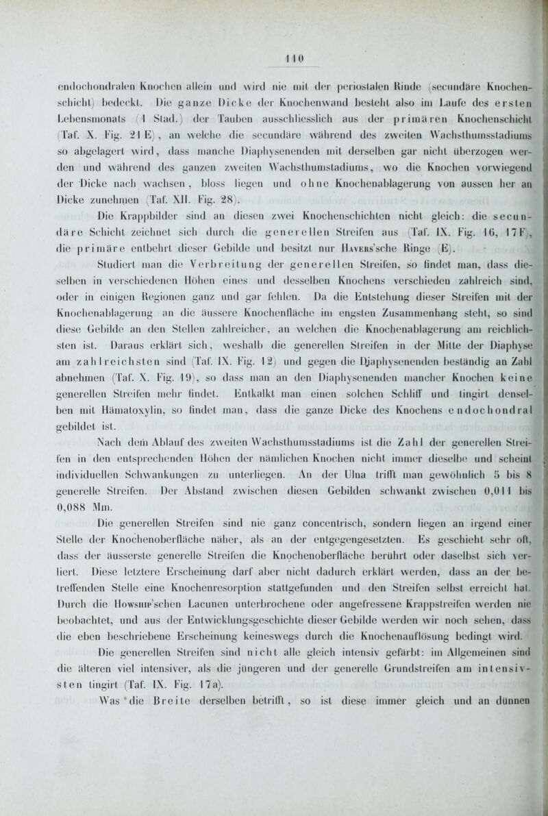 140 endocIioiulraliMi Kiioclien allein und wird nie inil der perioslalen Rinde (secundäre Knocheo- schicht) bodeckl. Die ganze Dicke der Knochenvvand besteht also im Laufe des ersten Lel)ensmonats {'1 Slad.) der Tauijen ausschliesslich aus der primären Knochenschichl (Taf. X. Fig. 21 E) , an welche die secundiire während des zweiten Wachsthumssladiums so abgelagert wird, dass manche Diaphysenenden mit derselben gar nicht überzogen w er- den und wiihrentl des ganzen zweiten Wachsthunistadiunjs, wo die Knochen vorwiegend der Dicke nach wachsen, bloss liegen und ohne Knochenablagerung von aussen her au Dicke zunelmien (Taf. XII. Fig. 28). Die Krappbilder sind an diesen zwei Knochenschichten nicht gleich: die secun- däre Schicht zeichnet sich durch die generellen Streifen aus (Taf. IX. Fig. IG, l7Fj, die primäre entbehrt dieser Gebilde und besitzt nur HAVERs'sche Ringe E). Studiert man die Verbreitung der generellen Streifen, so iindet man, dass die- selben in veischiedenen Höhen eines und desselben Knochens verschieden zahlreich sind, oder in einigen Regionen ganz und gar fehlen. Da die Entstehung dieser Streifen mit der Knochenablagerung an die itussere Knochenflache im engsten Zusammenhang steht, so sind diese Gebilde an den Stellen zahlreicher, an welchen die Knochenablagerung am reichlich- sten ist. Daraus erklart sich, weshalb die generellen Streifen in der Milte der Diaphyse am zahlreichsten sind (Taf. IX. Fig. 12) und gegen die Djapliysenenden bestandig an Zahl abnehmen ( Taf. X. Fig. 19), so dass man an den Diaphysenenden mancher Knochen keine generellen Streifen mehr tintlet. Entkalkt man einen solchen Schlilf und tingirt densel- ben mit Hiimatoxylin, so ündet man, dass die ganze Dicke des Knochens endochondral gebildet ist. Nach dein Ablauf des zweiten Wachsthumsstadiums ist die Zahl der generellen Strei- fen in den entsprechenden Höhen der nämlichen Knochen nicht innner dieselbe und scheint individuellen Schwankungen zu unterliegen. An der Ulna trill't man gewöhnlich ö bis 8 generelle Streifen. Der Abstand zwischen diesen Gebilden schwankt zwischen 0,01 I bis 0,088 Mm. Die generellen Streifen sind nie ganz concentrisch, sondern liegen an irgend einer Stelle der Knochenoberlliichc näher, als an der entgegengesetzten. Es geschieht sehr oft, dass der äusscrsle generelle Streifen die Knochenoberlläche berührt oder daselbst sich ver- liert. Diese letztere Erscheinung darf aber nicht dadurch erklärt werden, dass au der be- trelfenden Stelle eine Knochenresorption stattgefunden und den Streifen selbst erreicht hat. Durch die Howsuip'schen Lacunen unterbrochene oder angefressene Kra|)|)slreifen werden nie beobachtet, und aus der Entwicklungsgeschichte dieser Gebilde werden wir noch sehen, dass die eben beschriebene Erscheinung keineswegs durch die Knochenauflösung bedingt wird. Die generellen Stieifen sind nicht alle gleich intensiv gefärbt: im Allgemeinen sind die älteren viel intensiver, als die jimgeren und der generelle Grundsireifen am intensiv- sten tingirt (Taf. IX. Fig. 17 a). Was ■ die Breite derselben betrill't, so ist diese immer gleich und an dünnen
