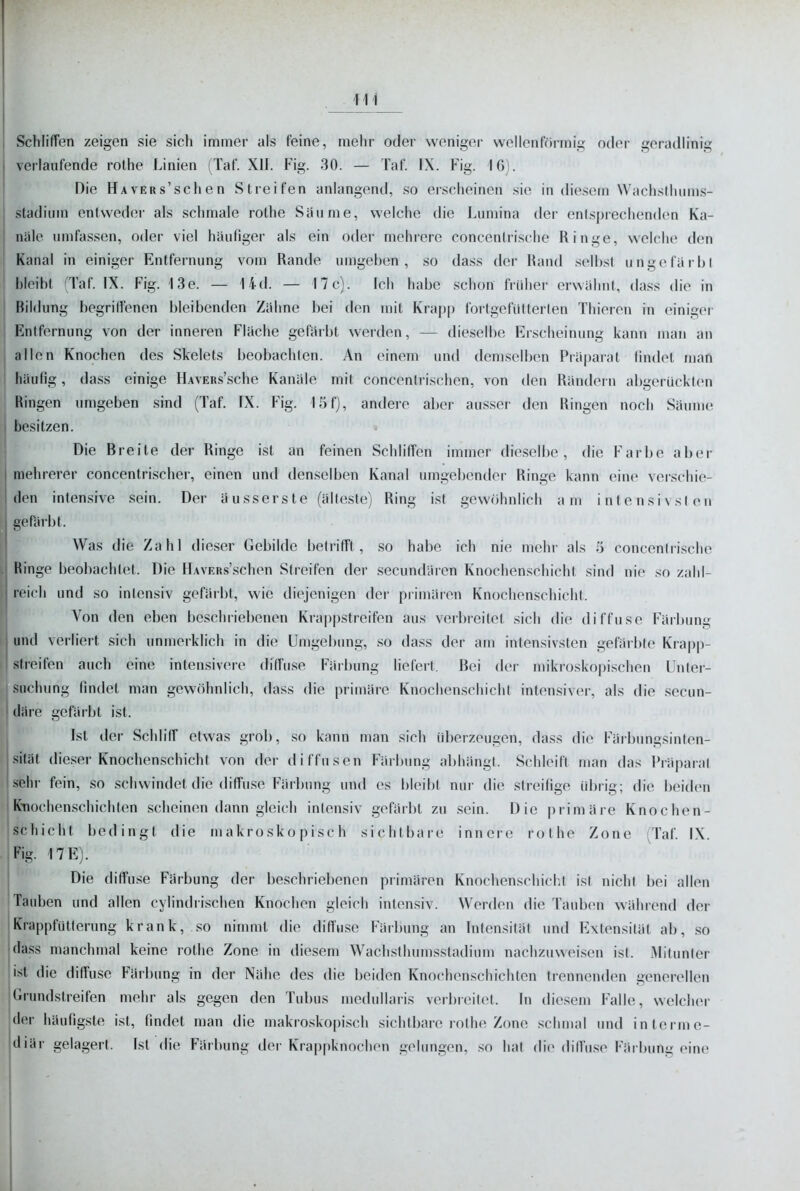 411 Schliffen zeigen sie sich immer als feine, mehr oder weniger wellenförmig oder geradlinig verlaufende rothe Linien (Taf. XII. Fig. 30. — Taf. IX. Fig. 16). Die HAVERs'schen Streifen anlangend, so erscheinen sie in diesem Wachsllunns- stadium entwedei* als schmale rothe Säume, welche die Lumina der entsprechenden Ka- nüle umfassen, oder viel häufiger als ein oder mehrere concentrische Ringe, welche den Kanal in einiger Entfernung vom Rande umgeben, so dass der Rand selbst ungefärbt bleibt (Taf. IX. Fig. 13e. — 14d. — 17c). Ich habe schon früher erwähnt, dass die in Bildung begriffenen bleibenden Zähne bei den mit Krapp fortgefütterten Thieren in einiger Entfernung von der inneren Fläche gefärbt werden, — dieselbe Erscheinung kann man an allen Knochen des Skelets beobachten. An einem und demselben Präparat findet man häufig, dass einige HAVERs'sche Kanäle mit concenlrischen, von den Rändern abgerückten Ringen umgeben sind (Taf. IX. Fig. 15f), andere aber ausser den Ringen noch Säume besitzen. Die Breite der Ringe ist an feinen Schliffen immer dieselbe, die Farbe aber mehrerer concentrischer, einen und denselben Kanal umgebender Ringe kann eine verschie- den intensive sein. Der äusserste (älteste) Ring ist gewöhnlich am intensivsten gefärbt. Was die Zahl dieser Gebilde betrifft, .so habe ich nie mehr als 3 concentrische Ringe beobachtet. Die HAVERs'schen Streifen der secundären Knochenschicht sind nie so zahl- reich und so intensiv gefärbt, wie diejenigen der primären Knochenschicht. Von den eben beschriebenen Krappstreifen aus verbreitet sich die diffuse Färbung und verliert sich unmerklich in die Umgebung, so dass der am intensivsten gefärbte Krapp- streifen auch eine intensivere diffuse Färbung liefert. Bei der mikroskopischen Unter- suchung findet man gewöhnlich, dass die primäre Knochenschicht inten.siver, als die secun- däre gefärbt ist. Ist der Schliff etwas grob, so kann man sich idierzeugen, dass die Färbungsinten- sitüt die.sier Knochenschicht von der tliffusen Färbung abhängt. Schleift man das Präparat sehr fein, so schwindet die diffuse Färbung und es bleibt nur die streifige übrig; die beiden Knochenschichten scheinen dann gleich intensiv gefärbt zu .sein. Die primäre Knochen- schicht bedingt die makroskopisch sichtbare innere rothe Zone (Taf. IX. Fig. 17E). Die diffuse Färbung der beschriebenen primären Knochenschicl.t ist nicht bei allen Tauben und allen cylindrischen Knochen gleich intensiv. Werden die Tauben während der Krappfütterung krank, so nimmt die diffu.se Färbung an Inten.sität und Extensität ab, so dass manchmal keine rothe Zone in diesem Waclisthumsstadium nachzuweisen ist. Mitunter ist die diffuse Färbung in der Nähe des die beiden Knochenschichten trennenden generellen Grundstreifen mehr als gegen den Tubus medullaris verbreitet. In diesem Falle, welcher der häufig.ste ist, findet man die makro.skopisch sichtbare rothe Zone schmal und interme- diär gelagert. Ist die Färbung der Krappknochen gelungen, so hat die diffuse Färbung eine