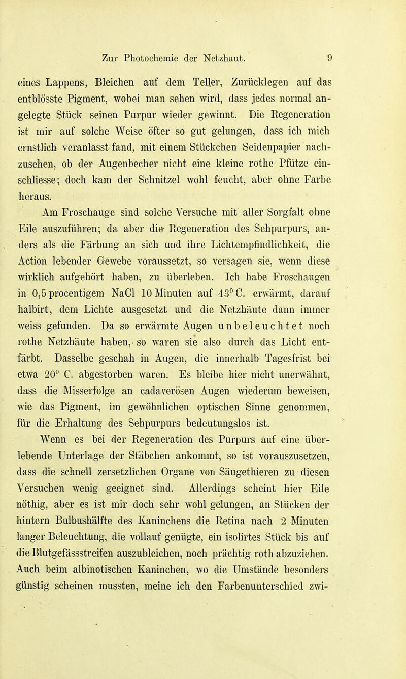 eines Lappens, Bleichen auf dem Teller, Zurücklegen auf das entblösste Pigment, wobei man sehen wird, dass jedes normal an- gelegte Stück seinen Purpur wieder gewinnt. Die Regeneration ist mir auf solche Weise öfter so gut gelungen, dass ich mich ernstlich veranlasst fand, mit einem Stückchen Seidenpapier nach- zusehen, ob der Augenbecher nicht eine kleine rothe Pfütze ein- schliesse; doch kam der Schnitzel wohl feucht, abet ohne Farbe heraus. Am Froschauge sind solche Versuche mit aller Sorgfalt ohne Eile auszuführen; da aber die- Ptegeneration des Sehpurpurs, an- ders als die Färbung an sich und ihre Lichtempfindlichkeit, die Action lebender Gewebe voraussetzt, so versagen sie, wenn diese wirklich aufgehört haben, zu überleben. Ich habe Froschaugen in 0,5 procentigem NaCl 10 Minuten auf 43° C. erwärmt, darauf halbirt, dem Lichte ausgesetzt und die Netzhäute dann immer weiss gefunden. Da so erwärmte Augen unbeleuchtet noch rothe Netzhäute haben, so waren sie also durch das Licht ent- färbt. Dasselbe geschah in Augen, die innerhalb Tagesfrist bei etwa 20° C. abgestorben waren. Es bleibe hier nicht unerwähnt, dass die Misserfolge an cadaverösen Augen wiederum beweisen, wie das Pigment, im gewöhnlichen optischen Sinne genommen, für die Erhaltung des Sehpurpurs bedeutungslos ist. Wenn es bei der Regeneration des Purpurs auf eine über- lebende Unterlage der Stäbchen ankommt, so ist vorauszusetzen, dass die schnell zersetzlichen Organe von Säugethieren zu diesen Versuchen wenig geeignet sind. Allerdings scheint hier Eile nöthig, aber es ist mir doch sehr wohl gelungen, an Stücken der hintern Bulbushälfte des Kaninchens die Retina nach 2 Minuten langer Beleuchtung, die vollauf genügte, ein isolirtes Stück bis auf die Blutgefässstreifen auszubleichen, noch prächtig roth abzuziehen. Auch beim albinotischen Kaninchen, wo die Umstände besonders günstig scheinen mussten, meine ich den Farbenunterschied zwi-