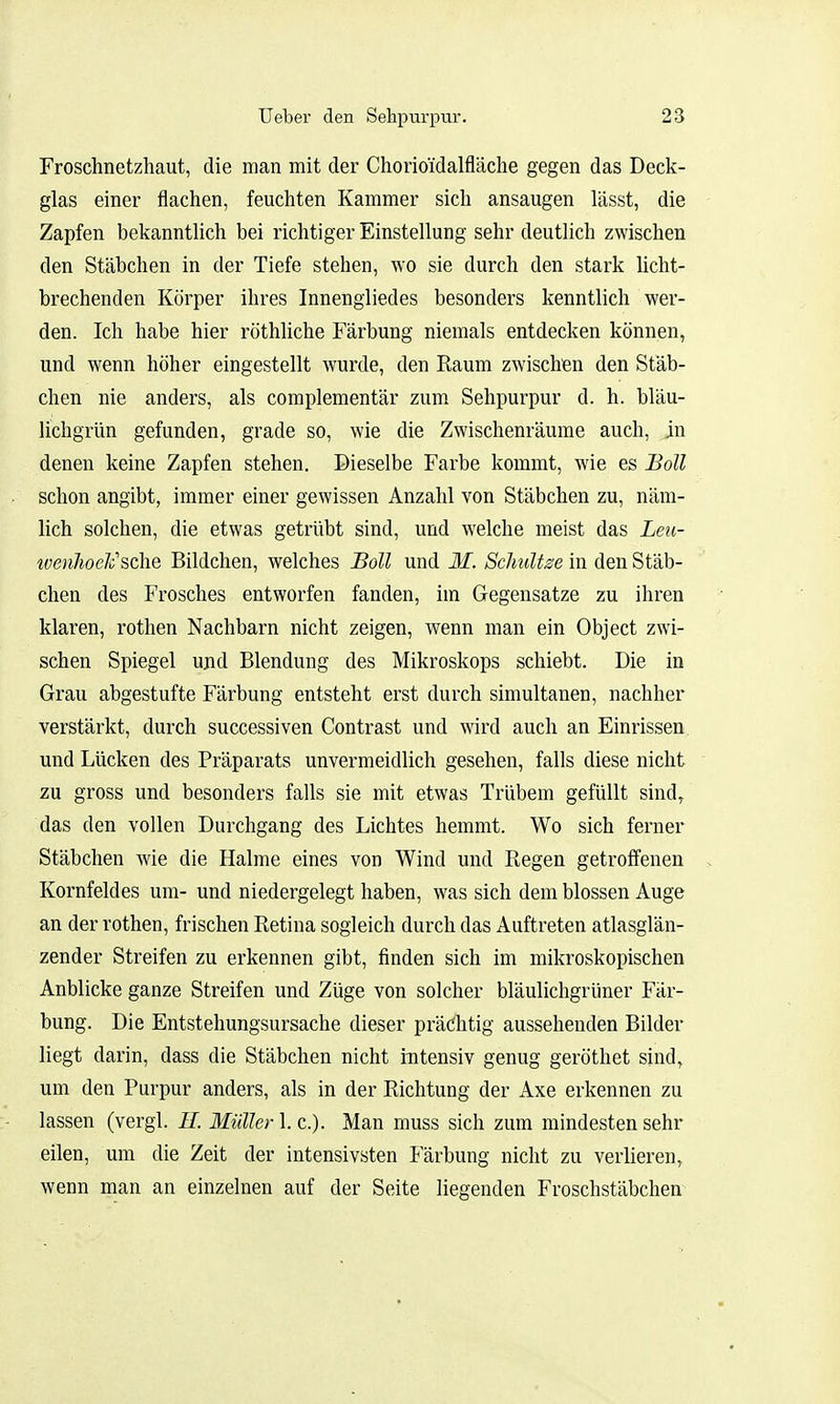 Froschnetzhaut, die man mit der Chorioidalfläche gegen das Deck- glas einer flachen, feuchten Kammer sich ansaugen lässt, die Zapfen bekanntUch bei richtiger Einstellung sehr deutlich zwischen den Stäbchen in der Tiefe stehen, wo sie durch den stark licht- brechenden Körper ihres Innengliedes besonders kenntlich wer- den. Ich habe hier röthliche Färbung niemals entdecken können, und wenn höher eingestellt wurde, den Raum zwischen den Stäb- chen nie anders, als complementär zum Sehpurpur d. h. bläu- lichgrün gefunden, grade so, wie die Zwischenräume auch, in denen keine Zapfen stehen. Dieselbe Farbe kommt, wie es Boll schon angibt, immer einer gewissen Anzahl von Stäbchen zu, näm- lich solchen, die etwas getrübt sind, und welche meist das Leu- wenJioek''sehe Bildchen, welches Boll und M. Sclmltse in den Stäb- chen des Frosches entworfen fanden, im Gegensatze zu ihren klaren, rothen Nachbarn nicht zeigen, wenn man ein Object zwi- schen Spiegel und Blendung des Mikroskops schiebt. Die in Grau abgestufte Färbung entsteht erst durch simultanen, nachher verstärkt, durch successiven Contrast und wird auch an Einrissen und Lücken des Präparats unvermeidlich gesehen, falls diese nicht zu gross und besonders falls sie mit etwas Trübem gefüllt sind, das den vollen Durchgang des Lichtes hemmt. Wo sich ferner Stäbchen wie die Halme eines von Wind und Regen getroffenen Kornfeldes um- und niedergelegt haben, was sich dem blossen Auge an der rothen, frischen Retina sogleich durch das Auftreten atlasglän- zender Streifen zu erkennen gibt, finden sich im mikroskopischen Anblicke ganze Streifen und Züge von solcher bläulichgrüner Fär- bung. Die Entstehungsursache dieser prä(5htig aussehenden Bilder liegt darin, dass die Stäbchen nicht intensiv genug geröthet sind, um den Purpur anders, als in der Richtung der Axe erkennen zu lassen (vergl. //. Müller 1. c). Man rnuss sich zum mindesten sehr eilen, um die Zeit der intensivsten Färbung nicht zu verlieren, wenn man an einzelnen auf der Seite liegenden Froschstäbchen^