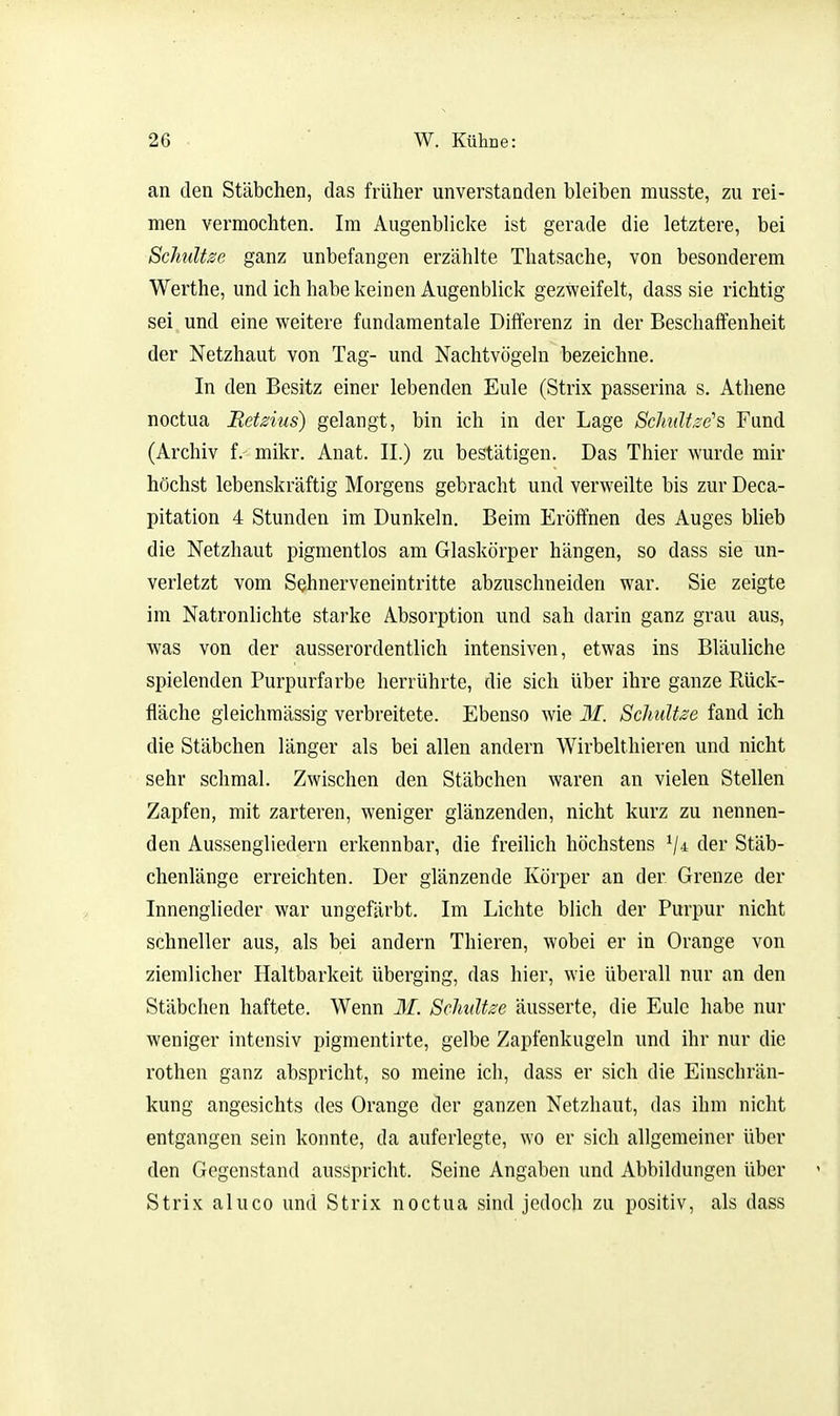 an den Stäbchen, das früher unverstanden bleiben musste, zu rei- men vermochten. Im Augenblicke ist gerade die letztere, bei Sclmltze ganz unbefangen erzählte Thatsache, von besonderem Werthe, und ich habe keinen Augenblick gezweifelt, dass sie richtig sei und eine weitere fundamentale Differenz in der Beschaifenheit der Netzhaut von Tag- und Nachtvögeln bezeichne. In den Besitz einer lebenden Eule (Strix passerina s. Athene noctua Retmis) gelangt, bin ich in der Lage ScJndtse's Fund (Archiv f. mikr. Anat. II.) zu bestätigen. Das Thier wurde mir höchst lebenskräftig Morgens gebracht und verweilte bis zur Deca- pitation 4 Stunden im Dunkeln. Beim Eröffnen des Auges blieb die Netzhaut pigmentlos am Glaskörper hängen, so dass sie un- verletzt vom Sehnerveneintritte abzuschneiden war. Sie zeigte im Natronlichte starke Absorption und sah darin ganz grau aus, was von der ausserordentlich intensiven, etwas ins Bläuliche spielenden Purpurfarbe herrührte, die sich über ihre ganze Rück- fläche gleichmässig verbreitete. Ebenso wie 21. Schiütse fand ich die Stäbchen länger als bei allen andern Wirbelthieren und nicht sehr schmal. Zwischen den Stäbchen waren an vielen Stellen Zapfen, mit zarteren, weniger glänzenden, nicht kurz zu nennen- den Aussengliedern erkennbar, die freilich höchstens der Stäb- chenlänge erreichten. Der glänzende Körper an der Grenze der Innenglieder war ungefärbt. Im Lichte blich der Purpur nicht schneller aus, als bei andern Thieren, wobei er in Orange von ziemlicher Haltbarkeit überging, das hier, wie überall nur an den Stäbchen haftete. Wenn M. Sclmltze äusserte, die Eule habe nur weniger intensiv pigmentirte, gelbe Zapfenkugeln und ihr nur die rothen ganz abspricht, so meine ich, dass er sich die Einschrän- kung angesichts des Orange der ganzen Netzhaut, das ihm nicht entgangen sein konnte, da auferlegte, wo er sich allgemeiner über den Gegenstand ausspricht. Seine Angaben und Abbildungen über ' Strix aluco und Strix noctua sind jedoch zu positiv, als dass