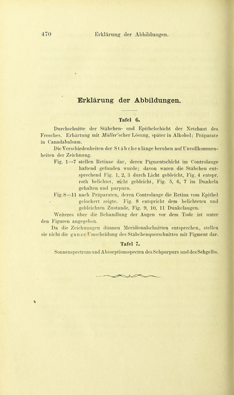 Erklärung der Abbildungen. Tafel 6. Durclischnitte der Stäbchen- und Epithelschicht der Netzhaut des Frosches. Erhärtung mit ilfrtZZer'scher Lösung, später in Alkohol; Präparate in Canadabalsam. Die Verschiedenheiten der Stäb chenlänge beruhen auf Unvollkomnien- heiten der Zeichnung. Fig. 1—7 stellen Retinae dar, deren Pignientschicht im Controlauge haftend gefunden wurde; davon waren die Stäbchen ent- sprechend Fig. 1, 2, 3 durch Licht gebleicht, Fig. 4 entspr. roth belichtet, mcht gebleicht, Fig. 5, 6, 7 im Dimkein gehalten und purpurn. Fig. 8—11 nach Präparaten, deren Controlauge die Retina vom Epithel gelockert zeigte. Fig. 8 entspricht dem belichteten und gebleichten Zustande, Fig. 9, 10, 11 Dunkelangen. Weiteres über die Behandlung der Augen vor dem Tode ist unter den Figuren angegeben. Da die Zeichnungen dünnen Meridionalschnitten entsprechen, stellen sie nicht die ganze T^mscheidung des Stäbchenquerschnittes mit Pigment dar. Tafel 7. Sonnenspectrum und Absorptionsspectra des Sehpiu'purs und des Sehgelbs.