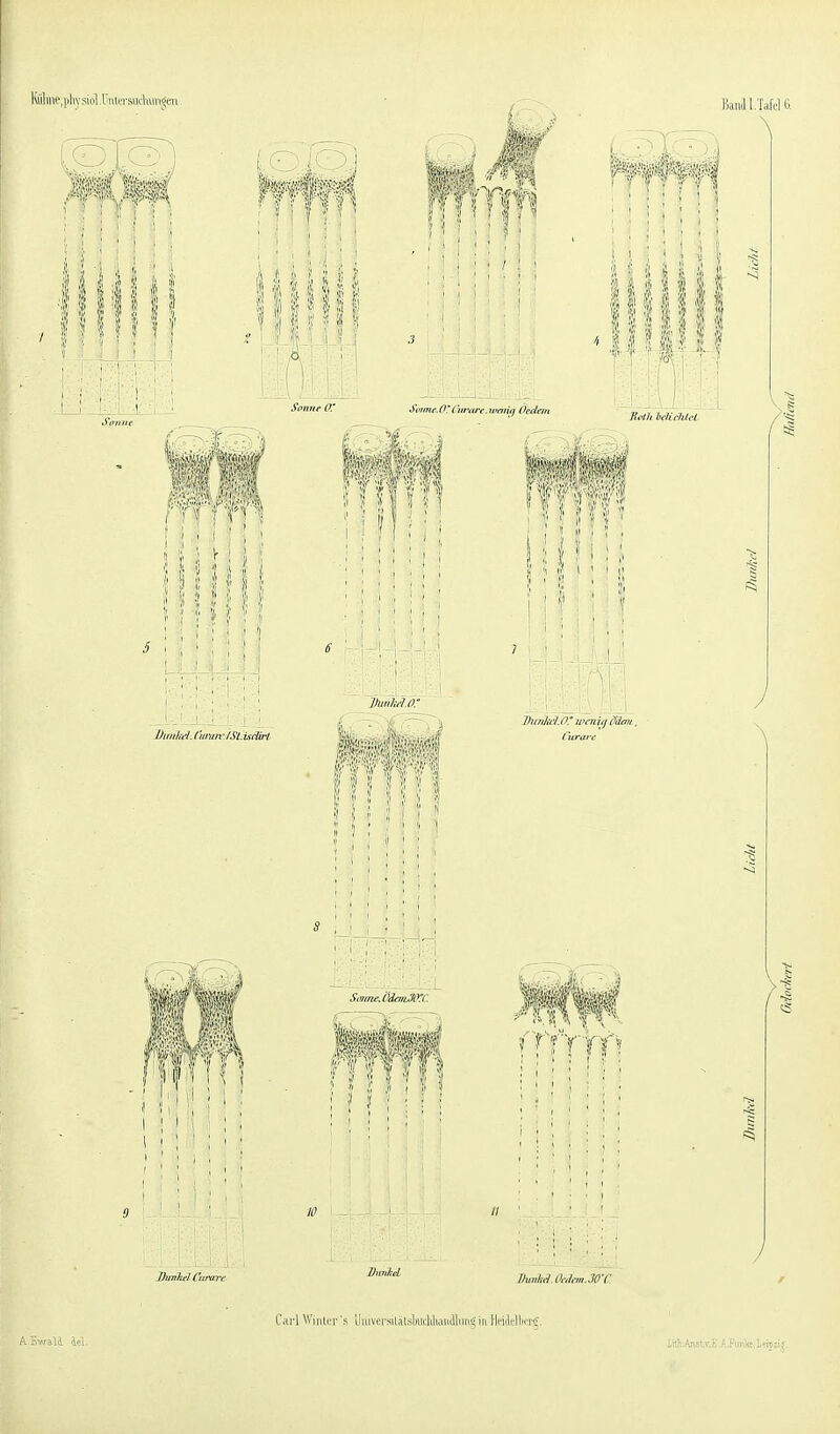 Kiililie,]JivsioLUiiU'rsuckmöen. ^ ^ l I i .1 1 I ' 1 / ; 1 .' ' liaiiill.TaWB. illt H St'ime.O'Cmwe.iunnij Öedein i \ I ! Dimiii'l. {'iimn • /Sl. ticlü't Cia-avc f \\\\ \ 9  I I I \\\\\\ I ! I i' if I I 1 • I V ! { ' ' ! ; Ihmhd.OckmM'C Cai'l Winler's Umvci-silälskuliliainlluii'j iii Hiiiltlbcr^. i:t};.Ajlst.v,E,A.Funl<e,lcijii|.