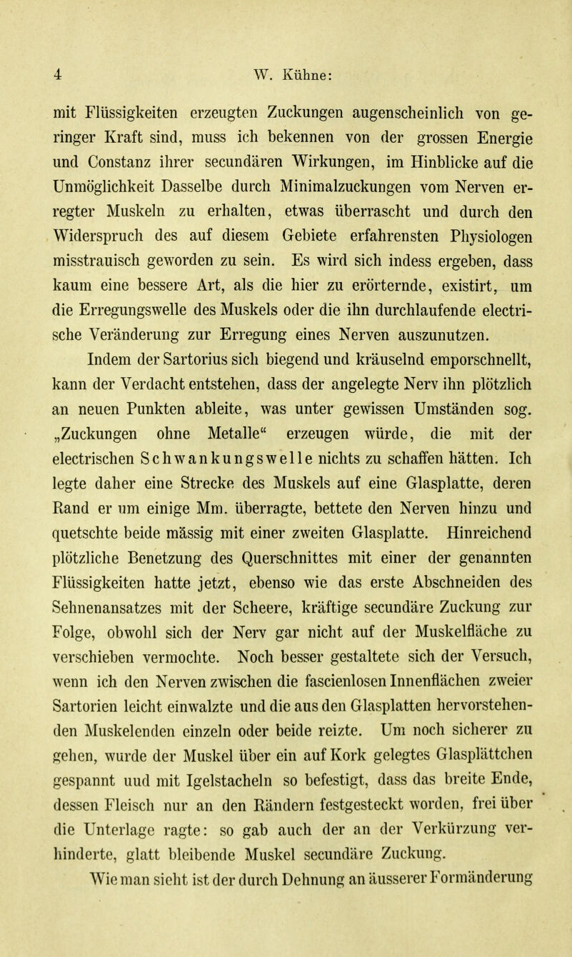 mit Flüssigkeiten erzeugten Zuckungen augenscheinlich von ge- ringer Kraft sind, muss ich bekennen von der grossen Energie und Constanz ihrer secundären Wirkungen, im Hinblicke auf die Unmöglichkeit Dasselbe durch Minimalzuckungen vom Nerven er- regter Muskeln zu erhalten, etwas überrascht und durch den Widerspruch des auf diesem Gebiete erfahrensten Physiologen misstrauisch geworden zu sein. Es wird sich indess ergeben, dass kaum eine bessere Art, als die hier zu erörternde, existirt, um die Erregungswelle des Muskels oder die ihn durchlaufende electri- sche Veränderung zur Erregung eines Nerven auszunutzen. Indem der Sartorius sich biegend und kräuselnd emporschnellt, kann der Verdacht entstehen, dass der angelegte Nerv ihn plötzlich an neuen Punkten ableite, was unter gewissen Umständen sog. „Zuckungen ohne Metalle erzeugen würde, die mit der electrischen Schwankungswelle nichts zu schaffen hätten. Ich legte daher eine Strecke des Muskels auf eine Glasplatte, deren Rand er um einige Mm. überragte, bettete den Nerven hinzu und quetschte beide mässig mit einer zweiten Glasplatte. Hinreichend plötzliche Benetzung des Querschnittes mit einer der genannten Flüssigkeiten hatte jetzt, ebenso wie das erste Abschneiden des Sehnenansatzes mit der Scheere, kräftige secundäre Zuckung zur Folge, obwohl sich der Nerv gar nicht auf der Muskelfläche zu verschieben vermochte. Noch besser gestaltete sich der Versuch, wenn ich den Nerven zwischen die fascienlosen Innenflächen zweier Sartorien leicht einwalzte und die aus den Glasplatten hervorstehen- den Muskelenden einzeln oder beide reizte. Um noch sicherer zu gehen, wurde der Muskel über ein auf Kork gelegtes Glasplättchen gespannt uud mit Igelstacheln so befestigt, dass das breite Ende, dessen Fleisch nur an den Rändern festgesteckt worden, frei über die Unterlage ragte: so gab auch der an der Verkürzung ver- hinderte, glatt bleibende Muskel secundäre Zuckung. Wie man sieht ist der durch Dehnung an äusserer Formänderung