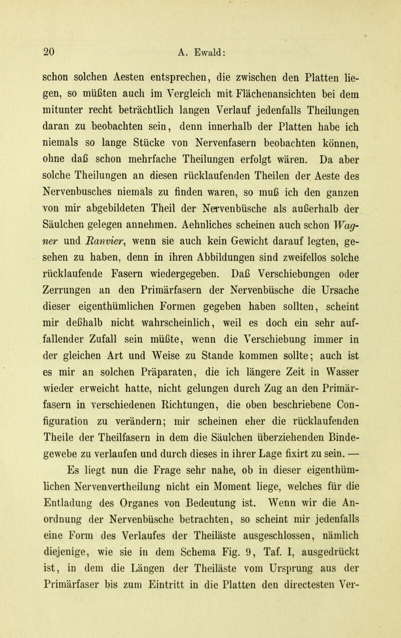 schon solchen Aesten entsprechen, die zwischen den Platten lie- gen, so müßten auch im Vergleich mit Flächenansichten bei dem mitunter recht beträchtlich langen Verlauf jedenfalls Theilungen daran zu beobachten sein, denn innerhalb der Platten habe ich niemals so lange Stücke von Nervenfasern beobachten können, ohne daß schon mehrfache Theilungen erfolgt wären. Da aber solche Theilungen an diesen rücklaufenden Theilen der Aeste des Nervenbusches niemals zu finden waren, so muß ich den ganzen von mir abgebildeten Theil der Nervenbüsche als außerhalb der Säulchen gelegen annehmen. Aehnliches scheinen auch schon Wag- ner und Ranvier^ wenn sie auch kein Gewicht darauf legten, ge- sehen zu haben, denn in ihren Abbildungen sind zweifellos solche rücklaufende Fasern wiedergegeben. Daß Verschiebungen oder Zerrungen an den Primärfasern der Nervenbüsche die Ursache dieser eigenthümlichen Formen gegeben haben sollten, scheint mir deßhalb nicht wahrscheinlich, weil es doch ein sehr auf- fallender Zufall sein müßte, wenn die Verschiebung immer in der gleichen Art und Weise zu Stande kommen sollte; auch ist es mir an solchen Präparaten, die ich längere Zeit in Wasser wieder erweicht hatte, nicht gelungen durch Zug an den Primär- fasern in verschiedenen Richtungen, die oben beschriebene Con- figuration zu verändern; mir scheinen eher die rücklaufenden Theile der Theilfasern in dem die Säulchen überziehenden Binde- gewebe zu verlaufen und durch dieses in ihrer Lage fixirt zu sein. — Es liegt nun die Frage sehr nahe, ob in dieser eigenthüm- lichen Nervenvertheilung nicht ein Moment liege, welches für die Entladung des Organes von Bedeutung ist. Wenn wir die An- ordnung der Nervenbüsche betrachten, so scheint mir jedenfalls eine Form des Verlaufes der Theiläste ausgeschlossen, nämlich diejenige, wie sie in dem Schema Fig. 9, Taf. I, ausgedrückt ist, in dem die Längen der Theiläste vom Ursprung aus der Primärfaser bis zum Eintritt in die Platten den directesten Ver-