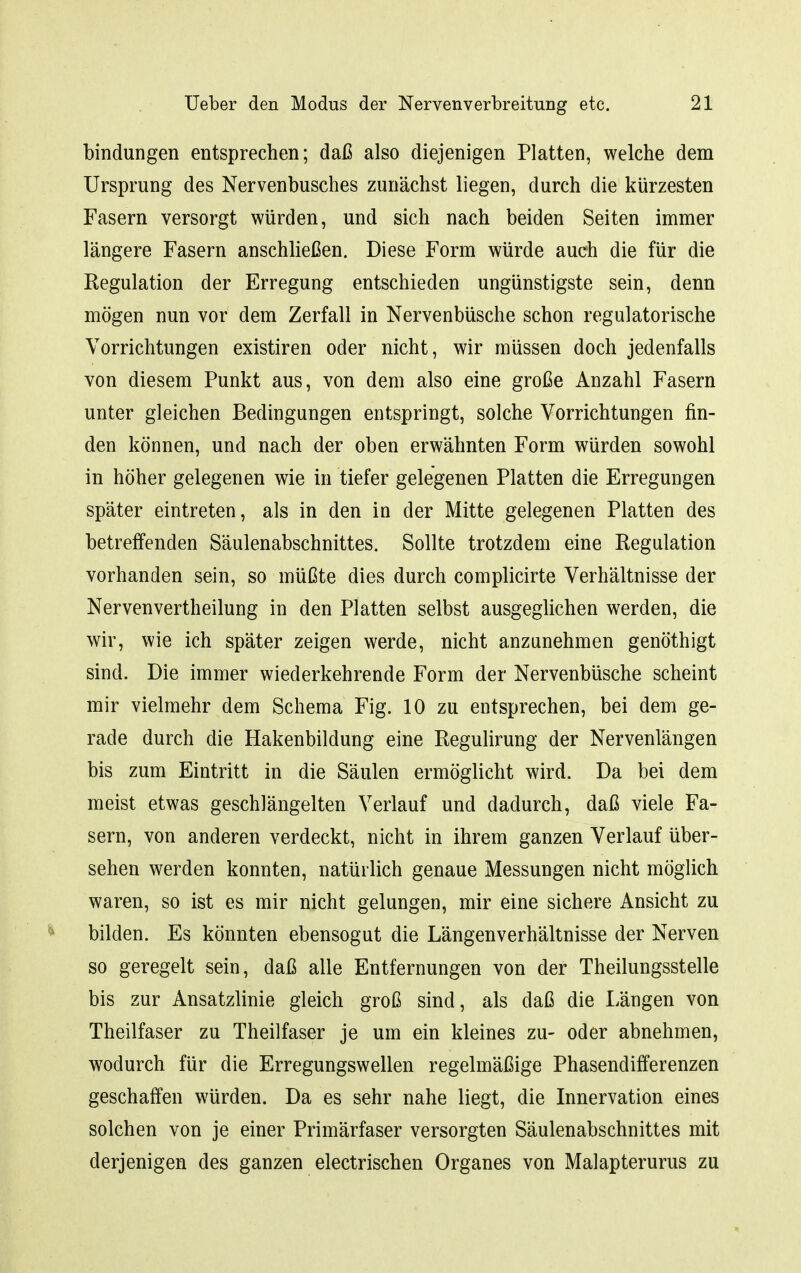 bindungen entsprechen; daß also diejenigen Platten, welche dem Ursprung des Nervenbusches zunächst liegen, durch die kürzesten Fasern versorgt würden, und sich nach beiden Seiten immer längere Fasern anschließen. Diese Form würde auch die für die Regulation der Erregung entschieden ungünstigste sein, denn mögen nun vor dem Zerfall in Nervenbüsche schon regulatorische Vorrichtungen existiren oder nicht, wir müssen doch jedenfalls von diesem Punkt aus, von dem also eine große Anzahl Fasern unter gleichen Bedingungen entspringt, solche Vorrichtungen fin- den können, und nach der oben erwähnten Form würden sowohl in höher gelegenen wie in tiefer gelegenen Platten die Erregungen später eintreten, als in den in der Mitte gelegenen Platten des betreffenden Säulenabschnittes. Sollte trotzdem eine Regulation vorhanden sein, so müßte dies durch complicirte Verhältnisse der Nervenvertheilung in den Platten selbst ausgeglichen werden, die wir, wie ich später zeigen werde, nicht anzunehmen genöthigt sind. Die immer wiederkehrende Form der Nervenbüsche scheint mir vielmehr dem Schema Fig. 10 zu entsprechen, bei dem ge- rade durch die Hakenbildung eine Regulirung der Nervenlängen bis zum Eintritt in die Säulen ermöglicht wird. Da bei dem meist etwas geschlängelten Verlauf und dadurch, daß viele Fa- sern, von anderen verdeckt, nicht in ihrem ganzen Verlauf über- sehen werden konnten, natürlich genaue Messungen nicht möglich waren, so ist es mir nicht gelungen, mir eine sichere Ansicht zu bilden. Es könnten ebensogut die Längenverhältnisse der Nerven so geregelt sein, daß alle Entfernungen von der Theilungsstelle bis zur Ansatzlinie gleich groß sind, als daß die Längen von Theilfaser zu Theilfaser je um ein kleines zu- oder abnehmen, wodurch für die Erregungswellen regelmäßige Phasendifferenzen geschaffen würden. Da es sehr nahe liegt, die Innervation eines solchen von je einer Primärfaser versorgten Säulenabschnittes mit derjenigen des ganzen electrischen Organes von Malapterurus zu