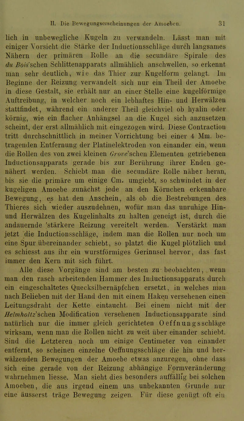 lieh in nnbewegliche Kugeln zu verwandeln. Lässt man mit einiger Vorsicht die Stärke der Iiiductionsschläge durch langsames Nähern der primären Rolle an die seciindäre Spirale des du i?o;Vschen Schlittenapparats allmählich anschwellen, so erkennt man sehr deutlich, wie das Thier zur Kugelform gelangt. Im Beginne der Reizung verwandelt sich nur ein Theil der Amoehe in diese Gestalt, sie erhält nur an einer Stelle eine kugelförmige Auftreibung, in welcher noch ein lebhaftes Hin- und Herwälzen stattfindet, während ein anderer Theil gleichviel ob hyalin oder körnig, wie ein flacher Anhängsel an die Kugel sich anzusetzen scheint, der erst allmählich mit eingezogen wird. Diese Contraction tritt durchschnittlich in meiner Vorrichtung bei einer 4 Mm. be- tragenden Entfernung der Platinelektroden von einander ein, wenn die Rollen des von zwei kleinen 6'rore’schen Elementen getriebenen luductionsapparats gerade bis zur Berührung ihrer Enden ge- nähert werden. Schiebt man die secundäre Rolle näher heran, bis sie die primäre um einige Cm. umgiebt, so schwindet in der kugeligen Amoebe zunächst jede an den Körnchen erkennbare Bewegung, es hat den Anschein, als ob die Bestrebungen des Thieres sich wieder auszudehnen, wofür man das unruhige Hin- und Herwälzeu des Kugelinhalts zu halten geneigt ist, durch die andauernde 'stärkere Reizung vereitelt werden. Verstärkt man jetzt die Inductionsschläge, indem man die Rollen nur noch um eine Spur übereinander schiebt, so platzt die Kugel plötzlich und es schiesst aus ihr ein wurstförmiges Gerinnsel hervor, das fast immer den Kern mit sich führt. Alle diese Vorgänge sind am besten zu-beobachten, wenn man den rasch arbeitenden Hammer des Inductionsapparats durch ein eingeschaltetes Quecksilbernäpfchen ersetzt, in welches nian nach Belieben mit der Hand den mit einem Haken versehenen einen * Leitungsdraht der Kette eintaucht. Bei einem nicht mit der HeImhoUz'^c\\Q\i Modification versehenen Inductionsapparate sind natürlich nur die immer gleich gerichteten 0 effnungs Schläge wirksam, wenn man die Rollen nicht zu weit über einander schiebt. Sind die Letzteren noch um einige Centimeter von einander entfernt, so scheinen einzelne Oeffnungsschläge die hin und her- wälzenden Bewegungen der Amoebe etwas anzuregen, ohne dass sich eine gerade von der Reizung abhängige Formveränderung wahrnehnien Hesse. Man sieht dies besonders auffällig bei solchen Amoeben, die aus irgend einem uns unbekannten Grunde nur eine äusserst träge Bewegung zeigen. Für diese genügt oft ein