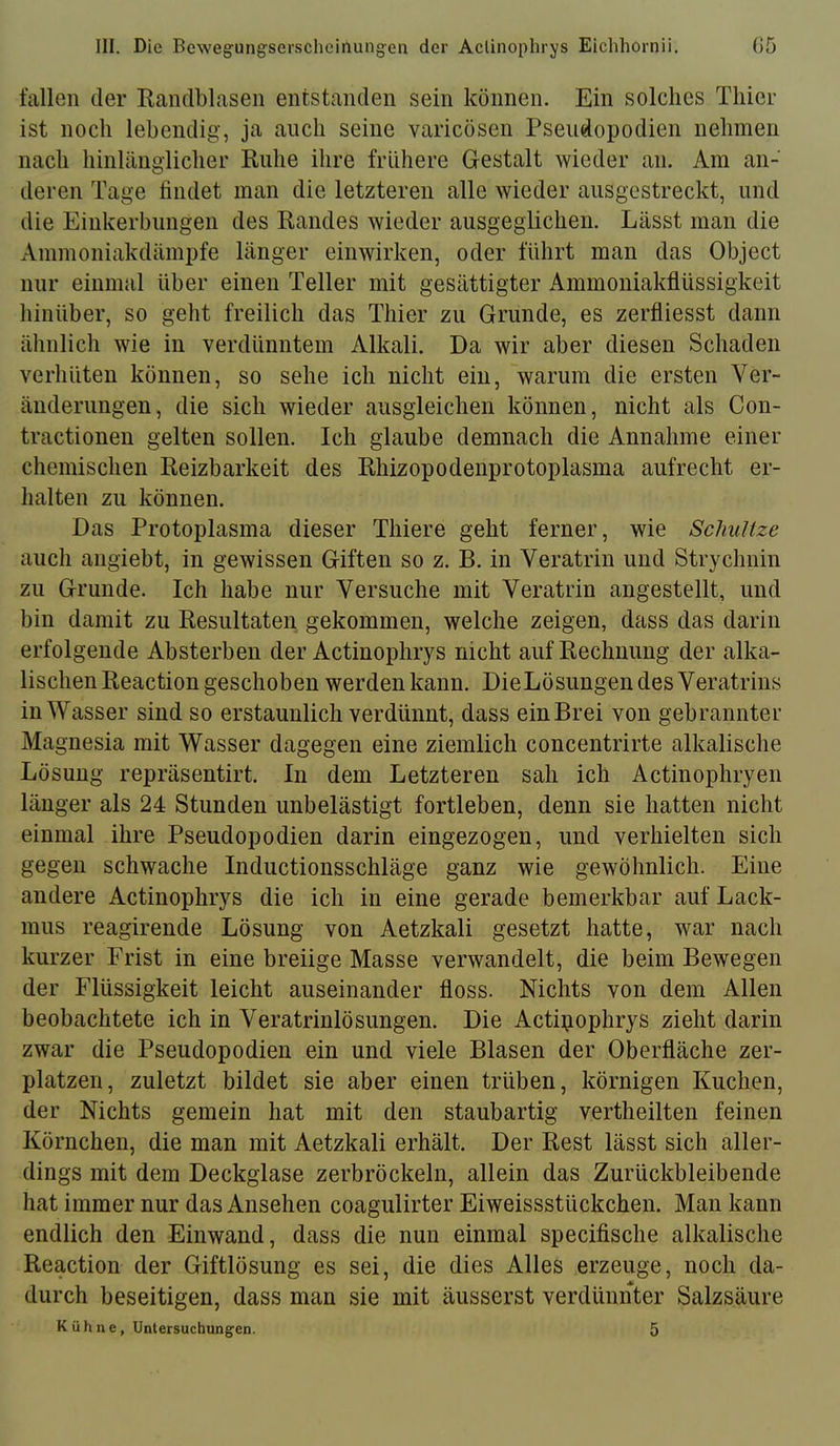 fallen der Randblaseii entstanden sein können. Ein solches Thier ist noch lebendig, ja auch seine varicosen Pseudopodien nehmen nach hinltänglicher Ruhe ihre frühere Gestalt wieder an. Am an- deren Tage findet man die letzteren alle wieder ausgestreckt, und die Einkerbungen des Randes wieder ausgeglichen. Lässt man die Ammoniakdämpfe länger einwirken, oder führt man das Object nur einmal über einen Teller mit gesättigter Ammoniakflüssigkeit hinüber, so geht freilich das Thier zu Grunde, es zerfliesst dann ähnlich wie in verdünntem Alkali. Da wir aber diesen Schaden verhüten können, so sehe ich nicht ein, warum die ersten Ver- änderungen, die sich wieder ausgleichen können, nicht als Con- tractionen gelten sollen. Ich glaube demnach die Annahme einer chemischen Reizbarkeit des Rhizopodenprotoplasma aufrecht er- halten zu können. Das Protoplasma dieser Thiere geht ferner, wie SchuUze auch angiebt, in gewissen Giften so z. B. in Veratrin und Strychnin zu Grunde. Ich habe nur Versuche mit Veratrin angestellt, und bin damit zu Resultaten gekommen, welche zeigen, dass das darin erfolgende Absterben der Actinophrys nicht auf Rechnung der alka- lischen Reaction geschoben werden kann. DieLösungendesVeratrins in Wasser sind so erstaunlich verdünnt, dass ein Brei von gebrannter Magnesia mit Wasser dagegen eine ziemlich concentrirte alkalische Lösung repräsentirt. In dem Letzteren sah ich Actinophryen länger als 24 Stunden unbelästigt fortleben, denn sie hatten nicht einmal ihre Pseudopodien darin eingezogen, und verhielten sich gegen schwache Inductionsschläge ganz wie gewöhnlich. Eine andere Actinophrys die ich in eine gerade bemerkbar auf Lack- mus reagirende Lösung von Aetzkali gesetzt hatte, war nach kurzer Frist in eine breiige Masse verwandelt, die beim Bewegen der Flüssigkeit leicht auseinander floss. Nichts von dem Allen beobachtete ich in Veratrinlösungen. Die Actipophrys zieht darin zwar die Pseudopodien ein und viele Blasen der Oberfläche zer- platzen, zuletzt bildet sie aber einen trüben, körnigen Kuchen, der Nichts gemein hat mit den staubartig vertheilten feinen Körnchen, die man mit Aetzkali erhält. Der Rest lässt sich aller- dings mit dem Deckglase zerbröckeln, allein das Zurückbleibende hat immer nur das Ansehen coagulirter Eiweissstückchen. Man kann endlich den Einwand, dass die nun einmal specifische alkalische Reaction der Giftlösung es sei, die dies Alles erzeuge, noch da- durch beseitigen, dass man sie mit äusserst verdünnter Salzsäure