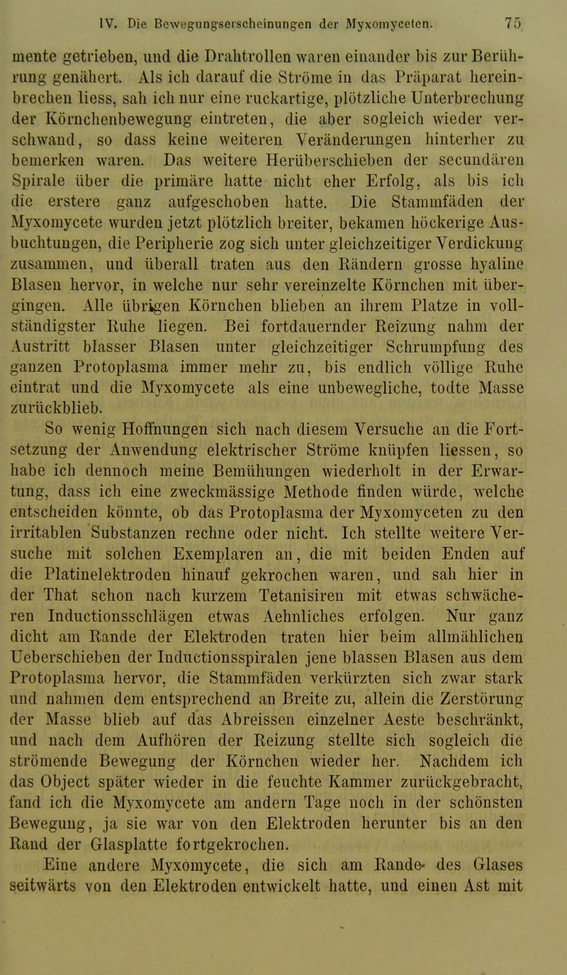 mente getrieben, und die Drahtrollen waren einander bis zur Berüh- rung genähert. Als ich darauf die Ströme in das Präparat herein- brechen Hess, sah ich nur eine ruckartige, plötzliche Unterbrechung der Körnchenbewegung eintreten, die aber sogleich wieder ver- schwand, so dass keine weiteren Veränderungen hinterher zu bemerken waren. Das weitere Herüberschieben der secuiidären Spirale über die primäre hatte nicht eher Erfolg, als bis ich die erstere ganz aufgeschoben hatte. Die Stammfäden der Myxomycete wurden jetzt plötzlich breiter, bekamen höckerige Aus- buchtungen, die Peripherie zog sich unter gleichzeitiger Verdickung zusammen, und überall traten aus den Rändern grosse hyaline Blasen hervor, in welche nur sehr vereinzelte Körnchen mit über- gingen. Alle übrigen Körnchen blieben an ihrem Platze in voll- ständigster Ruhe liegen. Bei fortdauernder Reizung nahm der Austritt blasser Blasen unter gleichzeitiger Schrumpfung des ganzen Protoplasma immer mehr zu, bis endlich völlige Ruhe eintrat und die Myxomycete als eine unbewegliche, todte Masse zurückblieb. So wenig Hoffnungen sich nach diesem Versuche an die Fort- setzung der Anwendung elektrischer Ströme knüpfen Hessen, so habe ich dennoch meine Bemühungen wiederholt in der Erwar- tung, dass ich eine zweckmässige Methode finden würde, welche entscheiden könnte, ob das Protoplasma der Myxomyceten zu den irritablen Substanzen rechne oder nicht. Ich stellte weitere Ver- suche mit solchen Exemplaren an, die mit beiden Enden auf die Platinelektroden hinauf gekrochen waren, und sah hier in der That schon nach kurzem Tetanisiren mit etwas schwäche- ren Inductionsschlägen etwas Aehnliches erfolgen. Nur ganz dicht am Rande der Elektroden traten hier beim allmählichen Ueberschieben der Inductionsspiralen jene blassen Blasen aus dem Protoplasma hervor, die Stammfäden verkürzten sich zwar stark und nahmen dem entsprechend an Breite zu, allein die Zerstörung der Masse blieb auf das Abreissen einzelner Aeste beschränkt, und nach dem Aufhören der Reizung stellte sich sogleich die strömende Bewegung der Körnchen wieder her. Nachdem ich das Object später wieder in die feuchte Kammer zurückgebracht, fand ich die Myxomycete am andern Tage noch in der schönsten Bewegung, ja sie war von den Elektroden herunter bis an den Rand der Glasplatte fortgekrochen. Eine andere Myxomycete, die sich am Rande^ des Glases seitwärts von den Elektroden entwickelt hatte, und einen Ast mit