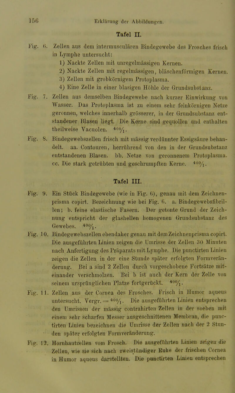 Tafel II. (>. Zellen aus dem intermusculären Bindegewebe des Frosches frisch in Lymphe untersucht: 1) Nackte Zellen mit unregelmässigen Kernen. 2) Nackte Zellen mit regelmässigen, bläschenförmigen Kernen. 3) Zellen mit grobkörnigem Protoplasma. 4) Eine Zelle in einer blasigen Höhle der Grundsubstanz. 7. Zellen aus demselben Bindegewebe nach kurzer Einwirkung von Wasser. Das Protoplasma ist zu einem sehr feinkörnigen Netze geronnen, welches innerhalb grösserer, in der Grundsubstanz ent- standener Blasen liegt. Die Kerne sind gecpiollen und enthalten theilweise Vacuolen. 8. Bindegewebszellen frisch mit mässig verdünnter Essigsäure behan- delt. aa. Contouren, herrührend von den in der Gruudsubstanz entstandenen Blasen, bb. Netze von geronnenem Protoplasma, cc. Die stark getrübten und geschrumpften Kerne, Tafel III. 9. Ein Stück Bindegewebe (wie in Fig. 6), genau mit dem Zeichnen- prisma copirt. Bezeichnung wie bei Fig. 0. a. Bindegewebsfibril- len; b. feine elastische Fasern. Der getonte Grund der Zeich- nung entspricht der glashellen homogenen Grundsubstanz des Gewebes. 10. Bindegewebszellen ebendaher genau mit dem Zeichneuprisma copirt. Die ausgeführten Linien zeigen die Umrisse der Zellen 30 Minuten nach Anfertigung des Präparats mit Lymphe. Die punctirten Linien zeigen die Zellen in der eine Stunde später erfolgten Formverän- derung. Bei a sind 2 Zellen durch vorgeschobene Fortsätze mit- einander verschmolzen. Bei b ist auch der Kern der Zelle von seinem ursprünglichen Platze fortgerückt. 11. Zellen aus der Cornea des Frosches. Frisch in Humor aqueus untersucht. Vergr. = ^oo/^. Die ausgeführten Linien entsprechen den Umrissen der mässig contrahirten Zellen in der soeben mit einem sehr scharfen Messer ausgeschnittenen Membran, die punc- tirten Linien bezeichnen die Umrisse der Zellen nach der 2 Stun- den später erfolgten Formveränderung. 12. Hornhautzellen vom Frosch. Die ausgeführten Linien zeigen die Zellen, wie sie sich nach zweistündiger Ruhe der frischen Cornea in Humor aqueus darstellten. Die punctirten Linien entsprechen