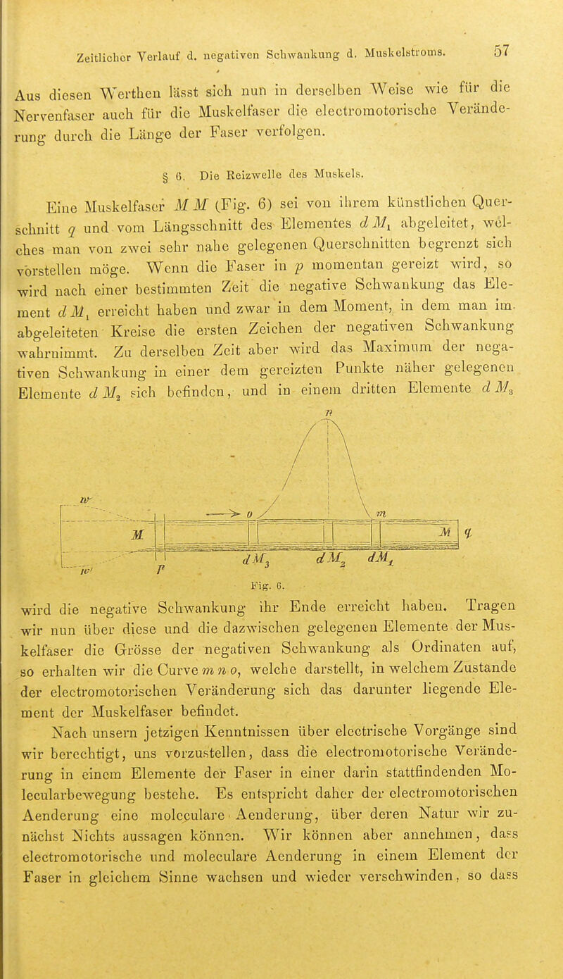 Aus diesen Werthen lässt sich nun in derselben Weise wie für die Nervenfaser auch für die Muskelfaser die electromotorische Verände- rung durch die Länge der Faser verfolgen. § 6. Die Reizwelle des Muskels. Eine Muskelfaser M M (Fig. 6) sei von ihrem künstlichen Quer- schnitt q und. vom Längsschnitt des Elementes d M, abgeleitet, wel- ches man von zwei sehr nahe gelegenen Querschnitten begrenzt sich vorstellen möge. Wenn die Faser in p momentan gereizt wird, so wird nach einer bestimmten Zeit die negative Schwankung das Ele- ment dM, erreicht haben und zwar in dem Moment, in dem man im. abgeleiteten Kreise die ersten Zeichen der negativen Schwankung wahrnimmt. Zu derselben Zeit aber wird das Maximum der nega- tiven Schwankung in einer dem gereizten Punkte näher gelegenen Elemente d sich befinden, und in einem dritten Elemente dM, 1 -—> oy ' \ m M Fiff. 6. wird die negative Schwankung ihr Ende erreicht haben. Tragen wir nun über diese und die dazwischen gelegenen Elemente der Mus- kelfaser die Grösse der negativen Schwankung als Ordinaten auf, so erhalten wir dieCurvemwo, welche darstellt, in welchem Zustande der electromotorischen Veränderung sich das darunter liegende Ele- ment der Muskelfaser befindet. Nach unsern jetzigen Kenntnissen über electrische Vorgänge sind wir berechtigt, uns vorzustellen, dass die electromotorische Verände- rung in einem Elemente der Faser in einer darin stattfindenden Mo- lecularbewegung bestehe. Es entspricht daher der electromotorischen Aenderung eine raoleculare Aenderung, über deren Natur wir zu- nächst Nichts aussagen können. Wir können aber annehmen, dass electromotorische und moleculare Aenderung in einem Element der Faser in gleichem Sinne wachsen und wieder verschwinden, so dass