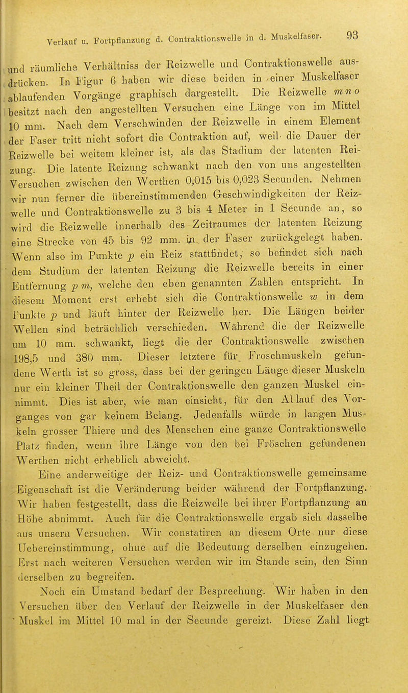 und räumliche Verluältniss der Reizwclle und Contraktionswelle aus- drücken. In i'igur 6 haben wir diese beiden in ^ einer Muskelfaser ablaufenden Vorgänge graphisch dargestellt. Die Reizwelle mno besitzt nach den angestellten Versuchen eine Länge von im Mittel 10 mm. Nach dem Verschwinden der Reizwelle in einem Element der Faser tritt nicht sofort die Contraktion auf, weih die Dauer der Reizwelle bei weitem kleiner ist, als das Stadium der latenten Rei- zung. Die latente Reizung schwankt nach den von uns angestellten Versuchen zwischen den Werthen 0,015 bis 0,023 Secunden. Nehmen wir nun ferner die übereinstimmenden Geschwindigkeiten der Reiz- welle und Contraktionswelle zu 3 bis 4 Meter in 1 Secunde an, so wird die Reizwelle innerhalb des Zeitraumes der latenten Reizung eine Strecke von 45 bis 92 mm. iji. der Faser zurückgelegt haben. Wenn also im Punkte p ein Reiz stattfindet, so befindet sich nach • dem Studium der latenten Reizung die Reizwelle bereits in einer Eutfernung p m, welche den eben genannten Zahlen entspricht. In diesem Moment erst erbebt sich die Contraktionswelle w in dem Tunkte ^ und läuft hinter der Reizwelle her. Die Längen beider Wellen sind beträchlich verschieden. Während die der Reizwelle um 10 mm. schwankt, Hegt die der Contraktionswelle zwischen 198,5 und 380 mm. Dieser letztere für_ Froschmuskeln gefun- dene Werth ist so gross, dass bei der geringen Lauge dieser Muskeln nur ein kleiner Theil der Contraktionswelle den ganzen Muskel ein- nimmt. Dies ist aber, wie man einsieht, für den Allauf des Vor- ganges von gar keinem Belang. Jedenfalls würde in langen Mus- keln grosser Thiere und des Menschen eine ganze Contraktionswelle Platz finden, wenn ihre Länge von den bei Fröschen gefundenen Werthen nicht erheblich abweicht. Eine anderweitige der Reiz- und Contraktionswelle gemeinsame Eigenschaft ist die Veränderung beider während der Fortpflanzung. • Wir haben festgestellt, dass die Reizwclle bei ihrer Fortpflanzung an Höhe abnimmt. Auch für die Contraktionswelle ergab sich dasselbe aus unscrn Versuchen. Wir constatiren an diesem Orte nur diese Uebereinstimmung, ohne auf die Bedeutung derselben einzugehen. Erst nach weiteren Versuchen werden wir im Stande sein, den Sinn derselben zu begreifen. Noch ein Umstand bedai-f der Besprechung. Wir haben in den Versuchen über den Verlauf der Reizwclle in der Muskelfaser den ' Muskel im Mittel 10 mal in der Secunde gereizt. Diese Zahl liegt