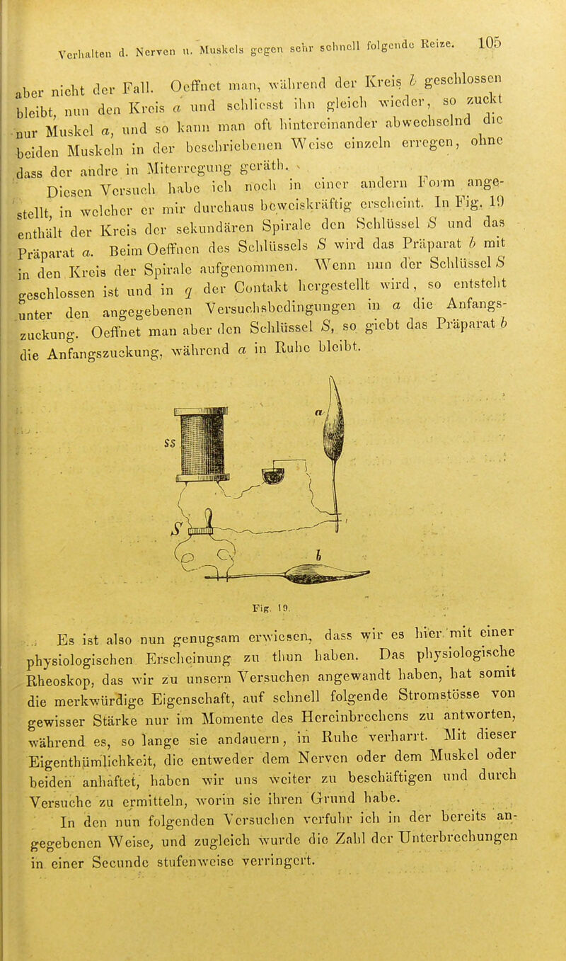 aber nicht der Fall. Oeffnet man, ^välu•encl der Kreis h geschlossen bleibt, nun den Kreis a und schlichst ihn gleich ^vieder so zuckt -nur Muskel a, und so kann man oft hintereinander abwechselnd die •beiden Muskeln in der beschriebenen Weise einzeln erregen, ohne dass der andre in Miterregung gcräth. . Diesen Versuch habe ich noch in einer andern l^o)m ange- 'stellt in welcher er mir durchaus beweiskräftig erscheint. In Fig. 1'.) enthUlt der Kreis der sekundären Spirale den Schlüssel 8 und das Präparat a. Beim Oeflfnen des Schlüssels S wird das Präparat h mit in den Kreis der Spirale aufgenommen. Wenn nun der Schlüssel S geschlossen ist und in q der Contakt hergestellt wird, so entsteht unter den angegebenen Versuchsbedingungen in a die Anfangs- ' Zuckung. Oeffnet man aber den Schlüssel S, so gicbt das Präparat h die Anfangszuckung, während a in Ruhe bleibt. Fig. 19. Es ist also nun genugsam erwiesen, dass wir es hier mit cmer physiologischen Erscheinung zu thun haben. Das physiologische Rheoskop, das wir zu unscrn Versuchen angewandt haben, hat somit die merkwürdige Eigenschaft, auf schnell folgende Stromstösse von gewisser Stärke nur im Momente des Hcreinbrechens zu antworten, während es, so lange sie andauern, in Ruhe verharrt. Mit dieser Eigenthymlichkeit, die entweder dem Nerven oder dem Muskel oder beiden anhaftet, haben wir uns weiter zu beschäftigen und durch Versuche zu ermitteln, worin sie ihren Grund habe. In den nun folgenden Versuchen verfuhr ich in der bereits an- gegebenen Weise, und zugleich wurde die Zahl der Unterbrechungen in einer Secundc stufenweise verringert.