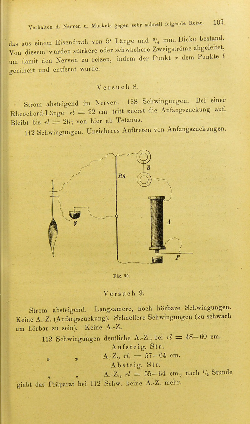 das aus einem Eisendrath von 5' Länge und V. mm. Dicke bestand. Von diesem Nvurden stärkere oder sch^^'äcbere Zweigströme abgeleitet um damit den Nerven zu reizen, indem der Punkt r dem Punkte i genähert und entfernt wurde. Versuch 8. Strom absteigend im Nerven. 138 Schwingungen. Bei einer Rheochord-Länge rl = 22 cm. tritt zuerst die Anfangszuckung auf. Bleibt bis rl = 26; von hier ab Tetanus. 112 Schwingungen. Unsicheres Auftreten von Anfangszuckungen. ¥ig. 20. Versuch 9. Strom absteigend. Langsamere, noch hörbare Schwingungen. Keine A.-Z. (Anfangszuckung). Schnellere Schwingungen (zu schwach um hörbar zu sein). Keine A.-Z. 112 Schwingungen deutliche A.-Z., bei rl = 4g5—60 cm. Aufsteig. Str. A.-Z., rl. = 57—64 cm. Absteig. Str. A.-Z., rl = 55—04 cm., nach V» Stunde