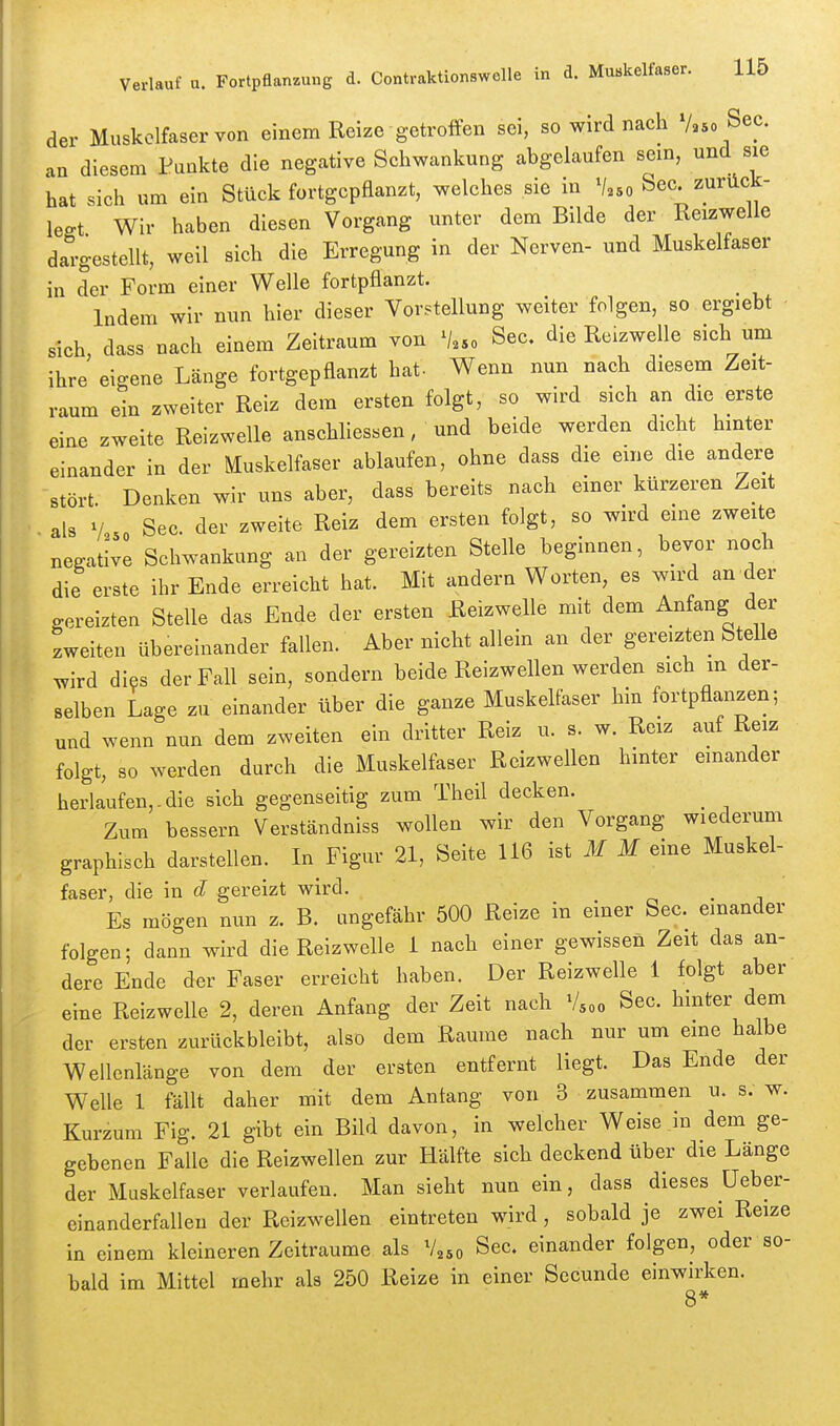 der Muskelfaser von einem Reize getroffen sei, so wird nach V»o See. an diesem Punkte die negative Schwankung abgelaufen sein, und sie hat sich um ein Stück fortgepflanzt, welches sie in V.so See zuriick- legt Wir haben diesen Vorgang unter dem Bilde der Reizwelle dargestellt, weil sich die Erregung in der Nerven- und Muskelfaser in der Form einer Welle fortpflanzt. ^ ' Indem wir mm hier dieser Vorstellung weiter folgen, so ergiebt sich, dass nach einem Zeitraum von See. die Reizwelle sich um ihre eigene Länge fortgepflanzt hat- Wenn nun nach diesem Zeit- raum ein zweiter Reiz dem ersten folgt, so wird sich an die erste eine zweite Reizwelle anschliessen, und beide werden dicht hinter einander in der Muskelfaser ablaufen, ohne dass die eme die andere stört. Denken wir uns aber, dass bereits nach einer kürzeren Zeit als V so See. der zweite Reiz dem ersten folgt, so wird eme zweite negative Schwankung an der gereizten Stelle beginnen, bevor noch die erste ihr Ende erreicht hat. Mit andern Worten, es wird an der gereizten Stelle das Ende der ersten Reizwelle mit dem Anfang der zweiten übereinander fallen. Aber nicht allein an der gereizten Stelle wird dies der Fall sein, sondern beide Reizwellen werden sich m der- selben Lage zu einander über die ganze Muskelfaser hin fortpflanzen; und wenn nun dem zweiten ein dritter Reiz u. s. w. Reiz auf Reiz folgt, so werden durch die Muskelfaser Reizwellen hinter einander herlaufen,.die sich gegenseitig zum Theil decken. _ Zum bessern Verständniss wollen wir den Vorgang wiederum graphisch darstellen. In Figur 21, Seite 116 ist M M eine Muskel- faser, die in d gereizt wird. _ Es mögen nun z. B. ungefähr 500 Reize in einer See. einander folgen; dann wird die Reizwelle 1 nach einer gewissen Zeit das an- dere Ende der Faser erreicht haben. Der Reizwelle 1 folgt aber eine Reizwelle 2, deren Anfang der Zeit nach V500 See. hmter dem der ersten zurückbleibt, also dem Räume nach nur um eme halbe Wellenlänge von dem der ersten entfernt liegt. Das Ende der Welle 1 fällt daher mit dem Antang von 3 zusammen u. s. w. Kurzum Fig. 21 gibt ein Bild davon, in welcher Weise in dem ge- gebenen Falle die Reizwellen zur Hälfte sich deckend über die Länge der Muskelfaser verlaufen. Man sieht nun ein, dass dieses üeber- einanderfallen der Reizwellen eintreten wird, sobald je zwei Reize in einem kleineren Zeiträume als V^so See. einander folgen, oder so- bald im Mittel mehr als 250 Reize in einer Secunde einwirken. 8*