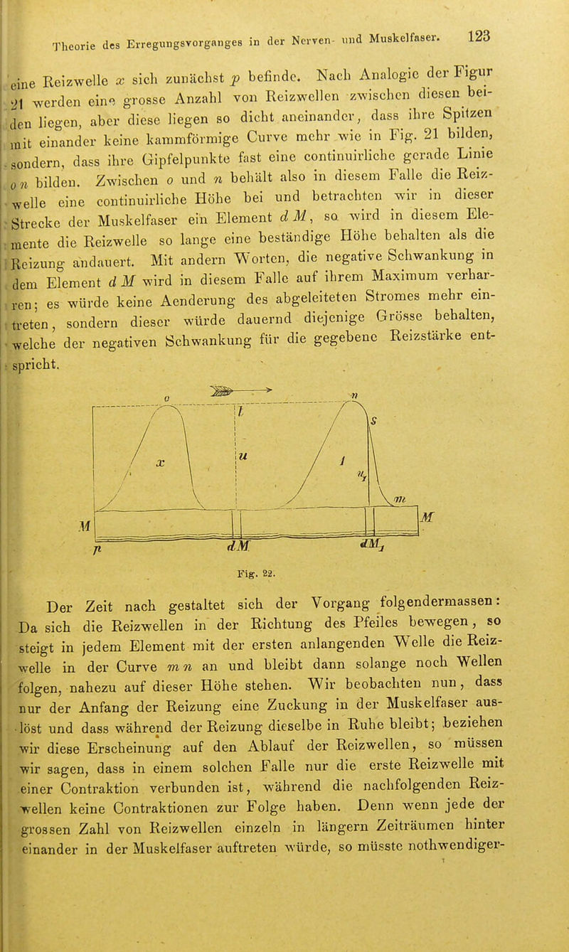 'eine Reizwelle x sich zunächst p befinde. Nach Analogie der Figur 21 werden eine grosse Anzahl von Reizwellen zwischen diesen bei- den liegen, aber diese liegen so dicht aneinander, dass ihre Spitzen mit einander keine kanimförmige Curve mehr wie in Fig. 21 bilden, . sondern, dass ihre Gipfelpunkte fast eine continuirliche gerade Linie \on bilden. Zwischen o und n behält also in diesem Falle die Reiz- . welle eine continuirliche Höhe bei und betrachten wir in dieser ' Strecke der Muskelfaser ein Element d M, so wird in diesem Ele- .. mente die Reizwelle so lange eine beständige Plöhe behalten als die i Reizung andauert. Mit andern Worten, die negative Schwankung in dem Element rf if wird in diesem Falle auf ihrem Maximum verhar- ,ren- es würde keine Aenderung des abgeleiteten Stromes mehr ein- treten, sondern dieser würde dauernd diejenige Grösse behalten, vwelche der negativen Schwankung für die gegebene Reizstärke ent- • spricht. Der Zeit nach gestaltet sich der Vorgang folgendermassen: Da sich die Reizwellen in der Richtung des Pfeiles bewegen, so steigt in jedem Element mit der ersten anlangenden Welle die Reiz- welle in der Curve mn und bleibt dann solange noch Wellen folgen, nahezu auf dieser Höhe stehen. Wir beobachten nun, dass nur der Anfang der Reizung eine Zuckung in der Muskelfaser aus- löst und dass während der Reizung dieselbe in Ruhe bleibt; beziehen wir diese Erscheinung auf den Ablauf der Reizwellen, so müssen wir sagen, dass in einem solchen Falle nur die erste Reizwelle mit einer Contraktion verbunden ist, während die nachfolgenden Reiz- wellen keine Contraktionen zur Folge haben. Denn wenn jede der grossen Zahl von Reizwellcn einzeln in längern Zeiträumen hinter einander in der Muskelfaser auftreten würde, so müsste nothwendiger-