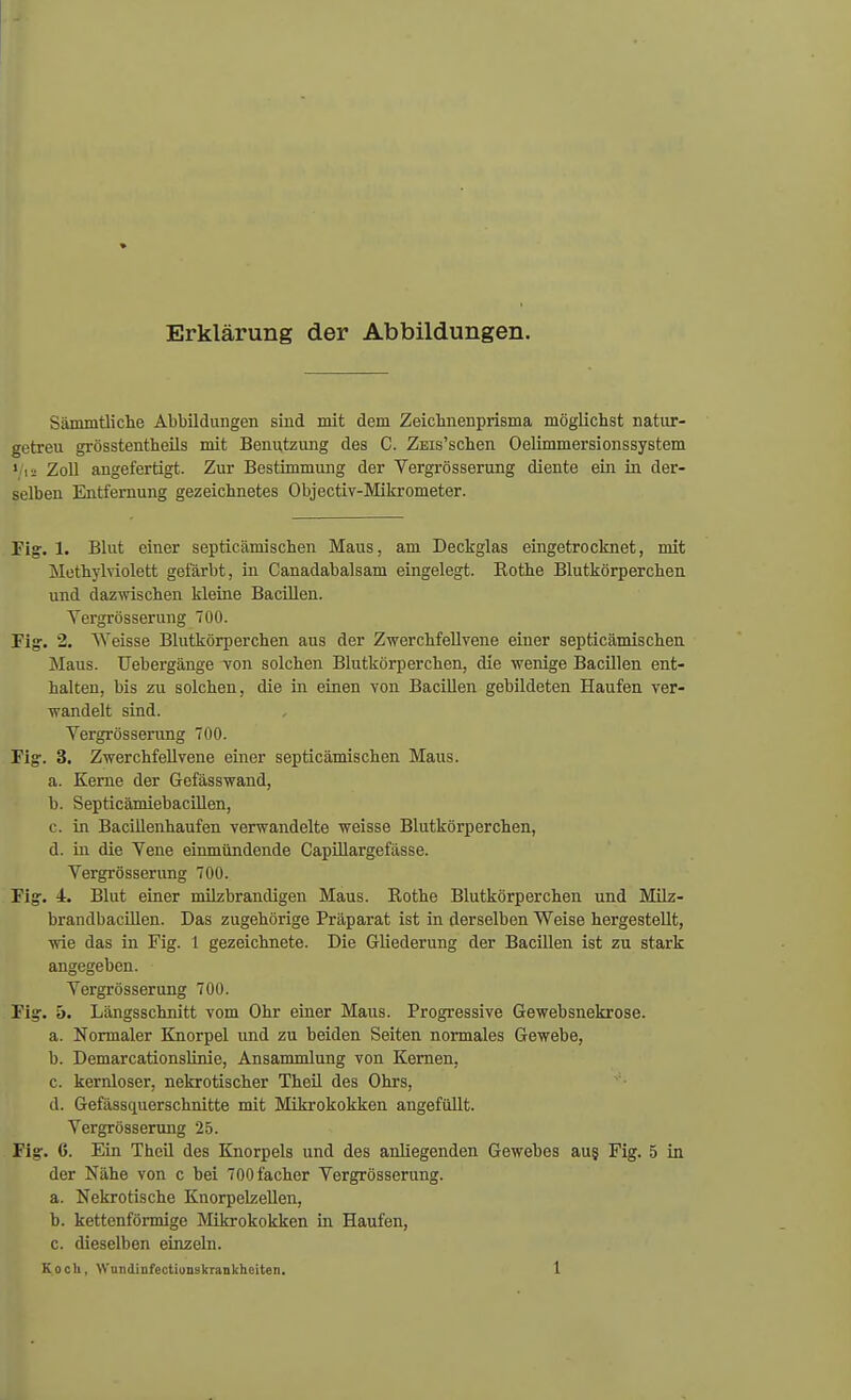 Erklärung der Abbildungen. Sämmtliche Abbildungen sind mit dem Zeichnenprisma möglichst natur- getreu grösstentheils mit Benutzung des C. ZEis'schen Oelimmersionssystem Wis Zoll angefertigt. Zur Bestimmung der Vergrösserung diente ein in der- selben Entfernung gezeichnetes Objectiv-Mikrometer. Fig. 1. Blut einer septicämisehen Maus, am Deckglas eingetrocknet, mit Methylviolett gefärbt, in Canadabalsam eingelegt. Kothe Blutkörperchen und dazwischen kleine Bacillen. Yergrösserung 700. Fig. 2. Weisse Blutkörperchen aus der Zwerchfellvene einer septieämischen Maus. Uebergänge von solchen Blutkörperchen, die wenige Bacillen ent- halten, bis zu solchen, die in einen von Bacillen gebildeten Haufen ver- wandelt sind. Vergrösserung 700. Fig. 3. Zwerchfellvene einer septieämischen Maus. a. Kerne der Gefässwand, b. Septicämiebacillen, c. in Baciilenhaufen verwandelte weisse Blutkörperchen, d. in die Vene einmündende Capillargefässe. Vergrösserung 700. Fig-. 4. Blut einer milzbrandigen Maus. Kothe Blutkörperchen und Milz- brandbacillen. Das zugehörige Präparat ist in derselben Weise hergestellt, wie das in Fig. 1 gezeichnete. Die Gliederung der Bacillen ist zu stark angegeben. Vergrösserung 700. Fig. ä. Längsschnitt vom Ohr einer Maus. Progressive Gewebsnekrose. a. Normaler Knorpel und zu beiden Seiten normales Gewebe, b. Demarcationslinie, Ansammlung von Kernen, c. kernloser, nekrotischer Theil des Ohrs, d. Gefässquerschnitte mit Mikrokokken angefüllt. Vergrösserung 25. Fig. 6. Ein Theil des Knorpels und des anliegenden Gewebes aus Fig. 5 in der Nähe von c bei 700facher Vergrösserung. a. Nekrotische Knorpelzellen, b. kettenförmige Mikrokokken in Haufen, c. dieselben einzeln.