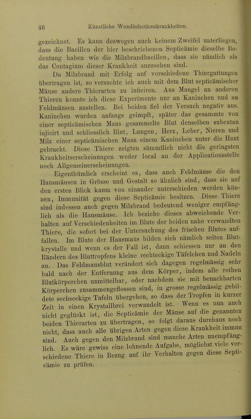 gezeichnet. Es kann deswegen auch keinem Zweifel unterliegen, class die Bacillen der hier beschriebenen Septicämie dieselbe Be- deutung haben wie die Milzbrandbacillen, dass sie nämlich als das Contagium dieser Krankheit anzusehen sind. Da Milzbrand mit Erfolg auf verschiedene Thiergattungen übertragen ist, so versuchte ich auch mit dem Blut septicämischer Mäuse andere Thierarten zu inficiren. Aus Mangel an anderen Thieren konnte ich diese Experimente nur an Kaninchen und an Feldmäusen anstellen. Bei beiden fiel der Versuch negativ aus. Kaninchen wurden anfangs geimpft, später das gesammte von einer septicämischen Maus gesammelte Blut denselben subcutan injicirt und schliesslich Blut, Lungen, Herz, Leber, Nieren und Milz einer septicämischen Maus einem Kaninchen unter die Haut gebracht. Diese Thiere zeigten sämmtlich nicht die geringsten Krankheitserscheinungen weder local an der Applicationsstelle noch Allgemeinerscheinungen. Eigentümlich erscheint es, dass auch Feldmäuse die den Hausmäusen in Grösse und Gestalt so ähnlich sind, dass sie auf den ersten Blick kaum von einander unterschieden werden kön- nen, Immunität gegen diese Septicämie besitzen. Diese Thiere sind indessen auch gegen Milzbrand bedeutend weniger empfäng- lich als die Hausmäuse. Ich beziehe dieses abweichende Ver- halten auf Verschiedenheiten im Blute der beiden nahe verwandten Thiere, die sofort bei der Untersuchung des frischen Blutes auf- fallen. Im Blute der Hausmaus bilden sich nämlich selten Blut- krystalle und wenn es der Fall ist, dann schiessen nur an den Rändern des Bluttropfens kleine rechteckige Täfelchen und Nadeln an. Das Feldmausblut verändert sich dagegen regelmässig sehr bald nach der Entfernung aus dem Körper, indem alle rothen Blutkörperchen unmittelbar, oder nachdem sie mit benachbarten Körperchen zusammengeflossen sind, in grosse regelmässig gebil- dete sechseckige Tafeln übergehen, so dass der Tropfen in kurzer Zeit in einen Krystallbrei verwandelt ist. Wenn es nun auch nicht geglückt ist, die Septicämie der Mäuse auf die genannten beiden Thierarten zu übertragen, so folgt daraus durchaus noch nicht, dass auch alle übrigen Arten gegen diese Krankheit immun sind Auch gegen den Milzbrand sind manche Arten unempfäng- lich. Es wäre gewiss eine lohnende Aufgabe, möglichst viele ver- schiedene Thiere in Bezug auf ihr Verhalten gegen diese Sepü- cämie zu prüfen.