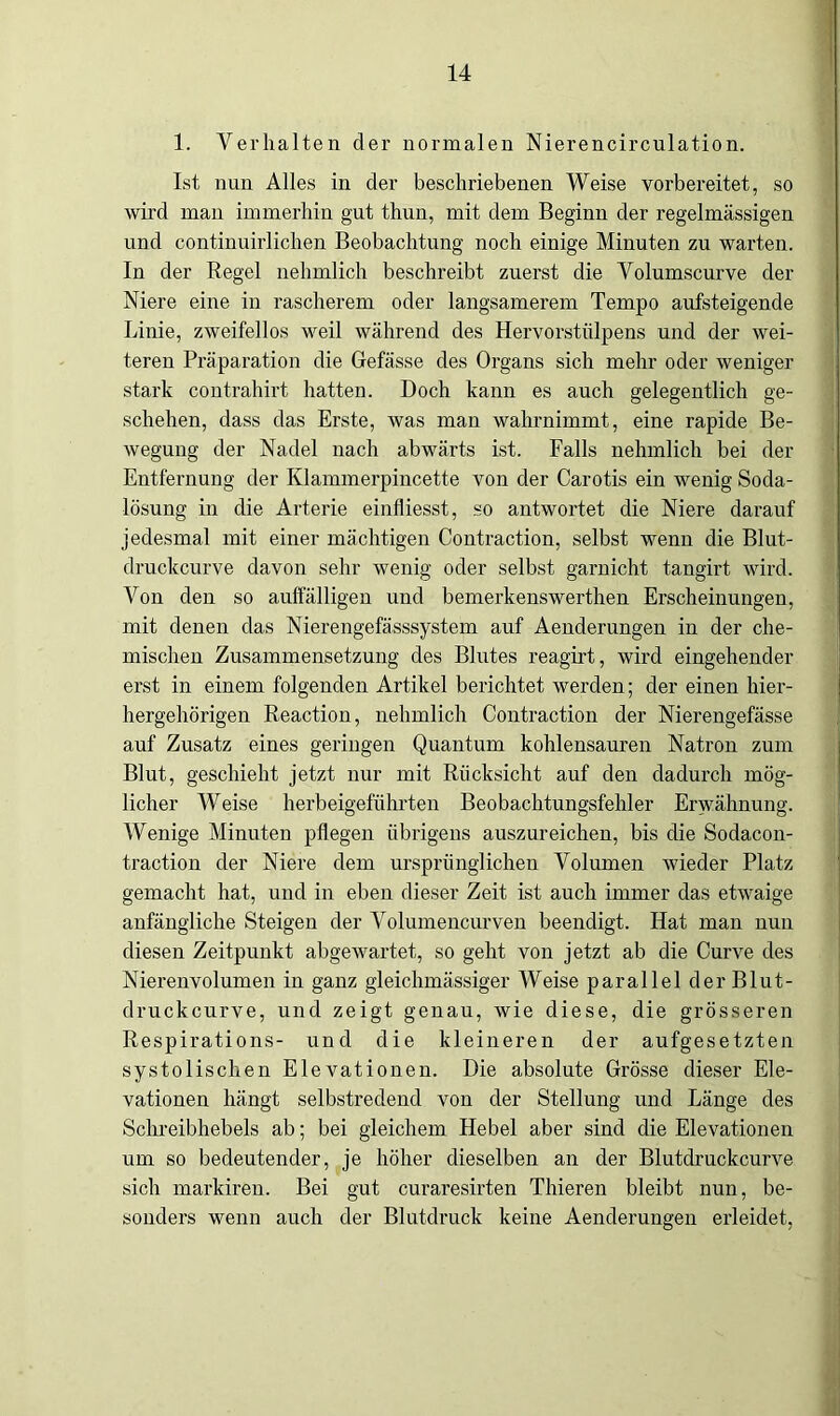 1. Verhalten der normalen Nierencirculation. Ist nun Alles in der beschriebenen Weise vorbereitet, so wird man immerhin gut thun, mit dem Beginn der regelmässigen und continuirlichen Beobachtung noch einige Minuten zu warten. In der Regel nehmlich beschreibt zuerst die Volumscurve der Niere eine in rascherem oder langsamerem Tempo aufsteigende Linie, zweifellos weil während des Hervorstiilpens und der wei- teren Präparation die Gefässe des Organs sich mehr oder weniger stark contrahirt hatten. Doch kann es auch gelegentlich ge- schehen, dass das Erste, was man wahrnimmt, eine rapide Be- wegung der Nadel nach abwärts ist. Falls nehmlich bei der Entfernung der Klammerpincette von der Carotis ein wenig Soda- lösung in die Arterie einfliesst, so antwortet die Niere darauf jedesmal mit einer mächtigen Contraction, selbst wenn die Blut- druckcurve davon sehr wenig oder selbst garnicht tangirt wird. Von den so auffälligen und bemerkenswerthen Erscheinungen, mit denen das Nierengefässsystem auf Aenderungen in der che- mischen Zusammensetzung des Blutes reagirt, wird eingehender erst in einem folgenden Artikel berichtet werden; der einen hier- hergehörigen Reaction, nehmlich Contraction der Nierengefässe auf Zusatz eines geringen Quantum kohlensauren Natron zum Blut, geschieht jetzt nur mit Rücksicht auf den dadurch mög- licher Weise herbeigeführten Beobachtungsfehler Erwähnung. Wenige Minuten pflegen übrigens auszureichen, bis die Sodacon- traction der Niere dem ursprünglichen Volumen wieder Platz gemacht hat, und in eben dieser Zeit ist auch immer das etwaige anfängliche Steigen der Volumencurven beendigt. Hat man nun diesen Zeitpunkt abgewartet, so geht von jetzt ab die Curve des Nierenvolumen in ganz gleichmässiger Weise parallel derBlut- druckcurve, und zeigt genau, wie diese, die grösseren Respirations- und die kleineren der aufgesetzten systolischen Elevationen. Die absolute Grösse dieser Ele- vationen hängt selbstredend von der Stellung und Länge des Schreibhebels ab; bei gleichem Hebel aber sind die Elevationen um so bedeutender, je höher dieselben an der Blutdruckcurve sich markiren. Bei gut curaresirten Thieren bleibt nun, be- sonders wenn auch der Blutdruck keine Aenderungen erleidet,