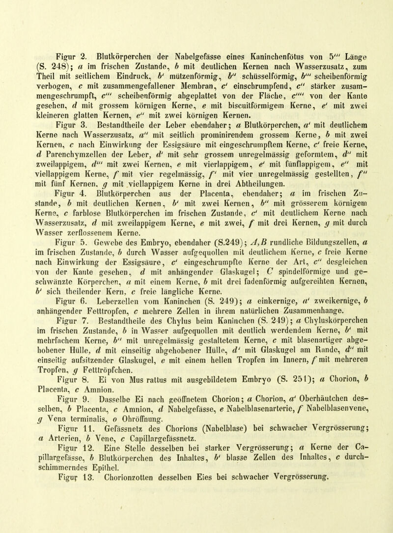 Figur 2. Blutkörperchen der Nabelgefässe eines Kaninchenfötus von 5' Läoge (S. 248); a im frischen Zustande, h mit deutlichen Kernen nach Wasserzusatz, zum Theil mit seitlichem Eindruck, 6' mützenförmig-, schüsseiförmig, 6' scheibenförmig verbogen, c mit zusammengefallener Membran, c' einschrumpfend, c stärker zusam- mengeschrumpft, c' scheibenförmig abgeplattet von der Fläche, c von der Kante gesehen, d mit grossem körnigen Kerne, e mit biscuitförmigem Kerne, e' mit zwei kleineren glatten Kernen, e mit zwei körnigen Kernen. Figur 3. Bestandtheile der Leber ebendaher; a Blutkörperchen, mit deutlichem Kerne nach Wasserzusatz, a mit seitlich prominirendem grossem Kerne, b mit zwei Kernen, c nach Einwirkung der Essigsäure mit eingeschrumpftem Kerne, c' freie Kerne, d Parenchymzellen der Leber, d^ mit sehr grossem unregelmässig geformtem, d mit zweilappigem, d' mit zwei Kernen, e mit vierlappigem, e' mit fünflappigeni, e mit viellappigem Kerne, f mit vier regelmässig, f mit vier unregelmässig gestellten, f mit fünf Kernen, ff mit viellappigem Kerne in drei Abtheilungen. Figur 4. Blutkörperchen aus der Placenta, ebendaher; a im frischen Zu- stande, b mit deutlichen Kernen, b' mit zwei Kernen, b mit grösserem körnigem Kerne, c farblose Blutkörperchen im frischen Zustande, & mit deutlichem Kerne nach Wasserzusalz, d mit zweilappigem Kerne, e mit zwei, f mit drei Kernen, ff mit durch Wasser zerflossenem Kerne. ' Figur 5. Gewebe des Embryo, ebendaher (S.249); J,B rundliche Bildungszellen, a im frischen Zustande, b durch Wasser aufgequollen mit deutlichem Kerne, c freie Kerne nach Einwirkung der Essigsäure, c' eingeschrumpfte Kerne der Art, c desgleichen von der Kante gesehen, d mit anhängender Glaskugel; C spindelförmige und ge- schwänzte Körperchen, a mit einem Kerne, b mit drei fadenförmig aufgereihten Kernen, b' sich theilender Kern, c freie längliche Kerne. Figur 6. Leberzellen vom Kaninchen (S. 249); a einkernige, a' zweikernige, b anhängender Fetttropfen, c mehrere Zellen in ihrem natürlichen Zusammenhange. Figur 7. Bestandtheile des Chylus beim Kaninchen (S. 249); a Chyluskörperchen im frischen Zustande, b in Was?-er aufgequollen mit deutlich werdendem Kerne, b^ mit mehrfachem Kerne, b mit unregelmässig gestaltetem Kerne, c mit blasenartiger abge- hobener Hülle, d mit einseilig abgehobener Hülle, d' mit Glaskugel am Rande, d mit einseitig aufsitzender Glaskugel, e mit einem hellen Tropfen im Innern, f mit mehreren Tropfen, ff Fetttröpfchen. Figur 8. Ei von Mus rattus mit ausgebildetem Embryo (S. 251); a Chorion, b Placenta, c Amnion. Figur 9. Dasselbe Ei nach geöffnetem Cborion; a Chorion, a' Oberhäutchen des- selben, b Placenta, c Amnion, d Nabelgefässe, e Nabelblasenarterie, f Nahelblasenvene, ff Vena terminalis, o OhrölTnung. Figur 11. Gefässnetz des Chorions (Nabelblase) bei schwacher Vergrösserung; a Arterien, b Vene, c Capillargefässnetz. Figur 12. Eine Stelle desselben bei starker Vergrösserung; a Kerne der Ca- pillargefässe, b Blutkörperchen des Inhaltes, b' blasse Zellen des Inhaltes, c durch- schimmerndes Epithel. Figur iS. Chorionzotten desselben Eies bei schwacher Vergrösserung.