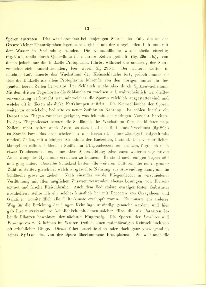 Sporen austraten. Dies war besonders bei denjenigen Sporen der Fall, die an der Grenze kleiner Thautröpfchen lagen, also zugleich mit der umgebenden Luft und mit dem Wasser in Verbindung standen. Die Keimschläuche waren theils einzellig (fig.Sla.), theils durch Querwände in mehrere Zellen getheilt (fig. 29a u. b.), von denen jedoch nur die Endzelle Protoplasma führte, während die anderen, der Spore zunächst sich anschliessenden, leer waren (fig. 29b.). Bei iweiterer Cultur in feuchter Luft dauerte das Wachsthum der Keimschläuche fort, jedoch innner so) dass die Endzelle als allein Protoplasma führende von den übrigen hinter ihr lie- genden leeren Zellen hervortrat. Der Schlauch wuchs also durch Spitzenwachsthum. Mit dem dritten Tage hörten die Schläuche zu wachsen auf, wahrscheinlich weil die Re- servenahrung verbraucht war, mit welcher die Sporen reichlich ausgestattet sind und welche oft in diesen als dicke Fettklumpen auftritt. Die Keimschläuche der Sporen weiter zu entwickeln, bedurfte es neuer Zufuhr an Nahrung. Es schien hierfür ein Decoct von Fliegen zunächst geeignet, was ich mit der nöthigen Vorsicht bereitete. In dem Fliegendecoct setzten die Schläuche ihr Wachsthum fort, sie bildeten neue Zellen, nicht selten auch Aeste, so dass bald das Bild eines Myceliums (fig.29c.) zu Stande kam, das aber wieder nur aus leeren (d. h. nur wässrige Flüssigkeit füh- renden) Zellen, mit alleiniger Ausnahme der Endzellen, bestand. Den vermuthlichen Mangel an cellulosebildenden Stoffen im Fliegendecocte zu ersetzen, fügte ich noch etwas Traubenzucker zu, ohne aber Sporenbildung oder einen weiteren vegetativen Aufschwung des Myceliums erreichen zu können. Es stand nach einigen Tagen still und ging unter. Dasselbe Schicksal hatten alle weiteren Cuituren, die ich in grosser Zahl anstellte, gleichviel welch ausgesuchte Nahrung zur Anwendung kam, um die Schläuche gross zu ziehen. Nach einander wurde Fliegendecoct in verschiedener Verdünnung mit allen möglichen Zusätzen verwendet, ebenso Lösungen von Fleisch- extract und frische Fleischbrühe. Auch dem Bedürfnisse etwaigen festen Substrates abzuhelfen, stellte ich ein solches künstlich her mit Decocten von Caragaheen und Gelatine, womitendlich alle (Julturkünste erschöpft waren. Es musste ein anderer Weg für die Erziehung der jungen Keimlinge ausfindig gemacht werden, und hier gab ihre unverkennbare Aehnlichkeit mit denen solcher Pilze, die als Parasiten le- bende Pflanzen bewohnen, den nächsten Fingerzeig. Die Sporen der rrcdiiiecn und Pcronosporccii z. B. keimen im Wasser, treiben einen fadenförmigen Keimschlauch von oft erheblicher Länge. Dieser führt ausschliesslich oder doch ganz vorwiegend in seiner Spitze das von der Spore überkommene Protoplasma. So weit auch die