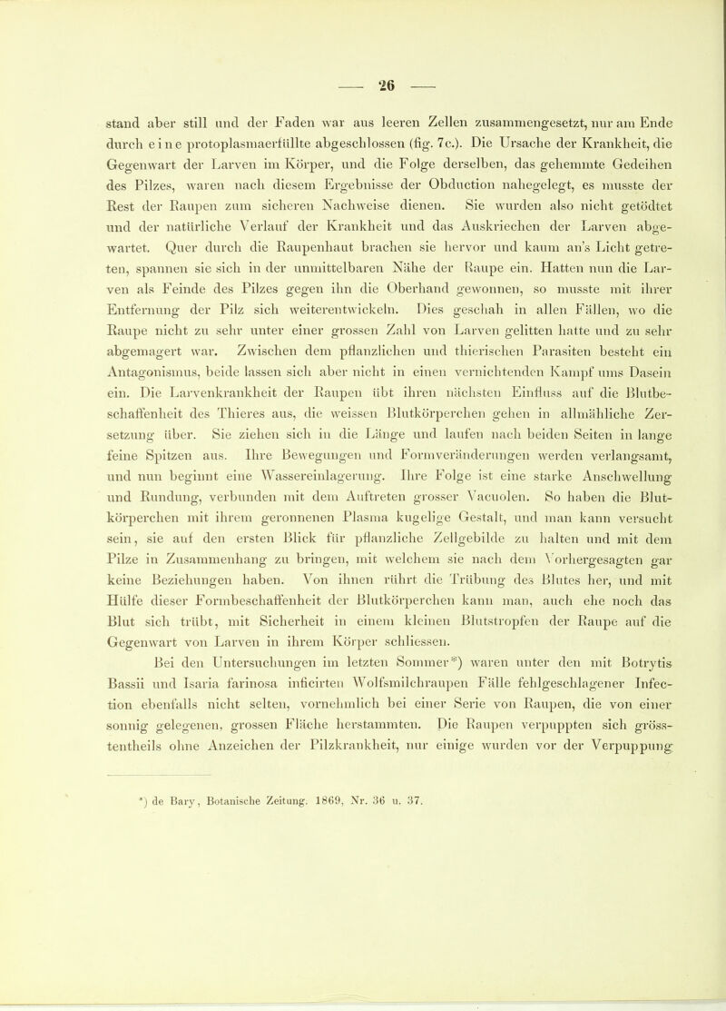 stand aber still und der Faden war aus leeren Zellen zusammengesetzt, nur am Ende durch eine protoplasmaerlüllte abgeschlossen (fig. 7c.)- Die Ursache der Krankheit, die Gegenwart der Larven im Körper, und die Folge derselben, das gehemmte Gedeihen des Pilzes, waren nach diesem Ergebnisse der Obduction nahegelegt, es musste der Rest der Eaupen zum sicheren Nachweise dienen. Sie wurden also nicht getödtet und der natürliche Verlauf der Krankheit imd das Auskriechen der Larven abge- wartet. Quer durch die Eaupenhaut brachen sie hervor und kaum ans Licht getre- ten, spannen sie sich in der unmittelbaren Nähe der Raupe ein. Hatten nun die Lar- ven als Feinde des Pilzes gegen ihn die Oberhand gewonnen, so musste mit ihrer Entfernung der Pilz sich weiterentwickeln. Dies geschah in allen Fällen, wo die Eaupe nicht zu sehr unter einer grossen Zahl von Larven gelitten hatte und zu sehr abgemagert war. Zwischen dem pflanzlichen und thierischen Parasiten besteht ein Antagonismus, beide lassen sich aber nicht in einen vernichtenden Kampf ums Dasein ein. Die Larvenkrankheit der Raupen übt ihren nächsten Einfluss auf die Blutbe- schaffenheit des Thieres aus, die weissen Blutkörperchen gehen in allmähliche Zer- setzung über. Sie ziehen sich in die Länge und laufen nach beiden Seiten in lange feine Spitzen aus. Ihre Bewegungen und Formveränderungen werden verlangsamt, und nun beginnt eine Wassereinlagerung. Ihre Folge ist eine starke Anschwellung und Rundung, verbunden mit dem Auftreten grosser Vacuolen. So haben die Blut- körperchen mit ihrem geronnenen Plasma kugelige Gestalt, und man kann versucht sein, sie auf den ersten Blick für pflanzliche Zellgebilde zu halten und mit dem Pilze in Zusammenhang zu bringen, mit welchem sie nach dem \ orhergesagten gar keine Beziehungen haben. Von ihnen rührt die Trübung des Blutes her, und mit Hülfe dieser Formbeschaflenheit der Blutkörperchen kann man, auch ehe noch das Blut sich trübt, mit Sicherheit in einem kleinen Blutstropfen der Raupe auf die Gegenwart von Larven in ihrem Körper schliessen. Bei den Untersuchungen im letzten Sommer*) waren unter den mit Botrytis Bassii und Isaria farinosa inficirten Wolfsmilchraupen Fälle fehlgeschlagener Infec- tion ebenfalls nicht selten, vornehmlich bei einer Serie von Raupen, die von einer sonnig gelegenen, grossen Fläche herstammten. Die Eaupen verpuppten sich gröss- tentheils ohne Anzeichen der Pilzkrankheit, nur einige wurden vor der Verpuppung: *) de Bary, Botanische Zeitung. 1869, Nr. 36 u. 37.