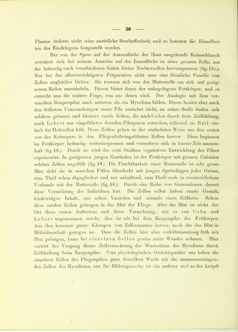 Plasma änderte nicht seine natürliche Beschaffenheit, und so konnten die Einzelhei- ten des Eindringens festgestellt werden. Der von der Spore auf der Aussenfläche der Haut ausgehende Keimschlauch erweitert sich bei seinem Austritte auf der Innenfläche zu einer grossen Zelle, aus der hefeartig nach verschiedenen Seiten kleine Tochterzellen hervorsprossen (fig. I7e.). Nur bei der allervorsichtigsten Präparation sieht man eine förmliche Familie von Zellen ungleicher Grösse. Sie trennen sich von der Mutterzelle um sich auf geeig- netem Boden anzusiedeln. Diesen bietet ihnen der nahegelegene Fettkörper, und es entsteht nun die weitere Frage, was aus ihnen wird. Der Analogie mit dem ver- wandten Eaupenpilze nach müssten sie ein Mycelium bilden. Dieses besitzt aber nach den früheren Untersuchungen unser Pilz zunächst nicht, an seiner Stelle finden sich zahllose grössere und kleinere runde Zellen, die nach Cohn durch freie Zellbildung, nach Lebert aus eingeführten fremden Pilzsporen entstehen, während sie Bail ein- fach für Hefezellen hält. Diese Zellen gehen in der einfachsten Weise aus den ersten von der Keimspore in den Fliegenleibeingeführten Zellen hervor. Diese beginnen im Fettkörper hefeartig weiterzusprossen und vermehren sich in kurzer Zeit massen- haft (fig. 18.). Durch sie wird das erste Stadium vegetativer Entwicklung des Pilzes repräsentirt. In geeigneten jungen Zuständen ist der Fettkörper mit grossen Colonien solcher Zellen angefüllt (fig. 18.). Die Fruchtbarkeit einer Mutterzelle ist sehr gross. Man sieht sie in manchen Fällen überdeckt mit jungen Sprösslingen jeder Grösse, zum Theil schon abgegliedert und nur anhaftend, zum Theil noch in continuirlichem Verbände mit der Mutterzelle (fig. 18.). Durch eine Reihe von Generationen dauert diese Vermehrung der Individuen fort. Die Zellen selbst haben runde Gestalt, feinkörnigen Inhalt, nur selten Vacuolen und niemals einen Zellkern. Schon diese runden Zellen gelangen in das Blut der Fliege. Aber das Blut ist nicht der Ort ihres ersten Auftretens und ihrer Vermehrung, wie es von Cohn und Lebert angenommen wurde, dies ist wie bei dem Raupenpilze der Fettkörper. Aus ihm kommen ganze Klumpen von Zellenmassen hervor, noch ehe das Blut in Mitleidenschaft gezogen ist. Dass die Zellen hier aber verhältnissmässig früh in's Blut o-elanffen, kann bei einzelnen Zellen gewiss nicht Wunder nehmen. Hier vertritt der Vorgang dieser Zellvermehrung das Wachsthum des Myceliums durch Zelltheilung beim Raupenpilze. Vom physiologischen Gesichtspunkte aus haben die einzelnen Zellen des Fliegenpilzes ganz denselben Werth wie die zusammenhängen- den Zellen des Myceliums, nur ihr Bildungsniodus ist ein anderer und an ihn knüpft