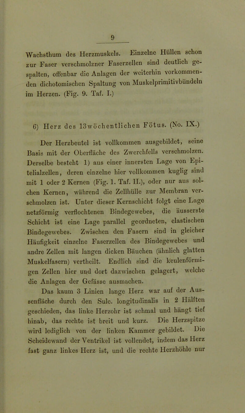 Wachsthum des Herzmuskels. Einzelne Hüllen schon zur Faser verschmolzner Faserzellen sind deutlich ge- spalten, offenbar die Anlagen der weiterhin vorkommen- den dichotomischen Spaltung von Muskelprimitivbündeln im Herzen. (Fig. 9. Taf. I.) 6) Herz des 13wöchentlichen Fötus. (No. IX.) Der Herzbeutel ist vollkommen ausgebildet, seine Basis mit der Oberfläche des Zwerchfells verschmolzen. Derselbe besteht 1) aus einer innersten Lage von Epi- telialzellen, deren einzelne hier vollkommen kuglig sind mit 1 oder 2 Kernen (Fig. 1. Taf. II.), oder nur aus sol- chen Kernen, während die Zellhülle zur Membran ver- schmolzen ist. Unter dieser Kernschicht folgt eine Lage netzförmig verflochtenen Bindegewebes, die äusserste Schicht ist eine Lage parallel geordneten, elastischen Bindegewebes. Zwischen den Fasern sind in gleicher Häufigkeit einzelne Faserzellen des Bindegewebes und andre Zellen mit langen dicken Bäuchen (ähnlich glatten Muskelfasern) vertheilt. Endlich sind die keulenförmi- gen Zellen hier und dort dazwischen gelagert, welche die Anlagen der Gefässe ausmachen. Das kaum 3 Linien lange Herz war auf der Aus- senfläche durch den Sulc. longitudinalis in 2 Hälften geschieden, das linke Ilerzohr ist schmal und hängt tief hinab, das rechte ist breit und kurz. Die Herzspitze wird lediglich von der linken Kammer gebildet. Die Scheidewand der Ventrikel ist vollendet, indem das Herz fast ganz linkes Herz ist, und die rechte Herzhöhle nur